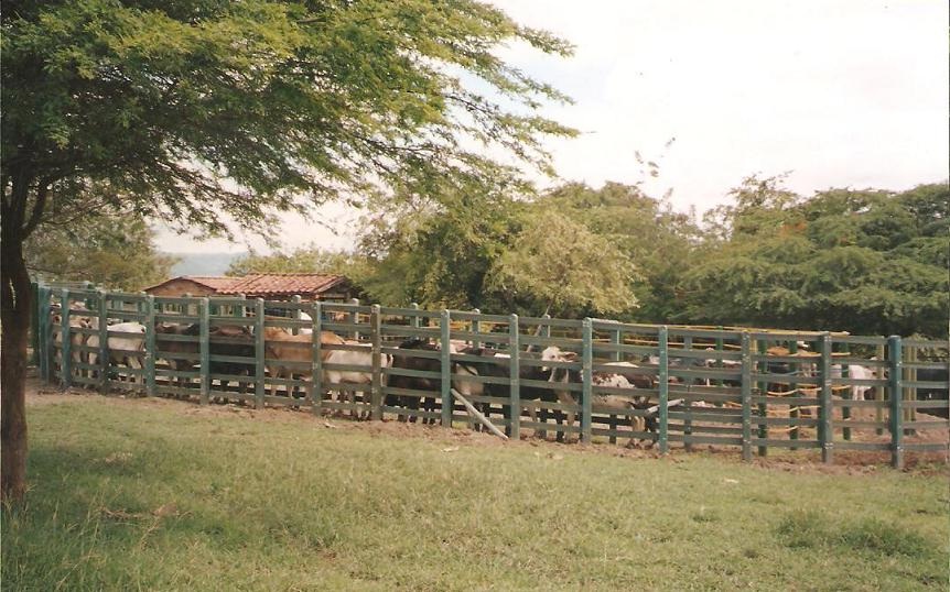39 Corrales Establos Mangas Coleo Caballerizas Pesebreras Plaza