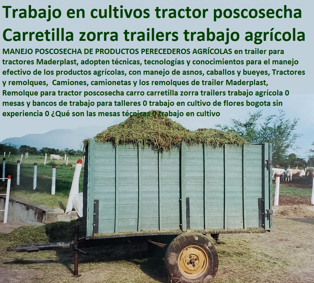 Remolque Zorra para Vehículos Tráiler ganadero carreta remolque para tractor 0 mini remolques tráiler zorras 0  ESTOY COMPRANDO  CORRALES 0,CORRAL CABALLERIZAS 0, PESEBRERAS DE CABALLOS 0,  CONSTRUCCIÓN DE  Instalaciones Ganaderas 0, Mangas De Coleo 0,  Plaza Toros 0, Brete Ganadero 0, PROVEEDOR DE División De Corrales 0, Instalaciones Ganaderas 0, Embarcaderos De Ganado 0, Mangas Apretaderos Trabajaderos De Ganado 0, Embudos De Manejo De Ganado 0, División De Corrales 0, Establos De Ganado 0, Bebederos y Comederos Saladero Inteligente con tapa 0 Saladeros Para Ganado Ecológicos 0 comederos rústicos para ganado Remolque  Remolque Zorra para Vehículos Tráiler ganadero carreta remolque para tractor 0 mini remolques tráiler zorras 0 Bebederos y Comederos Saladero Inteligente con tapa 0 Saladeros Para Ganado Ecológicos 0 comederos rústicos para ganado Remolque  