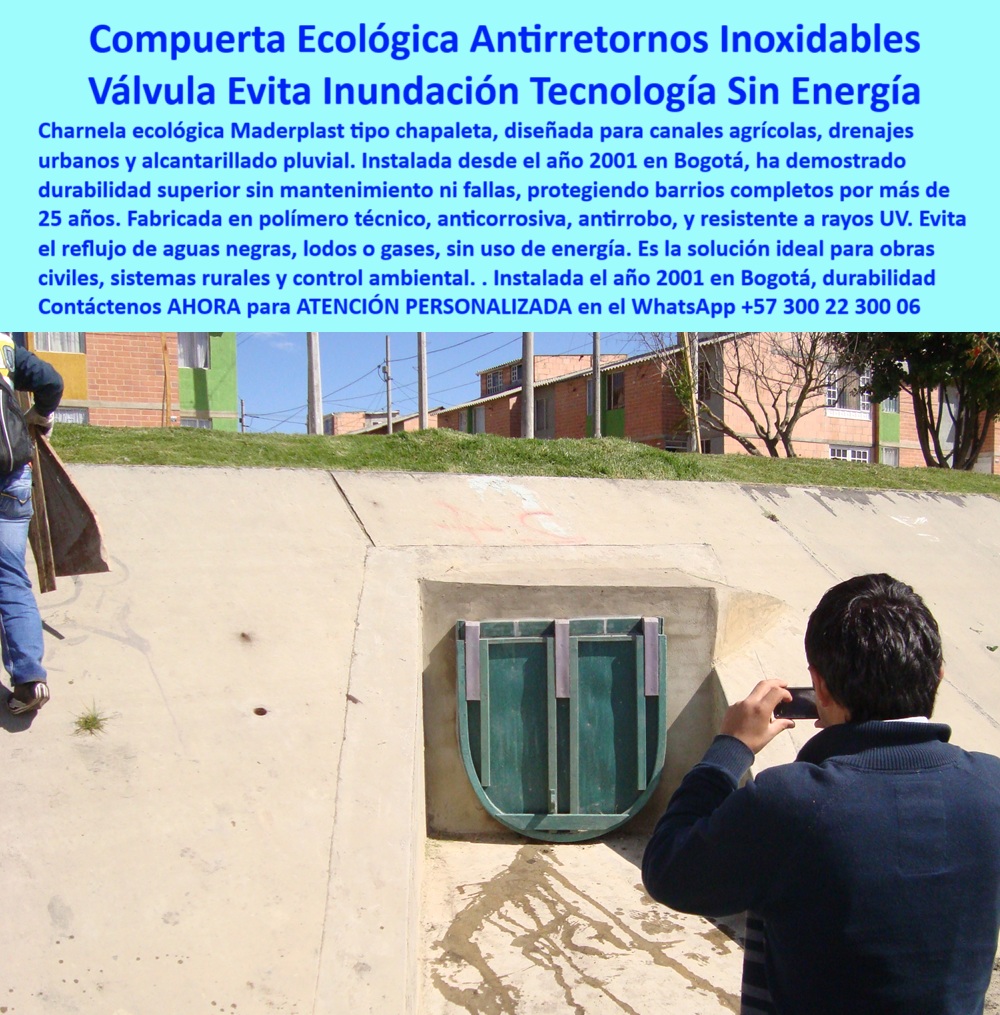 Charnela Para Canales Anti Retorno Instalación Charnelas Anti Inundaciones Maderplast 0 Qué compuerta me sirve para evitar inundaciones en alcantarillas Tapa basculante ecológica en sistema de drenaje agrícola chapaleta Mar 01 En esta imagen vemos una charnela plástica tipo chapaleta instalada firmemente sobre una alcantarilla urbana en concreto, a plena luz del sol. El entorno residencial, las sombras definidas y la presencia de un transeúnte documentando la estructura con su celular, le dan escala y contexto urbano a esta solución hidráulica. La válvula, verde, plástica, rectangular, sobresale del muro de concreto como testimonio silencioso de su eficacia desde el año 2001. Esta es la charnela 45, instalada en los canales del río Fucha en Bogotá, funcionando sin fallos, sin mantenimiento intensivo, sin necesidad de reemplazo, y lo más importante: evitando el reflujo que por décadas había causado inundaciones en casas, calles y barrios cercanos. - Muchos se preguntan, ¿Qué compuerta me sirve para evitar inundaciones en alcantarillas? Y la respuesta es esta. Esta es la compuerta ecológica de retención definitiva. Esta es la válvula antirretorno sin mantenimiento que se activa automáticamente con el flujo de agua y se cierra por gravedad sin necesidad de energía, de presión adicional ni de intervención humana. Esta es la tapa basculante ecológica en sistema de drenaje agrícola Chapaleta Mar, que ha demostrado en campo lo que ninguna metálica pudo: cero óxido, cero pintura, cero robos, y 25 años de operación continua en una de las zonas más vulnerables al clima de la ciudad. - Charnela Para Canales Anti Retorno Instalación Charnelas Anti Inundaciones Maderplast no es solo un título de catálogo; es una garantía. Una promesa cumplida. La compuerta plástica sin óxido para lluvia que estás viendo está fabricada con polímero técnico anticorrosivo, resistente a los rayos UV, a los gases contaminantes y al paso del tiempo. A diferencia de las metálicas, esta válvula hidráulica antirretorno urbana no se traba, no se contamina, no se suelda ni se cae. Su estructura sin partes metálicas visibles garantiza que no haya chispa, oxidación ni vandalismo. Su forma rectangular, tipo tapa con dos ejes de sujeción, permite que se instale fácilmente en muros de concreto ya existentes. Y sí, esa es una de las grandes preguntas: ¿Dónde instalo compuerta sin mantenimiento? Aquí, en Bogotá, ya lo han hecho. Y con éxito total. - La compuerta anti presión para sistemas pluviales, como esta, evita que las lluvias intensas empujen las aguas negras, lodos o gases de regreso hacia zonas pobladas. ¿Hay válvula hidráulica sin electricidad? Claro que sí. Estás viendo una. Funciona con el empuje del agua, sin motores, sin automatismos frágiles. Su sistema flap se abre unidireccionalmente cuando el canal descarga y se cierra automáticamente al terminar el flujo. Por eso es también la válvula-sin-óxido-urbana por excelencia, compatible con drenajes agrícolas, sistemas pluviales y redes de saneamiento urbano. - ¿Qué compuerta usar para evitar reflujos? ¿Qué tapa evita inundaciones en canales urbanos? ¿Qué charnela sirve para lluvias intensas? ¿Dónde comprar compuerta plástica ecológica? Las respuestas las tienes aquí: Maderplast. Y esta imagen es la prueba viva. Porque esta compuerta-contra-retorno-aguas ha salvado casas, ha evitado desastres y ha demostrado que la innovación no solo está en las palabras, sino en la calle, en el concreto, en el agua que fluye sin volver. - Su diseño funcional no requiere codos, no ocupa espacio adicional y no genera ruido ni turbulencias. Es perfecta para sistemas de riego, alcantarillado pluvial, obras civiles, canales rurales o incluso zonas costeras donde las olas y mareas pueden causar presión inversa. Además, su apariencia discreta se mimetiza con el entorno urbano sin perder su fortaleza estructural. Y ese es otro detalle que no pasa desapercibido: es una charnela que evita retornos en lluvias sin fallar en su discreción. - Cada pieza Maderplast está hecha con visión ecológica, por eso esta válvula ecológica para zonas residenciales también cumple con los requisitos de sostenibilidad. Su ligereza permite instalación rápida, incluso por personal con herramientas manuales. No se necesitan grúas, ni refuerzos estructurales costosos. Su compatibilidad con canales agrícolas, drenajes rurales o pluviales en la ciudad es lo que la convierte en solución universal y definitiva. - Contáctenos AHORA para ATENCIÓN PERSONALIZADA en el WhatsApp +57 300 22 300 06 y reciba acompañamiento directo del equipo técnico de Maderplast. Porque las válvulas que realmente evitan inundaciones no se venden por catálogo: se diseñan con ingeniería, se fabrican con propósito y se instalan con compromiso. Maderplast: tecnología hidráulica que protege. Charnela Para Canales Anti Retorno Instalación Charnelas Anti Inundaciones Maderplast 0 Qué compuerta me sirve para evitar inundaciones en alcantarillas, - Tapa basculante ecológica en sistema de drenaje agrícola chapaleta Mar