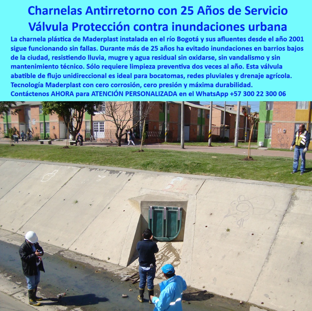Charnela Para Canales Anti Retorno Instalación Charnelas Anti Inundaciones Maderplast 0 charnela plástica para bocatomas de canal Válvula Antirretorno Cero Corrosión Para redes compuerta abatible drenaje agricultura ptar 01 La imagen captura una escena significativa: la charnela número 24, instalada por Maderplast en el año 2001 en un canal pluvial del sur de Bogotá, frente a una comunidad residencial. Esta válvula tipo compuerta abatible forma parte de la histórica red de 125 charnelas implementadas en las salidas del río Fucha y otros afluentes críticos del río Bogotá, como estrategia para erradicar las inundaciones que durante años afectaron los barrios vulnerables de la capital. A más de 25 años de servicio continuo, esta compuerta hidráulica sigue funcionando sin fallas, validando su tecnología como una de las más confiables en el país. - Diseñada específicamente como válvula antirretorno cero corrosión para redes pluviales, esta compuerta de polímero técnico opera sin energía y sin presión adicional. Se activa automáticamente por flujo inverso, cerrándose de forma hermética para evitar el reflujo de aguas lluvias, contaminadas o residuales. El sistema de flujo unidireccional pasivo garantiza que el canal opere libre de obstrucciones, incluso en temporadas de lluvias intensas. Su resistencia a los rayos UV, al agua estancada, al vandalismo urbano, a la mugre y a los residuos flotantes ha sido demostrada con más de dos décadas de funcionamiento ininterrumpido. - La compuerta verde, claramente visible en el canal de concreto, se ha integrado en la infraestructura urbana como parte del entorno del parque, lo que la convierte en una solución técnica silenciosa pero efectiva para proteger comunidades enteras. Es inspeccionada solo dos veces al año: una antes de la temporada de lluvias, y otra al finalizarla. Su bajo mantenimiento, su estructura libre de óxido y su diseño anticorrosivo la posicionan como la solución ideal para bocatomas, canales agrícolas, redes pluviales y drenaje urbano. - Durante más de 25 años, esta charnela antirretorno con 25 años de servicio ha prevenido inundaciones silenciosamente. Ha resistido lluvias torrenciales, flujos mixtos, acumulación de sedimentos y residuos orgánicos, sin requerir intervención técnica compleja. Incluso hoy, su funcionamiento es completamente automático y sigue evitando que las aguas se devuelvan a los barrios, protegiendo vidas, bienes y la infraestructura pública de Bogotá. La válvula número 24 funcionando tras 25 años de uso continuo es evidencia concreta del éxito de la tecnología Maderplast. - Más allá de su función hidráulica, esta compuerta plástica es también una muestra de tecnología urbana sostenible aplicada a la ingeniería hidráulica moderna. Su instalación rápida, su diseño compacto y su activación por presión hidráulica la convierten en una solución versátil que ha sido adoptada tanto en obras civiles como en redes agrícolas y rurales. Este mismo modelo puede aplicarse con éxito en bocatomas rurales, canales de riego, PTAR, sistemas de alcantarillado comunitario y zonas propensas a anegamientos urbanos. - La compuerta abatible drenaje agricultura PTAR es prueba viviente de que un diseño correcto y un material técnico adecuado pueden ofrecer resultados a largo plazo sin necesidad de energía, piezas móviles ni refacciones. Su diseño abatible permite inspección directa por operarios sin herramientas especializadas, lo que facilita su verificación en campo y refuerza la autonomía técnica de los municipios. Bogotá ha sido testigo de cómo estas compuertas cambiaron el panorama urbano de sus zonas más afectadas por el agua. Desde la válvula número 1 hasta esta charnela número 24 instalada en canal, cada una ha cumplido su rol con precisión, sellando el paso del agua cuando era necesario, y permitiendo el flujo normal cuando las condiciones lo exigen. - Si tu proyecto hidráulico —urbano, rural o agrícola— necesita una solución de cierre automático, cero presión, sin mantenimiento y con garantía de más de dos décadas de funcionamiento, esta tecnología no solo es recomendable, es esencial. - Contáctanos ahora a través de WhatsApp +57 300 22 300 06, y accede a ATENCIÓN PERSONALIZADA con respaldo directo del equipo de ingeniería Maderplast. Te asesoramos para seleccionar, instalar y poner en marcha la solución más confiable para tus canales, bocatomas o sistemas pluviales. Charnela Para Canales Anti Retorno Instalación Charnelas Anti Inundaciones Maderplast 0 charnela plástica para bocatomas de canal, - Válvula-Antirretorno-Cero-Corrosión Para redes, - compuerta-abatible-drenaje-agricultura ptar