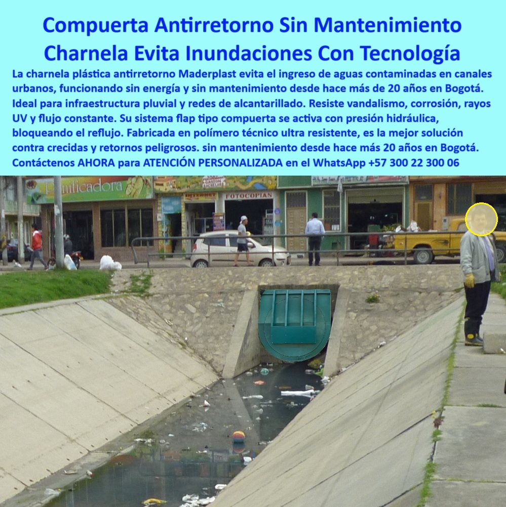 Charnela Para Canales Anti Retorno Instalación Charnelas Anti Inundaciones Maderplast 0 compuerta urbana ecológica válvula plástica de retención en estructura hidráulica válvula plástica para aguas lluvias válvula Ptar 01 En esta imagen se observa una charnela plástica tipo compuerta hidráulica instalada desde el año 2001 en un canal urbano del río Fucha en Bogotá, exactamente en el punto donde el concreto estructural encauza aguas residuales con alta carga de sólidos y flotantes. A pesar de los años, la compuerta se mantiene intacta, operativa, sellada, sin fallas estructurales ni mecánicas. Su cuerpo de polímero técnico ha resistido más de dos décadas de vandalismo, basura flotante, sedimentos urbanos y rayos UV sin oxidarse ni deteriorarse, lo que valida su ingeniería y posiciona esta charnela plástica sobre canal urbano con flujo residual como una de las más confiables del país. - ¿Qué charnela se instala sin mantenimiento? Esta charnela-pluvial-para-bogotá es la respuesta, pues lleva más de 20 años activa, sin energía, sin atención técnica y sin ser vandalizada, cumpliendo su función antirretorno con total eficiencia. Es una válvula plástica antirretorno para canales urbanos, diseñada para operar por presión hidráulica y cerrar automáticamente sin piezas metálicas expuestas. Gracias a este sistema inteligente de retención, desde que fue instalado, el canal del río Fucha no ha vuelto a inundar las casas ni los barrios aledaños, incluso en temporadas fuertes de lluvias. - ¿Cuál es la mejor tapa para alcantarillas sin energía? Esta compuerta-urbana-ecológica, desarrollada por Maderplast, representa la solución más avanzada, duradera y sostenible para estructuras de drenaje urbano. A diferencia de las válvulas metálicas tradicionales, esta válvula-sin-mantenimiento-hidráulica está fabricada en plástico reforzado, lo que elimina por completo el riesgo de óxido, atascos o robo de partes. La compuerta automática para aguas lluvias funciona incluso en condiciones de basura flotante, gracias a su sistema de sellado hidráulico activado por caudal, lo que permite cerrar en milésimas de segundo apenas hay inversión de presión. - ¿Cómo evitar reflujo en canales del barrio? La respuesta está en instalar una compuerta hidráulica para prevención de inundaciones como esta de la imagen, que no solo protege viviendas sino que también optimiza la operación de los sistemas pluviales. Su forma circular, su bisagra superior y su funcionamiento silencioso hacen de esta tapa hidráulica sin mantenimiento para canal urbano un componente clave de la infraestructura urbana de retención para evitar retornos en momentos de crecidas, emergencias sanitarias o saturaciones por lluvia. - La válvula plástica de retención en estructura hidráulica que aquí se aprecia se ha convertido en modelo de referencia técnica para control-de-aguas-lluvias-ciudad, especialmente porque su diseño tipo válvula clapeta para canales urbanos no requiere grúas, ni excavaciones mayores para su instalación. Esta charnela plástica para canales del río Fucha ha sido replicada por alcaldías, contratistas y organismos de saneamiento que buscan una solución-contra-reflujo-urbano libre de mantenimiento, económica y robusta. Su comportamiento sigue siendo impecable: evita que las aguas del canal regresen a los barrios, sin importar si el caudal baja repentinamente o si colapsa alguna tubería aguas abajo. - ¿Qué válvula sirve para prevenir inundaciones urbanas? Esta misma, la válvula hidráulica urbana contra reboses, cuya instalación directa sobre concreto garantiza eficiencia operativa y cero intervención posterior. En la imagen también puede observarse cómo el canal recoge residuos urbanos, lo que no afecta el desempeño de esta válvula plástica para aguas lluvias, gracias a su diseño sin ángulos muertos, que impide obstrucciones. - Maderplast ha demostrado con esta compuerta plástica urbana instalada en canal concreto que es posible controlar el reflujo en zonas de alto tráfico, alta contaminación y sin mantenimiento continuo. Por eso, hoy, esta misma válvula-plástica-para-canal es usada también en otras ciudades del país donde el vandalismo y las lluvias extremas ponen a prueba la ingeniería civil. - ¿Dónde consigo compuerta plástica para canales? Solo con Maderplast, el fabricante que diseñó, desarrolló e instaló esta solución técnica hace más de dos décadas y que hoy sigue funcionando igual que el primer día. Esta es la compuerta de control para aguas lluvias, la misma que ha protegido hogares y redes de alcantarillado sin exigir un solo repuesto, sin energía, sin supervisión. - Contáctenos AHORA para ATENCIÓN PERSONALIZADA en el WhatsApp +57 300 22 300 06 y reciba asesoría directa del equipo técnico de Maderplast. - Confíe en tecnología que ya ha probado su valor: compuertas que funcionan por décadas, sin fallos, sin mantenimiento, sin excusas Charnela Para Canales Anti Retorno Instalación Charnelas Anti Inundaciones Maderplast 0 compuerta-urbana-ecológica, - válvula plástica de retención en estructura hidráulica, - válvula plástica para aguas lluvias, válvula Ptar