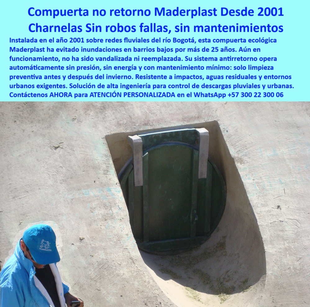 Charnela Para Canales Anti Retorno Instalación Charnelas Anti Inundaciones Maderplast 0 compuerta ecológica para control de descargas urbanas sistema antirretorno de agua con compuerta hidráulica automatizada Charnela Canal 01 La imagen muestra la charnela número 30 instalada en el río Fucha y canales de Bogotá desde el año 2001, una obra de ingeniería ejemplar que, aún hoy, sigue operativa con mínimo de mantenimientos antes de las lluvias y las inundaciones del canal, y que desde su instalación ha evitado que el río Fucha vuelva a inundar las casas y los barrios aledaños por devolución de agua. Las charnelas Maderplast no solo han demostrado ser funcionales, sino que son la solución definitiva. - Esta charnela para canales anti retorno es una compuerta ecológica para control de descargas urbanas, parte de un sistema antirretorno de agua con compuerta hidráulica automatizada. Está completamente integrada en un canal de concreto curvo, operando de forma autónoma, gracias a su diseño que permite apertura y cierre sin energía, sin presión y sin mantenimiento intensivo. - Esta compuerta plástica canal fluvial Bogotá ha operado más de 25 años sin ser vandalizada, sin necesitar reemplazos y siempre con cierre hermético en sentido contrario al flujo, incluso en tormentas. Es una verdadera compuerta hidráulica activa de más de 20 años, fabricada con polímero técnico que la hace resistente a impactos, corrosión, rayos UV y condiciones urbanas agresivas. Se comporta como una compuerta ecológica para desagüe urbano, evitando el reflujo que provoca inundaciones, especialmente en barrios bajos. - Por sus características, es reconocida como charnela antirretorno sin mantenimiento, charnela duradera sin oxidación, válvula redonda antirretorno concreto, y forma parte esencial de un sistema de control de retorno fluvial. No solo es una compuerta eficiente contra reflujo urbano, también es una compuerta sin mantenimiento intensivo que funciona como compuerta automática para drenajes. - Maderplast ofrece esta tecnología como parte de un sistema hidráulico-pluvial y responde claramente a la pregunta: ¿Qué compuerta evita reflujo en lluvias urbanas? Esta es una charnela-antireflujo-urbano comprobada. Funciona como válvula de control para caudal urbano, instalada incluso en pendiente canal fluvial como se ve en esta imagen. - La compuerta compacta sin fallos que aquí se observa también es una compuerta sin mantenimiento desde 2001, una charnela hidráulica autosellante, con desempeño sobresaliente como compuerta verde en canal urbano curvo de concreto, y compuerta-hidráulica-antioxidante con sello hermético. Es la mejor opción cuando se busca una compuerta contra rebose en barrios bajos, una tapa ecológica para canalización urbana, o una compuerta contra inundaciones en canales. - Su funcionalidad la define como una tapa antirretorno con mínima intervención, ideal para canal con tapa plástica sellada hidráulicamente, y para quienes se preguntan ¿Dónde compro válvulas antirretorno duraderas?, aquí está la respuesta. Maderplast fabrica esta válvula inteligente para canales pluviales, pensada para ser una charnela hidráulica urbana sin presión, una válvula plástica para control pluvial, y ¿Qué tapa hidráulica sirve sin energía ni presión?, esta. - Además, es perfecta como compuerta para redes fluviales urbanas, como parte de una solución plástica para zonas inundables, una válvula de control pluvial antigua pero funcional, una válvula-para-canal-fluvial, una compuerta-antirretorno-sin-presión, y una compuerta antirretorno antigua en operación. Y lo mejor, sigue siendo una compuerta plástica fluvial sin fugas, una compuerta de alcantarillado eficiente, una tapa-plástica-sin-fugas, y para quienes se preguntan ¿Cómo prevenir inundaciones con compuerta?, esta imagen lo responde todo. - En resumen, esta es la válvula ideal para cualquier sistema antirretorno para lluvias intensas, válvula de drenaje urbano resistente, y si te preguntas ¿Cuál es la mejor compuerta plástica para canales?, la respuesta está aquí: Maderplast. - Contáctenos AHORA para ATENCIÓN PERSONALIZADA en el WhatsApp +57 300 22 300 06 y reciba asesoría directa del equipo de ingeniería Maderplast. Charnela Para Canales Anti Retorno Instalación Charnelas Anti Inundaciones Maderplast 0 compuerta ecológica para control de descargas urbanas, - sistema antirretorno de agua con compuerta hidráulica automatizada Charnela Canal