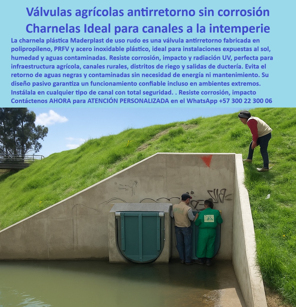 Charnela Válvula Antirretorno Salida Canal Cabezal De Cierre Hidráulico Maderplast 0 charnela resistente al sol para infraestructura agrícola Charnela Plástica Uso Rudo Cómo evitar el retorno de aguas contaminadas PP Mar 01 La imagen muestra la Válvula Agrícola Antirretorno Maderplast sin Corrosión, una solución técnica de alto rendimiento para proteger canales expuestos a condiciones severas. Esta charnela plástica de uso rudo, desarrollada por Maderplast, ha sido diseñada para enfrentar los retos reales de la infraestructura agrícola, especialmente en canales rurales, distritos de riego y salidas de ductería. Su construcción en polipropileno, PRFV y acero inoxidable plástico la convierte en una válvula indestructible ante la radiación UV, impactos físicos, humedad, sol directo y aguas contaminadas. - Esta charnela resistente al sol para infraestructura agrícola funciona con un diseño pasivo confiable, sin necesidad de energía eléctrica, sin mantenimiento y con una durabilidad comprobada incluso en los entornos más hostiles. ¿Te preguntas cómo evitar el retorno de aguas contaminadas en instalaciones expuestas? Aquí tienes la solución: una válvula de cierre hidráulico, anticorrosiva y efectiva, que garantiza prevención de reflujos eficiente, incluso frente a aguas negras o efluentes altamente agresivos. - Muchos técnicos, agricultores e ingenieros buscan hoy una solución específica:, - ¿Qué válvula antirretorno agrícola no se corroe a la intemperie?, - ¿Dónde encuentro compuertas para canales de riego expuestas a aguas contaminadas?, - ¿Cómo evitar el retorno de aguas negras sin energía ni mantenimiento?, - La respuesta es clara: Maderplast, con su charnela plástica de uso rudo hidráulica, pone en tus manos una compuerta agrícola diseñada para ser instalada con total seguridad en cualquier tipo de canal, soportando el paso del tiempo y las condiciones extremas. - Esta válvula tipo charnela es ideal para quienes trabajan en canales de riego por gravedad, sistemas de drenaje agrícola o zonas expuestas a aguas contaminadas, porque combina eficiencia operativa, fiabilidad técnica y resistencia total. De hecho, muchos profesionales preguntan:, - ¿Cuál es la mejor charnela para infraestructura agrícola y salidas de ductería?, - ¿Necesito una charnela plástica de uso rudo para ambientes extremos, cuál es?, - La respuesta es esta: una charnela para cabezal de canal, tipo compuerta, sin piezas móviles que se desgasten, que actúa con la presión del flujo y se mantiene operativa sin mantenimiento preventivo. Este nivel de rendimiento la hace perfecta para quienes buscan durabilidad en ambientes hostiles, control efectivo de efluentes, y sobre todo una inversión que se paga sola por su larga vida útil sin fallos. - Ya no se trata de promesas, sino de hechos comprobados. La instalación en cualquier tipo de canal es segura y el resultado es visible: sin necesidad de energía ni mantenimiento, esta válvula evita el retorno de aguas negras contaminadas con total eficacia. Y lo hace con una resistencia superior a la corrosión, impacto, sol y humedad. - Esta es la solución anticorrosiva para intemperie más confiable del mercado, diseñada para responder al llamado de quienes enfrentan cada día los retos del campo, del agua y del clima. Maderplast es quien la fabrica, quien la respalda y quien la pone al servicio de los sistemas agrícolas que necesitan continuidad operativa y sostenibilidad real. - Bajo términos como:, - Válvula agrícola antirretorno, - Charnela-plástica-uso-rudo, - Protección-UV-antirretorno, - Charnelas-Canales-Intemperie, - Plástico-uso-rudo-hidráulica, - Diseño-pasivo-confiable, - Sin-energía-mantenimiento, - Resistencia-corrosión-impacto, - Infraestructura-agrícola-duradera, - Retorno-aguas-contaminadas-prevención, - esta tecnología está posicionando a Maderplast como el referente técnico de la región. - Entonces, si te preguntas ¿Cómo evitar el retorno de aguas contaminadas PP Mar? ¿O buscas una solución que no te falle con el tiempo? Aquí tienes la solución y el fabricante: Maderplast, con su charnela plástica de alto desempeño. Charnela Válvula Antirretorno Salida Canal Cabezal De Cierre Hidráulico Maderplast 0 charnela resistente al sol para infraestructura agrícola, - Charnela-Plástica-Uso-Rudo, - Cómo evitar el retorno de aguas contaminadas PP Mar