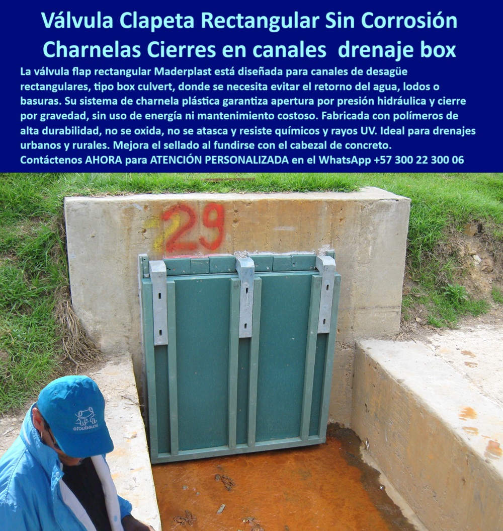 Charnela Válvula Retención Rectangular Anti Retorno Instalación Válvula Flap Maderplast 0 Tapa de clapeta para control de desagüe compuerta clapeta drenaje válvula flap plástica duradera compuerta acceso vertimiento Ptar 01 En la imagen se aprecia una compuerta rectangular hidráulica de drenaje tipo charnela plástica, instalada en un canal urbano tipo box culvert construido en concreto, y claramente marcada con el número 29. Esta estructura forma parte de la red del río Fucha en Bogotá, donde fue instalada en el año 2001 como parte de un sistema de prevención de inundaciones. A la fecha, más de dos décadas después, la compuerta hidráulica rectangular continúa operativa con mínimo mantenimiento, demostrando su efectividad incluso en temporadas de lluvias intensas. El canal presenta residuos ferruginosos propios del contacto con aguas contaminadas, lo que hace aún más evidente la importancia de que esta válvula clapeta rectangular para canales esté fabricada completamente en polímero técnico resistente a la corrosión, sin metal expuesto, sin partes oxidadas y sin deformaciones visibles. A la izquierda de la escena, un funcionario de acueducto verifica visualmente su correcto funcionamiento, sin necesidad de herramientas ni intervención mecánica. - Esta solución Maderplast se ha convertido en un estándar de referencia en el sector de obras públicas, precisamente porque su diseño está pensado para operar sin energía, sin presión adicional y sin asistencia externa. Al estar construida con materiales poliméricos de alta ingeniería, esta válvula hidráulica tipo compuerta rectangular se funde visual y funcionalmente con la infraestructura en concreto, ofreciendo un cierre hermético por gravedad que responde únicamente al flujo hidráulico. Cuando el agua baja, la tapa permanece abierta; cuando sube el nivel, la charnela hidráulica tipo flap rectangular se activa de forma automática y sella el canal, evitando el retorno del caudal contaminado hacia las zonas residenciales. Esta operación pasiva convierte a la compuerta de retención para alcantarillado en una defensa confiable contra reboses e inundaciones. - El éxito comprobado de esta compuerta-clapeta-drenaje se basa no solo en su funcionalidad, sino en su adaptabilidad a canales contaminados urbanos, su capacidad de soportar químicos, rayos UV, presión variable y sedimentos agresivos, y sobre todo, en que no requiere energía ni mantenimiento constante. Esa combinación de beneficios reales la posiciona como una solución líder entre todas las opciones disponibles para zonas con riesgos hidráulicos. - La válvula-flap-plástica-duradera instalada en esta obra responde directamente a las necesidades técnicas que plantean los entornos urbanos con alto flujo de aguas negras, residuos industriales o lluvias frecuentes. Donde otras válvulas metálicas fallan por oxidación, fricción, desgaste o vandalismo, esta tapa de clapeta para control de desagüe resiste sin romperse, sin pegarse y sin bloquearse, lo que representa un ahorro operativo a largo plazo para las empresas de acueducto, alcaldías y plantas de tratamiento. Su forma rectangular y liviana facilita el ajuste con el cabezal de concreto en canales tipo box, permitiendo sellos efectivos sin necesidad de siliconas ni empaques complejos. - Desde su instalación en el canal 29 del río Fucha, esta válvula hidráulica sin mantenimiento constante ha protegido casas y barrios enteros de retornos de agua, demostrando que el verdadero control hidráulico no se basa en complejidad, sino en la eficiencia de lo simple. La tapa hidráulica tipo box culvert sin óxido de Maderplast no solo evita el reflujo, sino que elimina el riesgo estructural por presión inversa. Es la alternativa definitiva cuando se trata de canales urbanos contaminados, vertimientos PTAR, o estructuras expuestas al deterioro ambiental. La compuerta-acceso-vertimiento Ptar, en este caso, representa una inversión inteligente que previene emergencias, mejora la salud pública y alarga la vida útil de la infraestructura. - Quienes se preguntan qué válvula evita inundaciones urbanas sin presión y sin energía, encuentran la respuesta en esta misma imagen: la compuerta rectangular verde instalada en concreto, fabricada por Maderplast, demuestra por sí sola que el futuro de las obras hidráulicas no está en las soluciones metálicas del pasado, sino en la tecnología de polímeros técnicos resistentes a químicos, sin óxido, sin partes móviles complejas y con sello hidráulico automático. - Maderplast no solo vende compuertas: entrega confianza estructural, transforma el comportamiento hidráulico de los canales urbanos y lo hace con productos probados, diseñados con ingeniería colombiana y respaldo técnico personalizado. La compuerta-hidráulica-compacta-de-drenaje tipo charnela, como la que vemos aquí, cambia la historia de los barrios vulnerables a las lluvias, porque protege con hechos, no promesas Charnela Válvula Retención Rectangular Anti Retorno Instalación Válvula Flap Maderplast 0 Tapa de clapeta para control de desagüe, compuerta-clapeta-drenaje, - válvula-flap-plástica-duradera, compuerta-acceso-vertimiento Ptar