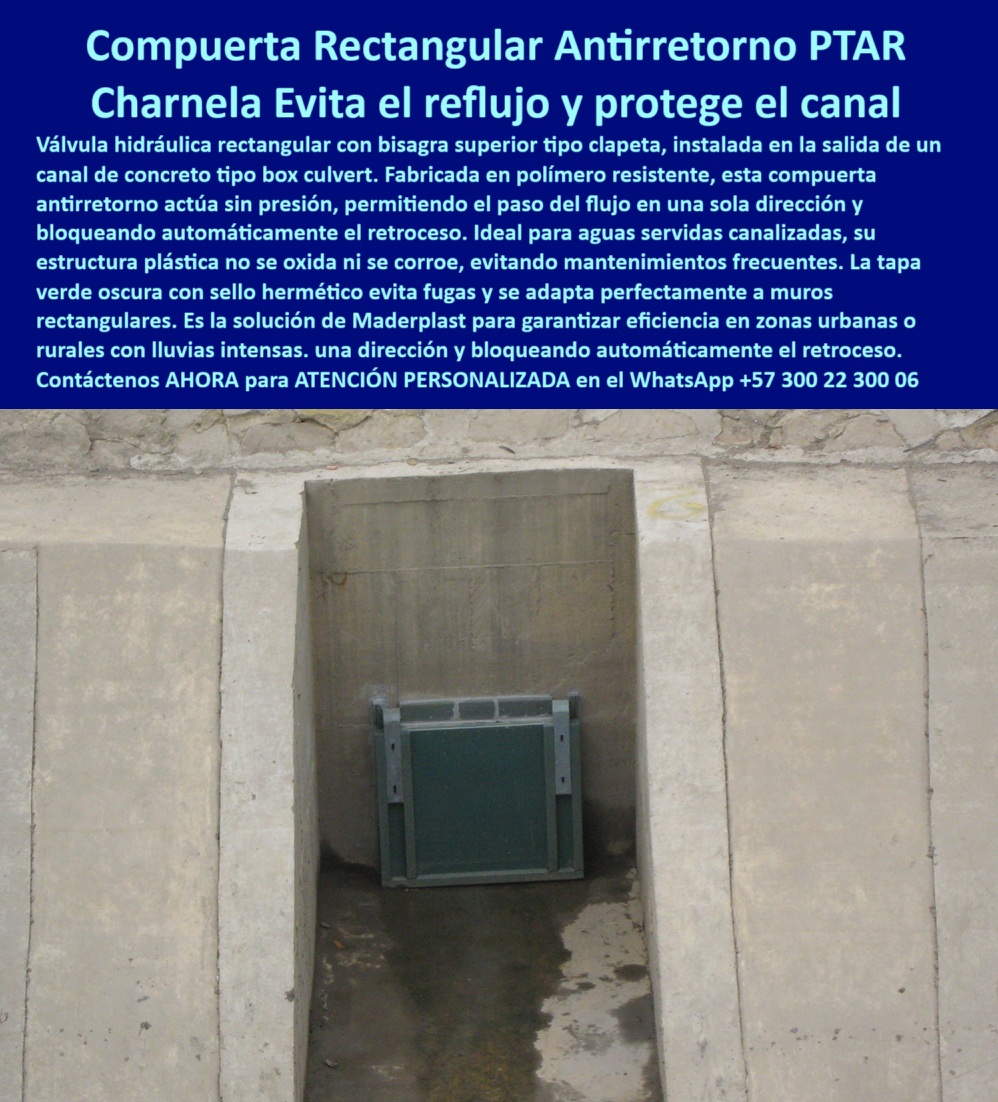 Charnela Válvula Retención Rectangular Anti Retorno Instalación Válvula Flap Maderplast 0 válvula hidráulica libre de presión válvula antirretorno para aguas servidas canalizadas Válvula de retención de polímero tapa Ptar 01 La imagen muestra la válvula hidráulica rectangular con bisagra superior, una charnela tipo flap Maderplast diseñada para el control del reflujo en canales box culvert, sistemas PTAR y redes urbanas de alcantarillado pluvial. Esta válvula-rectangular-antirretorno ha sido instalada en el canal del río Fucha en Bogotá desde el año 2001, como parte de un sistema integral de protección contra inundaciones. Desde entonces, la charnela plástica urbana ha operado sin fallos, sin reemplazos y con mínimo mantenimiento, siendo testigo silencioso del paso del agua y guardián efectivo contra su retroceso. - La charnela plástica de tapa rectangular que aparece encajada perfectamente en el muro de concreto actúa sin presión hidráulica, sin componentes eléctricos ni sistemas de automatización. ¿Cómo se llama la tapa para box culvert? Se llama válvula de retención de polímero tapa PTAR, y funciona por gravedad, abriéndose al paso del flujo y cerrándose automáticamente al detectar cualquier intento de retorno. Este sistema inteligente convierte un canal pasivo en una línea activa de defensa hídrica. ¿Dónde instalo válvula rectangular sin presión? En cada punto donde el riesgo de retorno, contaminación o inundación pueda poner en peligro la infraestructura o la comunidad. - El sistema hidráulico rectangular antirretorno de Maderplast está fabricado en polímero técnico de ingeniería avanzada, con estructura sin partes metálicas, libre de óxido, sin necesidad de pintura, totalmente resistente a los rayos UV, los químicos, los gases residuales y los cambios bruscos de temperatura. Por eso, la válvula rectangular antirretorno sin presión hidráulica no solo se adapta a sistemas urbanos, sino también a aguas servidas canalizadas, sistemas rurales, zonas vulnerables a lluvias intensas, o cualquier lugar donde el control de flujo debe ser confiable y constante. - ¿Y qué compuerta rectangular evita el reflujo? Esta. La compuerta rectangular instalada en canal box culvert que aquí vemos protege a las casas y barrios aledaños al canal desde hace más de 20 años. Gracias a su tapa hidráulica de retención encajada en concreto, el sistema de retención en muros de concreto bloquea completamente el paso del agua cuando hay crecidas o tormentas, evitando devoluciones y reboses. Esta válvula sin presión con cierre automático ha demostrado que no se necesita complejidad para lograr eficiencia: se necesita ingeniería enfocada en soluciones reales. - ¿Dónde instalar una válvula hidráulica rectangular para canal urbano? En cada punto crítico del sistema. ¿Cuál es la mejor charnela para canal urbano? La charnela unidireccional de canal con cuerpo polimérico, como esta, que garantiza sellado hermético, cero mantenimiento y máxima eficiencia operativa. ¿Qué válvula sirve en muros de concreto? La que se adapta, se fija sin grúas, y permanece activa año tras año: la válvula antirretorno para aguas servidas canalizadas. - La tapa-rectangular-hidráulica en esta fotografía evidencia su capacidad para pasar desapercibida, pero jamás inactiva. Su color se camufla con el entorno, pero su funcionamiento es determinante. Esta compuerta rectangular para canal urbano Fucha no solo resiste el agua, resiste el tiempo, el abandono, la lluvia, el vandalismo. Su presencia es testimonio de que la ingeniería bien hecha sí transforma ciudades. - Instalada desde el año 2001 en Bogotá, esta válvula rectangular con bisagra superior demuestra que una decisión bien tomada en infraestructura puede proteger a generaciones completas de eventos climáticos cada vez más frecuentes. Maderplast ha instalado cientos de estas charnelas unidireccionales rectangulares para reflujo en redes pluviales, PTAR, bocatomas, obras de drenaje urbano y rural. ¿Cuál compuerta evita reflujo en canal de lluvia? La que se instala una vez y se olvida porque simplemente funciona. Esa es la compuerta-de-retención-urbana que hoy seguimos viendo operativa. - Contáctenos AHORA para ATENCIÓN PERSONALIZADA en el WhatsApp +57 300 22 300 06 y reciba acompañamiento directo del equipo técnico de Maderplast. Porque proteger su canal, su barrio o su obra no debe ser un experimento. Debe ser una garantía. Y esa garantía se llama Maderplast. Ingeniería plástica que no falla. Charnela Válvula Retención Rectangular Anti Retorno Instalación Válvula Flap Maderplast 0 válvula hidráulica libre de presión, - válvula antirretorno para aguas servidas canalizadas, Válvula de retención de polímero tapa Ptar 01 Charnela Válvula Retención Rectangular Anti Retorno Instalación Válvula Flap Maderplast 0 válvula hidráulica libre de presión, - válvula antirretorno para aguas servidas canalizadas, Válvula de retención de polímero tapa Ptar