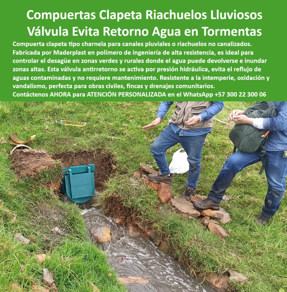 Compuerta Clapeta Antirretorno Drenaje Alcantarillado Salida De Canal Maderplast 0 Alta Durabilidad compuerta para canales de aguas lluvias compuerta tipo charnela para desagüe en concreto compuerta antirretorno canales Ptar 01 La imagen muestra una compuerta clapeta para riachuelos pluviales instalada directamente sobre el cauce de un canal natural en zona rural, diseñada como una solución eficaz para evitar el retorno del agua en caso de lluvias intensas. Esta compuerta tipo charnela para drenaje en finca funciona como válvula antirretorno activada por presión hidráulica, sin necesidad de energía, electricidad ni intervención humana, lo que garantiza operación continua incluso en eventos climáticos severos. Fabricada por Maderplast, esta compuerta-plástica-automática está diseñada para resistir la intemperie, el desgaste por caudal turbulento y la acción de contaminantes presentes en aguas lluvias. Su composición en polímero de ingeniería la convierte en una válvula resistente a vandalismo y corrosión, ideal para zonas apartadas donde el mantenimiento periódico no es viable, como en fincas rurales, comunidades periféricas, drenajes pluviales o zonas verdes de difícil acceso. - Esta clapeta hidráulica para salida rural, también conocida como clapeta reforzada para aguas contaminadas, se instala sin necesidad de estructura de concreto, lo que la hace compatible con canales no canalizados, riachuelos naturales y obras de mitigación en desarrollo. Su función como válvula anti contaminación para obras civiles evita el reflujo de aguas servidas o pluviales contaminadas hacia fuentes de captación, cultivos o viviendas en zonas bajas. La activación automática por presión convierte esta tecnología en una válvula sin energía para tormentas, perfecta para garantizar evacuación efectiva del caudal sin colapsos ni bloqueos en el sistema. Su uso como compuerta salida agua lluvia asegura un flujo unidireccional que protege tanto la infraestructura como el entorno ambiental. - El diseño tipo charnela-salida-canal responde con rapidez cuando se requiere desfogue pluvial, comportándose como una válvula plástica contra retorno en tormentas que no se oxida, no se traba y no requiere intervención humana. En la imagen se observa la instalación de compuerta en canal natural de finca, validando su adaptación a terrenos irregulares y su funcionamiento autónomo durante una jornada de inspección en campo. Esta compuerta automática para salida de canal, al estar construida con materiales de alta durabilidad, forma parte de los sistemas de drenaje más eficientes en la protección contra crecientes repentinos. - Es una solución avanzada dentro del sistema-pluvial-pasivo, pensada para condiciones rurales y lluvias intensas, cumpliendo los principios de sostenibilidad y bajo mantenimiento. Por su eficiencia demostrada, esta clapeta plástica en salida de drenaje rural se posiciona como la mejor opción para quienes se preguntan ¿Qué válvula sirve para evitar retorno en riachuelos?, ¿Cuál compuerta usar en canal sin concreto? o ¿Dónde comprar compuerta para drenaje en finca?. Su aplicación como compuerta antirretorno rural también incluye uso en canales de aguas lluvias, zonas sin urbanizar, alcantarillado rural, obras de saneamiento comunitario y canales abiertos de alta pendiente donde la velocidad del agua podría devolver el flujo si no se controla correctamente. - Este desarrollo de Maderplast combina innovación, resistencia y simplicidad, representando una respuesta ecológica y funcional ante el desafío de controlar flujos naturales en áreas sensibles. La clapeta canal abierto sin concreto, junto con la tecnología de válvula tipo charnela sin energía, transforma la manera en que se ejecutan los drenajes rurales, ya que elimina los riesgos de retorno en tormentas y mejora el manejo del agua en cada obra civil. - Para más información sobre esta compuerta charnela para alcantarillado rural, sus beneficios y su correcta implementación, comuníquese hoy mismo para ATENCIÓN PERSONALIZADA a través del WhatsApp +57 300 22 300 06, donde Maderplast ofrece asesoría técnica profesional y soluciones confiables adaptadas a cada proyecto. Compuerta Clapeta Antirretorno Drenaje Alcantarillado Salida De Canal Maderplast 0 Alta Durabilidad compuerta para canales de aguas lluvias, compuerta tipo charnela para desagüe en concreto compuerta antirretorno canales Ptar
