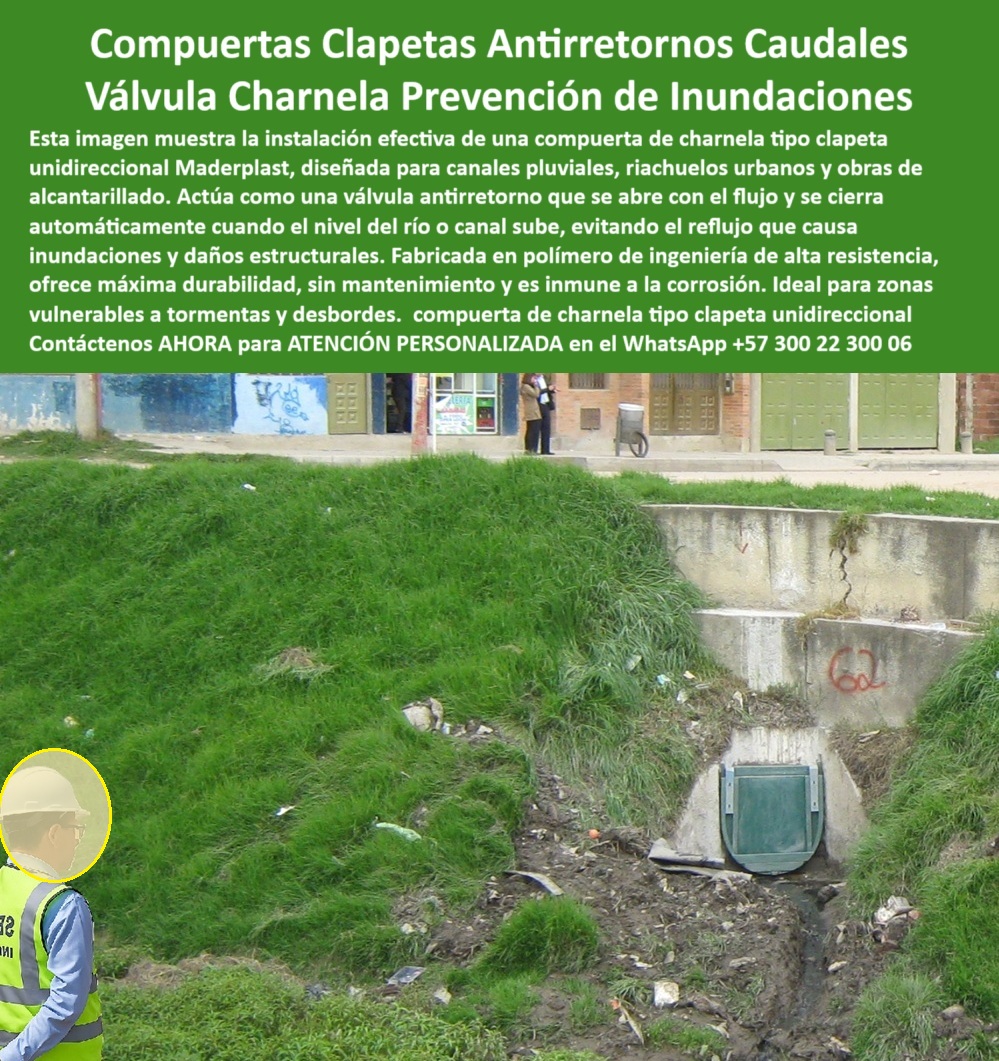Compuerta Clapeta Antirretorno Drenaje Alcantarillado Salida De Canal Maderplast 0 Compuerta de charnela Compuerta de clapeta unidireccional Válvula de charnela contra reflujo Compuerta hidráulica unidireccional Ptar 01 ¿Qué compuerta evita el reflujo y las inundaciones en canales urbanos sin presión ni energía?, - La compuerta de charnela que evita el reflujo y las inundaciones en canales urbanos sin presión ni energía es la compuerta de clapeta unidireccional tipo Maderplast, una solución probada en obras reales, tal como lo muestra esta instalación visible en la imagen. Se trata de una compuerta hidráulica unidireccional fabricada en polímero de alta ingeniería, instalada en el sistema de drenaje de alcantarillado salida de canal de una zona urbana vulnerable. Esta válvula de charnela contra reflujo actúa por gravedad, con apertura automática al fluir el agua y cierre hermético cuando el nivel del canal se eleva, impidiendo así el ingreso de agua contaminada que puede causar rebose, colapso o inundaciones. - El sistema de compuertas clapetas antirretornos caudales está diseñado para prevención de inundaciones, incluso en condiciones críticas, gracias a su diseño estructural en compuerta en polímero reforzado, sin partes metálicas expuestas, lo cual garantiza durabilidad, cero mantenimiento y resistencia total a la corrosión, químicos y rayos UV. La válvula hidráulica sin mantenimiento canal urbano que ofrece Maderplast tiene como ventaja su instalación directa sobre muros de concreto, como en este caso, con anclaje sencillo y operación sin sistemas eléctricos. - Su diseño compacto hace que funcione como compuerta compacta unidireccional de drenaje, ideal para canales pequeños, canales pluviales y alcantarillas urbanas expuestas a tormentas o desbordes. La tapa plástica de salida para riachuelos impide eficazmente el retroceso de aguas servidas o pluviales en temporada de lluvias, cumpliendo con su función como compuerta de reflujo en infraestructura urbana. Esta solución está optimizada como compuerta tipo clapeta para río urbano, perfectamente adaptada al entorno urbano y natural. - ¿Qué compuerta usar para prevenir el retorno de agua en zonas urbanas?, - La respuesta está en la compuerta-para-drenaje-pluvial tipo Maderplast, que opera como una válvula-antirretorno-unidireccional, desarrollada para actuar sin presión ni energía. Esta válvula-automática-sin-presión está pensada para garantizar que el reflujo no alcance zonas residenciales. Además, gracias a su mecanismo de válvula de cierre automático para canales, se convierte en la opción ideal para zonas con frecuentes inundaciones por tormenta. - ¿Dónde encuentro una tapa hidráulica para canal pluvial que no se oxide ni se atasque?, - Maderplast fabrica la compuerta hidráulica para zonas inundables más confiable del mercado: una tapa-hidráulica-para-lluvias, diseñada en polímero técnico para soportar caudales variables sin atascarse por basura ni sedimentos. La compuerta clapeta para caudales variables está fabricada con bisagra superior tipo charnela, que permite la apertura suave y cierre sin necesidad de intervención humana. En la imagen se aprecia la compuerta plástica verde en salida de drenaje, instalada directamente sobre concreto, integrada de forma discreta pero efectiva en el canal. - Este sistema se considera un verdadero sistema-anti-reflujo-urbano, ya que cada válvula hidráulica con apertura automática ha sido probada para actuar como un sistema de prevención de inundaciones por reflujo sin importar si la zona tiene energía eléctrica o no. Su aplicación se ha extendido a obras PTAR, bocatomas, canales secundarios del río Bogotá y estructuras municipales de alcantarillado. - ¿Qué solución ofrece control de caudales para evitar inundaciones en barrios?, - La solución está en el sistema de control de agua para lluvias Maderplast, desarrollado como compuerta plástica para reflujo de aguas lluvias, útil tanto en zonas urbanas como rurales. Gracias a su diseño, puede funcionar como tapa unidireccional de charnela automática, charnera hidráulica visible al fondo del canal, y como compuerta ligera de instalación en concreto para entornos urbanos con césped o zonas peatonales cercanas. - La versatilidad del producto lo convierte también en una válvula de retención compacta para drenaje, perfecta para zonas vulnerables a lluvias. Su fabricación como compuerta plástica verde, de aspecto discreto, la hace adecuada para canales pequeños, tapas de inspección para canales contaminados, o salidas de canal bajo césped urbano. - ¿Qué compuerta sirve para evitar el reflujo en alcantarillas?, - La compuerta plástica verde Maderplast es la mejor opción. Su tecnología está optimizada para cumplir como válvula unidireccional pequeña en muro de concreto, sin energía, sin mantenimiento, sin presión externa. Esta compuerta-de-alcantarillado-urbano actúa también como compuerta contra tormentas y desbordes, ofreciendo solución-control-caudales adaptada a infraestructura crítica. - Si tu proyecto requiere una válvula de cierre automático para riachuelos urbanos, tapa plástica resistente para canales pequeños, charnera contra reflujo sin energía externa, o simplemente una solución que garantice eficiencia, seguridad y larga vida útil, la opción es clara: Maderplast. -  ontáctenos AHORA para ATENCIÓN PERSONALIZADA en el WhatsApp +57 300 22 300 06 y reciba asesoría directa del equipo de ingeniería Maderplast. Evite reflujo, inundaciones y daños estructurales con compuertas reales, instaladas en obras reales, con resultados comprobados Compuerta Clapeta Antirretorno Drenaje Alcantarillado Salida De Canal Maderplast 0 Compuerta de charnela, - Compuerta de clapeta unidireccional, - Válvula de charnela contra reflujo, - Compuerta hidráulica unidireccional, Ptar