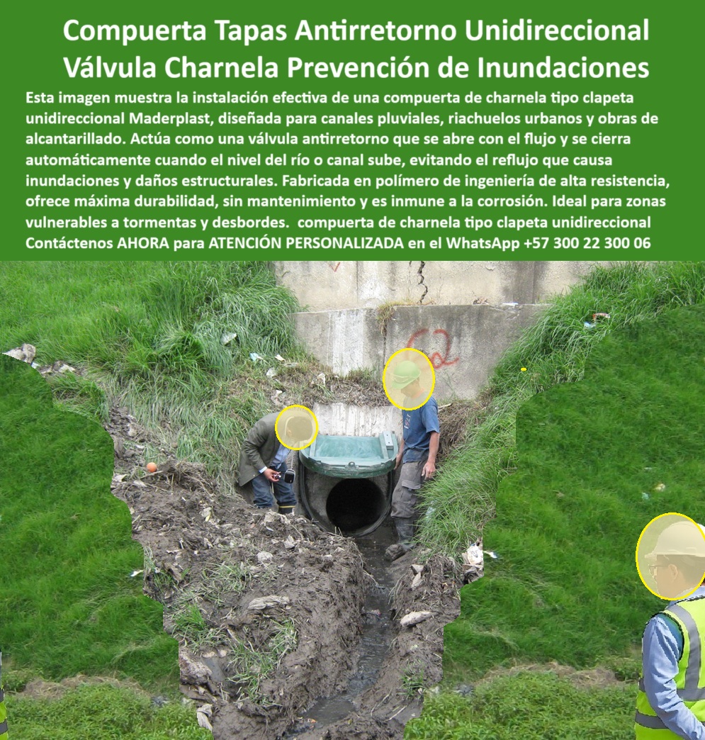 Compuerta Clapeta Antirretorno Drenaje Alcantarillado Salida De Canal Maderplast 0 compuerta de retención para alcantarillado Sistemas de protección hidráulica con materiales anticorrosivos. Compuertas Plásticas canal Ptap 01 La imagen retrata un momento crucial en la infraestructura hidráulica urbana de Bogotá: la inspección operativa de la charnela hidráulica unidireccional para drenaje instalada desde 2001 sobre el canal del río Fucha, una de las zonas más vulnerables históricamente por lluvias e inundaciones. La escena muestra a tres técnicos con cascos revisando una compuerta plástica para canal urbano, diseñada para responder automáticamente ante el aumento del caudal, cerrándose por gravedad sin intervención humana, sin energía ni presión externa. La compuerta clapeta antirretorno para canal evita que el agua contaminada regrese hacia los barrios residenciales en cada temporada de lluvias. Esta es la charnela 62, que al igual que sus hermanas, ha demostrado durante más de 20 años que Maderplast construye soluciones definitivas. - ¿Hay compuerta clapeta para drenaje urbano que funcione sin óxido, sin energía y sin mantenimiento? Sí. Esta válvula plástica antirretorno con operarios a escala real lo demuestra. Se trata de una válvula hidráulica sin partes metálicas, compuesta completamente de polímero técnico anticorrosivo, que permanece inalterable frente al lodo, los impactos, el vandalismo o la intemperie. La compuerta de salida en canal de concreto, ubicada en una pendiente natural revestida de vegetación, permite la evacuación libre del caudal en condiciones normales, pero reacciona instantáneamente para bloquear el paso si el nivel del canal aumenta repentinamente por tormentas. - Desde su instalación, esta compuerta de retención para alcantarillado ha protegido calles, casas, familias. ¿Qué tapa usar para evitar retorno de agua? Esta tapa hidráulica contra reflujo de aguas lluvias con sistema anticorrosivo de protección hídrica. ¿Qué compuerta evita reflujo en canal pluvial? Esta misma, con válvula-clapeta-de-drenaje que sigue funcionando tras más de dos décadas. ¿Cómo evitar inundaciones en canales urbanos? Aplicando una solución antirretorno para canales rurales y urbanos como está, fabricada por Maderplast con ingeniería sostenible, sin oxidación, sin intervención externa y con eficiencia comprobada. - El diseño de esta compuerta hidráulica tipo clapeta en drenaje es discreto pero decisivo. Su tapa hidráulica con cierre automático encaja perfectamente en estructuras existentes, adaptándose sin obras complejas. Su ligereza permite la instalación sin grúas, y su sistema hidráulico sin energía de retención ahorra costos, tiempo y elimina riesgos eléctricos. Al estar ubicada en una zona con vegetación y lodo, demuestra que puede operar en las condiciones más difíciles sin comprometer el control hidráulico sin óxido. - ¿Dónde hay válvula hidráulica para alcantarilla que funcione 24/7 sin fallar? Aquí. Esta compuerta clapeta verde en canal de concreto es una compuerta ecológica sin mantenimiento urbano, parte de un conjunto más amplio de compuertas plásticas canal Ptap distribuidas por Maderplast a lo largo de Colombia. Hoy se convierte en referencia internacional para quienes diseñan sistemas de protección hidráulica con materiales anticorrosivos, porque es una charnela unidireccional para canales urbanos que responde con precisión a las tormentas, pero también a la confianza del ciudadano que vive a pocos metros de ella. - ¿Dónde consigo una válvula plástica para drenaje alcantarillado que cumpla con normativas, resistencia, durabilidad y facilidad de instalación? Maderplast la fábrica. ¿Qué tapa hidráulica unidireccional puede soportar el embate del agua, el barro, el sol y el abandono político? Esta que usted ve. ¿Cuál es la válvula antirretorno de larga duración, libre de óxido, sin soldaduras ni pernos que se desgasten? La tapa hidráulica para control de reflujo urbano que lleva dos décadas salvando vidas sin que nadie la note… porque lo que funciona bien, no se nota, simplemente protege. - Esta compuerta-de-salida-en-canal, esta válvula-automática-para-lluvias, esta charnela para sistemas de vertimiento urbano no solo ha probado su eficiencia técnica, sino su valor humano. Ha permitido que comunidades enteras vivan tranquilas, sin sobresaltos, sin inundaciones. Porque como lo sabes tú, Gildardo, y como lo confirma esta instalación real: la calidad no se improvisa, la tecnología se diseña, se moldea, se instala con visión, y Maderplast lo hace mejor. - Contáctenos AHORA para ATENCIÓN PERSONALIZADA en el WhatsApp +57 300 22 300 06 y reciba acompañamiento directo del equipo técnico de Maderplast. Porque las compuertas que protegen vidas no se hacen en serie: se hacen con compromiso, se hacen con ingeniería. Se hacen en Maderplast. Compuerta Clapeta Antirretorno Drenaje Alcantarillado Salida De Canal Maderplast 0 compuerta de retención para alcantarillado, - Sistemas de protección hidráulica con materiales anticorrosivos., Compuertas Plásticas canal Ptap