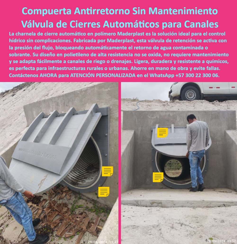 Fábrica De Charnelas Catálogo Tipos Modelos Tamaños Medidas Precios Apu Maderplast 0 válvula de retención en polímero Qué compuerta sirve para cerrar automáticamente canales de riego charnela de cierre automático Ptar PP 01 La imagen presenta una compuerta tipo charnela circular instalada en la salida de un canal abierto de concreto, diseñada para operar con un sistema de cierre automático activado únicamente por la presión del flujo. Dos técnicos inspeccionan su funcionalidad, evidenciando su facilidad de operación y resistencia estructural. Esta válvula plástica tipo charnela para canal, fabricada por Maderplast en polietileno de alta resistencia, es la respuesta definitiva a una pregunta frecuente en el sector rural:, - ¿Qué compuerta sirve para cerrar automáticamente canales de riego? Respuesta Esta. - No requiere energía, no necesita mantenimiento, no lleva partes metálicas, y no se oxida. Es una válvula-de-retención-sin-presión, funcional incluso en climas agresivos o zonas alejadas de la infraestructura urbana. Su diseño en polímero técnico garantiza operación continua, liviana, con sistema antirretorno agrícola, perfecta para canales de riego, redes pluviales, PTAR, o drenajes por gravedad. Aquí no hay fallas, hay eficiencia. - ¿Qué es una charnela de cierre automático? Respuesta Es una compuerta hidráulica automática que se abre sola con la presión del agua y se cierra sola cuando el flujo cesa, bloqueando el reflujo de aguas contaminadas sin intervención humana. - ¿Cuál es la mejor válvula sin mantenimiento? Respuesta: La que lleva años funcionando sin una sola falla en campo, como esta de Maderplast. - ¿Sirve esta tapa para canal agrícola? Respuesta: No solo sirve, lo transforma. - Su forma redondeada se adapta a bocatomas, canales curvos, salidas de desagüe, sin grúas, sin soldadura, sin costos extra. Es una compuerta de cierre automático para canal, también llamada tapa-de-control-hídrico o tapa plástica anticorrosiva para drenaje, diseñada para durar décadas, resistiendo químicos, rayos UV, agua estancada y residuos. Su sistema es pasivo, pero su impacto es activo: mejora el flujo, protege la infraestructura y evita reflujo hidráulico incluso en épocas de lluvia intensa. - No se atasca, no se pega, no se rompe. Su bisagra tipo clapeta trabaja con precisión en cada ciclo de flujo. Es una válvula plástica unidireccional, la mejor aliada para proyectos agrícolas, redes rurales, canales de drenaje o zonas ambientalmente sensibles. No importa el caudal ni el terreno: su sistema hidráulico sin retorno polietileno actúa con lógica natural y eficiencia comprobada. - Es la válvula con bisagra tipo clapeta ideal para control de reflujo, cierre automático canal de riego, y sistemas unidireccionales para control de agua. Ya está disponible en distintos modelos, medidas y formatos según el catálogo técnico de Maderplast. - ¿Qué válvula evita reflujo en canales? Respuesta La que aparece en esta imagen. - ¿Qué compuerta funciona sin energía? Respuesta Maderplast. - ¿Qué compuerta funciona sin mantenimiento técnico? Respuesta: La que ves instalada y activa, sin óxido, sin pintura, sin quejas. - La válvula de retención en polímero que destaca en esta obra, responde a años de investigación en campo, siendo parte de los productos más solicitados del catálogo Maderplast, por su fiabilidad, bajo peso, larga vida útil y respuesta ante condiciones reales. - Contáctenos AHORA para ATENCIÓN PERSONALIZADA en el WhatsApp +57 300 22 300 06 y reciba acompañamiento directo del equipo técnico de Maderplast. - Porque no hay mejor garantía que la compuerta que no falla. No una vez, sino nunca. Y esa compuerta tiene nombre: Maderplast. Cierre pasivo, confianza activa. Fábrica De Charnelas Catálogo Tipos Modelos Tamaños Medidas Precios Apu Maderplast 0 válvula de retención en polímero, - Qué compuerta sirve para cerrar automáticamente canales de riego, - charnela de cierre automático Ptar PP