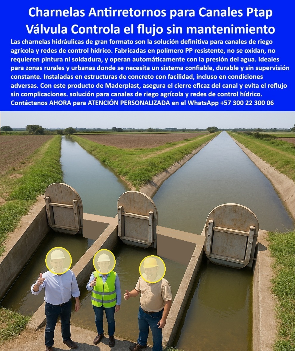 Instalación Charnela Compuertas Hidráulicas Canal De Riego Agrícola Maderplast 0 protección de redes hídricas grandes dimensiones inoxidable Tapa plástica de Ptap PP sistema de control hídrico grandes dimensiones inoxidable 01 La imagen documenta un momento histórico en la ingeniería del riego en Colombia: las charnelas hidráulicas Maderplast instaladas en el canal de riego agrícola del Río Prado en Tolima han operado sin fallos por más de dos décadas y media. Frente a estas compuertas hidráulicas de gran formato, tres ingenieros del Distrito de Riego del sistema del Río Prado posan con orgullo. El testimonio es claro, directo y conmovedor: más de 25 años sin fallos, sin oxidación, sin soldadura, sin mantenimiento, pero con cierre perfecto y confiabilidad total. Esta obra demuestra por qué las soluciones Maderplast no envejecen: maduran con dignidad técnica y superan la prueba del tiempo. - Cada una de estas charnelas antirretornos para canales Ptap está instalada en una estructura de concreto, diseñada para soportar caudales importantes en canales de riego agrícola. Su diseño de tapa redonda resistente en canal de Tolima Colombia, fabricada en PP de alto rendimiento, permite un control de flujo sin mantenimiento, garantizando funcionamiento automático solo con la presión del agua. No se requiere energía externa, ni intervención técnica continua. Son válvulas antirretorno tipo clapeta que controlan el flujo sin energía, sin óxido y sin complicaciones. - ¿Y qué tipo de válvula se puede instalar en zonas rurales de alta demanda hidráulica? La respuesta está en la imagen: una compuerta redonda PP para canales rurales, una charnela plástica para canal agrícola Tolima, una válvula sin mantenimiento para canales rurales, diseñada especialmente para cultivos sensibles como el arroz. Su estructura resistente a aguas estancadas, sedimentación y cambios térmicos funciona incluso después de dos décadas de exposición al sol, lluvia y lodo. - Estas charnelas grandes instaladas en canal de riego agrícola eliminan por completo el riesgo de reflujo y la necesidad de mantenimiento constante. Su diseño de válvula unidireccional de canal concreto agrícola permite una operación confiable en zonas donde la intervención técnica no siempre es posible. Con una tapa plástica de gran diámetro para red hídrica, fabricada por Maderplast, el sistema funciona automáticamente, como debe hacerlo una válvula hidráulica sin óxido para riego por gravedad. - La comunidad agrícola lo sabe. Lo dicen los testimonios de quienes operan el canal: no hubo necesidad de reparar, ni de hacer soldadura, ni de reemplazar piezas. Las charnelas duraderas para riego por gravedad se convirtieron en parte estructural del canal, y siguen funcionando como el primer día. Estas compuertas, además de permitir paso unidireccional, bloquean eficazmente el retorno en épocas de lluvias o picos de caudal. Son la solución cuando se pregunta: ¿Cuál es la válvula para canales de riego agrícolas?, o ¿Dónde consigo charnelas para canal de arroz?. - Maderplast diseñó estas compuertas para durar. Y lo han logrado. Su bajo peso, resistencia química, facilidad de instalación sin soldadura y eficiencia operativa en condiciones reales las convierten en el nuevo estándar de calidad. Un sistema así no solo controla el flujo sin mantenimiento, también protege las redes hídricas de grandes dimensiones, con una tapa plástica de Ptap PP sistema de control hídrico grandes dimensiones inoxidable que actúa como una muralla hidráulica silenciosa y eficiente. - Contáctenos AHORA para ATENCIÓN PERSONALIZADA en el WhatsApp +57 300 22 300 06 y reciba acompañamiento directo del equipo técnico de Maderplast. Porque lo que dura 25 años sin fallos, no es suerte: es ingeniería. Y esa ingeniería se llama Maderplast. Tecnología que riega la confianza. Instalación Charnela Compuertas Hidráulicas Canal De Riego Agrícola Maderplast 0 protección de redes hídricas grandes dimensiones inoxidable, - Tapa plástica de Ptap PP sistema de control hídrico grandes dimensiones inoxidable
