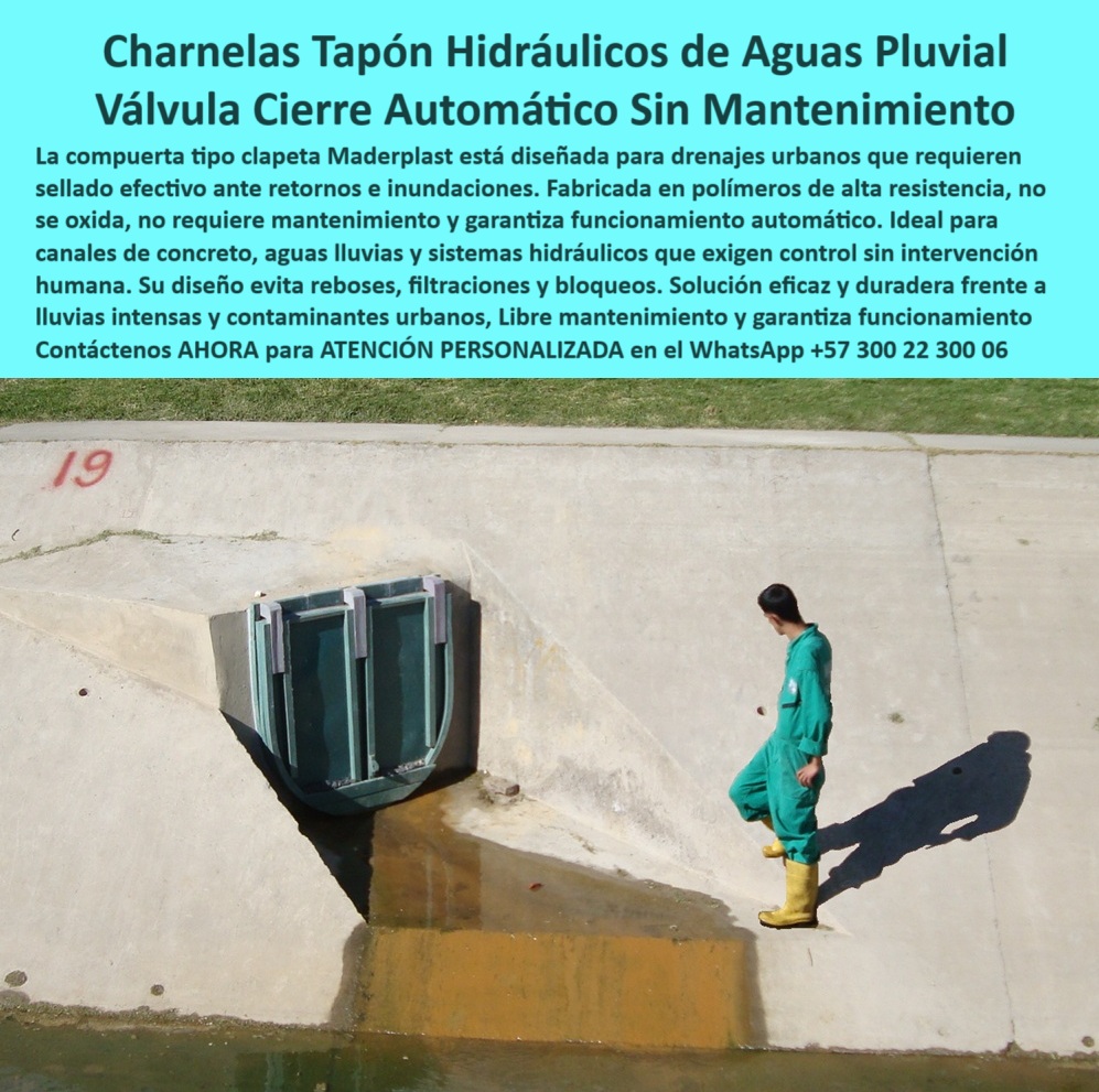 Válvulas Charnela En Canales De Aguas Instalación Control Hidráulico Maderplast 0 Drenaje urbano con compuerta tipo clapeta tapón de agua pluvial drenaje con tapa automática Sistema hidráulico con charnela Tapa Ptar 01 La imagen muestra la charnela número 19, instalada en el año 2001 como parte del plan de mitigación implementado por el Distrito para evitar las inundaciones que históricamente afectaron los barrios del sur de Bogotá. Esta válvula tipo clapeta, fabricada por Maderplast, se encuentra ubicada sobre el canal del río Fucha, uno de los principales afluentes urbanos que, en temporadas de lluvias intensas, solía desbordarse y provocar emergencias hídricas recurrentes. - Tras las inundaciones de ese año, Bogotá implementó una solución técnica basada en charnelas hidráulicas de control automático, instalando más de 125 unidades en los canales del Fucha y otras vertientes del río Bogotá. Estas válvulas funcionan de forma completamente pasiva: se cierran automáticamente mediante presión hidráulica inversa, sin necesidad de electricidad, sistemas mecánicos ni intervención humana. Gracias a su diseño inteligente, se han convertido en la solución preferida para drenaje urbano con compuerta tipo clapeta sin mantenimiento, permitiendo proteger zonas vulnerables sin generar costos operativos elevados. - Esta compuerta, con más de dos décadas de funcionamiento ininterrumpido, representa una de las válvulas hidráulicas urbanas de mayor efectividad comprobada en Colombia. Está fabricada en polímero técnico de alta resistencia, un material que no se oxida, no se corroe y resiste sin desgaste la exposición continua a químicos, aguas contaminadas y radiación UV. Su desempeño operativo ha sido tan estable que el único mantenimiento que requiere es una revisión preventiva antes y después de la temporada de lluvias, evidenciando su confiabilidad incluso en condiciones exigentes. - El sistema completo de tapones hidráulicos para aguas pluviales instalado en Bogotá permite controlar el reflujo en canales de concreto, evitando el retorno del agua hacia barrios enteros, calles, viviendas y redes internas de saneamiento. Gracias a este diseño, los barrios del sur que antes sufrían reboses constantes, hoy se mantienen libres de inundaciones incluso en los eventos más severos. - Este modelo de válvula urbana automática para control pluvial, diseñado por Maderplast, ofrece un funcionamiento silencioso y continuo, adaptado a zonas urbanas densamente pobladas. La charnela se activa únicamente por la presión del agua, cerrándose de inmediato en caso de subida de nivel, y volviendo a abrirse cuando el flujo normal se restablece. Su estructura compacta, robusta y estéticamente discreta se instala en muros de concreto con mínimo impacto visual, y su desempeño ha sido elogiado tanto por ingenieros como por técnicos de mantenimiento de la ciudad. - Actualmente, el sistema urbano de compuertas tipo charnela instalado en Bogotá se considera una de las soluciones más exitosas de infraestructura hidráulica urbana implementadas en América Latina. Esta compuerta instalada en canal del sur de Bogotá tras las inundaciones no sólo sigue funcionando sin fallas después de más de 20 años, sino que representa un modelo replicable para otras ciudades que enfrentan problemas similares con aguas lluvias, canales de desagüe o vertimientos urbanos. - Gracias a su diseño tipo charnela urbana contra inundaciones, este sistema ha reducido la exposición de la ciudad a emergencias pluviales y ha optimizado la operación de canales concretos mediante un control automático, sin presión y sin energía. Hoy, Bogotá puede afirmar con respaldo técnico que su solución antirretorno para barrios del sur fue efectiva, económica y duradera. - Si deseas implementar un sistema similar en tu municipio, empresa de servicios públicos o proyecto de control de lluvias urbanas, contáctanos ahora a través de WhatsApp +57 300 22 300 06 y accede a ATENCIÓN PERSONALIZADA con respaldo directo del equipo de ingeniería Maderplast. Te brindamos acompañamiento desde el diseño hasta la instalación, con compuertas hidráulicas que han demostrado su capacidad técnica en campo, frente a más de 20 años de servicio sin interrupciones. Válvulas Charnela En Canales De Aguas Instalación Control Hidráulico Maderplast 0 Drenaje urbano con compuerta tipo clapeta, - tapón de agua pluvial, - drenaje con tapa automática, - Sistema hidráulico con charnela, Tapa Ptar