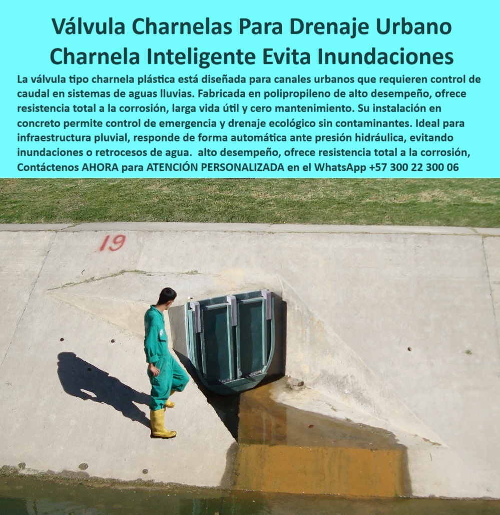 Válvulas Charnela En Canales De Aguas Instalación Control Hidráulico Maderplast 0 drenaje urbano controlado válvula ecológica de canal infraestructura hidráulica pluvial control hídrico de emergencia tapa de Ptar pp 01 Válvula Charnela Inteligente para Drenaje Urbano: Control Hidráulico Ecológico Sin Energía ni Mantenimiento, - La imagen muestra una válvula charnela para canal urbano fabricada por Maderplast, instalada sobre un canal de concreto como parte de un sistema de drenaje-urbano-inteligente. Esta válvula charnela para drenaje urbano forma parte de una solución ecológica, eficiente y duradera, diseñada especialmente para el control hídrico de emergencia en sistemas urbanos de aguas lluvias. - El dispositivo, hecho en polipropileno técnico de alto desempeño, cumple con los requisitos de una válvula ecológica de canal: no contiene partes metálicas, es inmune a la corrosión, y opera de manera pasiva. Su acción de cierre por presión hidráulica convierte esta charnela-concreto-pluvial en una barrera automática contra inundaciones, lo que la clasifica como una auténtica válvula anti reflujo para canal de concreto, ideal en infraestructura hidráulica pluvial sin necesidad de energía ni supervisión continua. - Esta compuerta automática para lluvia urbana está firmemente anclada a una estructura de concreto, como se ve en la imagen, donde un operario inspecciona su estado, lo cual da escala y contexto al funcionamiento de esta solución. La válvula sin motor ni mantenimiento responde automáticamente al aumento del nivel del agua, activándose como parte de un sistema hidráulico sin energía para canales, lo que permite la instalación de charnela urbana para control hídrico en proyectos sostenibles. - El diseño de esta compuerta hidráulica ecológica urbana cumple funciones múltiples: sirve como válvula inteligente sin partes metálicas, como clapeta de drenaje pluvial sin energía, y como compuerta urbana para aguas lluvias de reacción inmediata. Funciona también como compuerta plástica automática urbana, evitando fallas mecánicas o eléctricas, lo que reduce drásticamente los costos de operación a largo plazo. - La compuerta ecológica para aguas lluvias es ideal para sistemas de recolección en zonas urbanas, parques, canales viales, avenidas pluviales, pasos vehiculares o peatonales. Esta solución-hidráulica-urbana responde a necesidades reales de ingenieros municipales y contratistas que se preguntan: ¿Qué compuerta usar en canal urbano sin motor?, ¿Qué tapa sirve para evitar inundaciones?, ¿Dónde venden válvulas para aguas lluvias?, o ¿Qué compuerta resiste químicos y no se oxida?, - Este sistema funciona como una charnela hidráulica para zonas urbanas, integrándose en el sistema de charnela para tapar el reflujo sin necesidad de electricidad. Su eficiencia comprobada la hace perfecta como válvula pasiva de alta resistencia, brindando soluciones a largo plazo. Si se requiere una válvula de control de agua en ciudad que opere sin fallos, esta es la opción adecuada. - El producto también se reconoce como charnela de control hidráulico, aplicada en compuerta-ecológica-ciudad, como válvula plástica automática sin energía en canal y en obras con compuerta plástica para canales de lluvia, donde el control hídrico urbano es crítico. Esta compuerta-control-pluvial es parte esencial en proyectos de infraestructura de mitigación hídrica, donde la presión del agua activa el mecanismo de forma eficiente, sin desgaste. - Al ser parte del catálogo de Maderplast, esta válvula-hidráulica-urbana también actúa como charnela para control ecológico de drenajes, ideal en zonas de alto tráfico, humedales urbanos o áreas de expansión urbana. Se integra como compuerta urbana de polipropileno técnico en sistemas de canalización y drenaje urbano, asegurando operación continua incluso en condiciones extremas. - Y si buscas una respuesta a: ¿Cuál es la mejor válvula pasiva urbana?, esta solución de Maderplast es la más confiable y rentable del mercado. - Para más información o cotizaciones personalizadas, contáctanos directamente por WhatsApp +57 300 22 300 06 y descubre la solución definitiva para el sistema-anti-inundaciones urbano que tu proyecto necesita. Válvulas Charnela En Canales De Aguas Instalación Control Hidráulico Maderplast 0  drenaje urbano controlado, - válvula ecológica de canal, - infraestructura hidráulica pluvial, - control hídrico de emergencia, tapa de Ptar pp