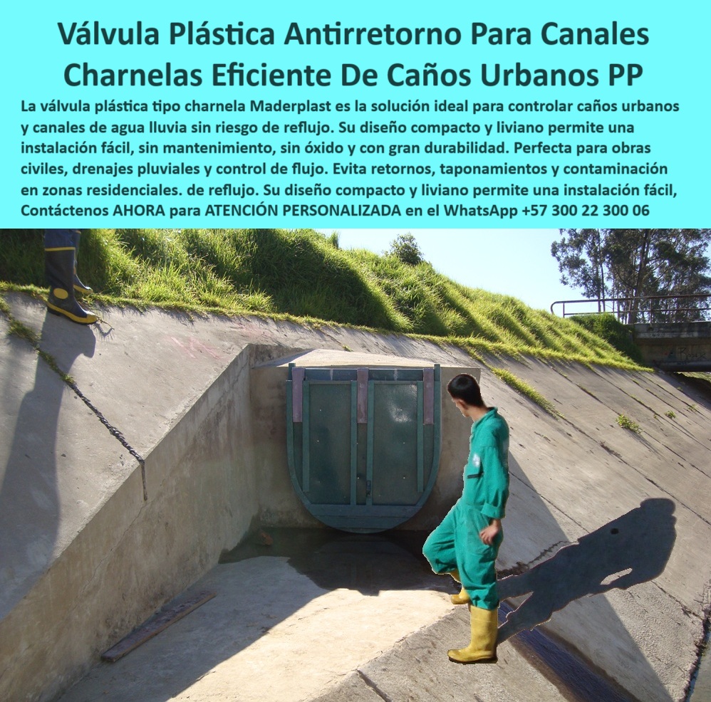 Válvulas Charnela En Canales De Aguas Instalación Control Hidráulico Maderplast 0 válvula plástica para caños compuerta hidráulica compacta Caño urbano con válvula plástica control Tapa de agua pluvial para canal Ptar 01 Válvula Plástica Antirretorno Maderplast para Caños Urbanos: charnela eficiente, sin óxido, sin mantenimiento, instalada desde 2001 en Bogotá y aún operativa, - La imagen documenta la compuerta número 78, una de las válvulas plásticas tipo charnela Maderplast instaladas en los canales urbanos del río Fucha en Bogotá desde el año 2001. Su instalación respondió a una necesidad urgente: controlar los reflujos de aguas contaminadas durante lluvias intensas que afectaron viviendas, barrios enteros y sistemas de drenaje público. Desde ese momento y hasta hoy, más de dos décadas después, esta solución sigue funcionando sin interrupciones ni fallos, convirtiéndose en una referencia confiable de infraestructura hidráulica urbana. - Esta válvula plástica para caños ha probado su efectividad gracias a su diseño compacto, robusto y fabricado en polímero técnico de ingeniería, lo que le da una durabilidad superior sin presentar oxidación, corrosión o deformaciones. Su forma rectangular tipo tapa hidráulica se adapta perfectamente al canal de concreto inclinado, como se observa en la imagen. Un operario técnico realiza inspección visual de rutina, algo que se hace exclusivamente antes y después de las temporadas de lluvias, siendo ese el único mantenimiento requerido en más de 20 años de servicio continuo. - Al tratarse de una compuerta hidráulica compacta, su funcionamiento es completamente automático: abre al paso del agua por presión hidráulica y se cierra inmediatamente al cesar el flujo, sin necesidad de electricidad, operadores, ni partes móviles metálicas. Esta compuerta tipo charnela para alcantarillas urbanas es ideal para caños urbanos con inclinación, canales pluviales, drenajes secundarios y salidas de alcantarillado expuestas. El control de caudal urbano es inmediato, pasivo y libre de intervención. - En el caso puntual de la charnela-antireflujo-urbano, su ligereza no compromete su resistencia: soporta impacto, presión variable, taponamientos por sedimentos o residuos, y su sellado hermético impide tanto el reflujo de líquidos contaminados como el ingreso de gases, plagas y olores al sistema. Es una solución ecológica y económica, que supera por mucho a válvulas metálicas u obsoletas. Su eficiencia ha evitado por completo que el río Fucha se desborde o inunde las casas vecinas, manteniendo el sistema de drenaje funcional, seguro y libre de devoluciones desde el 2001. - Esta compuerta plástica verde instalada en canal urbano de concreto se activa sin presión interna, por simple diferencia hidráulica, y es usada ampliamente en caños urbanos con sedimentos, canales sin presión, pendientes canalizadas, y redes secundarias de desagüe en sectores residenciales. Su perfil bajo y diseño optimizado permiten instalación en espacios reducidos, como se aprecia en este canal estrecho donde su acople fue exacto. La tapa hidráulica ligera evita obstáculos al paso del flujo natural, se cierra herméticamente sin asistencia externa y previene taponamientos en canales abiertos. - Cuando se habla de control sin intervención, esta válvula representa lo mejor de la infraestructura urbana sin mantenimiento intensivo, respaldada por una historia de más de 20 años de funcionamiento constante. No solo resiste lluvias torrenciales, sino que elimina el riesgo de inundaciones en épocas críticas. Esta válvula plástica antirretorno para caños urbanos ha sido preferida por ingenieros civiles y planeadores urbanos por ser una tecnología sostenible, ligera y libre de mantenimiento, que responde con eficiencia a fenómenos climáticos severos y a la variabilidad hidráulica de la ciudad. - El sistema de charnela eficiente en caños con sedimentos, permite que incluso residuos como arena, hojas o residuos flotantes sean empujados sin crear bloqueos. Su forma de tapa antirretorno caño urbano inclinación se adapta a diferentes geometrías sin riesgo de filtración, deformación ni oxidación. - Contáctenos AHORA para ATENCIÓN PERSONALIZADA en el WhatsApp +57 300 22 300 06 y reciba asesoría directa del equipo técnico de Maderplast. Le ofrecemos la solución antirretorno más confiable y duradera del mercado para canales urbanos, pluviales o rurales, con entrega inmediata, soporte profesional y sin mantenimiento por décadas. Válvulas Charnela En Canales De Aguas Instalación Control Hidráulico Maderplast 0 válvula plástica para caños, - compuerta hidráulica compacta, - Caño urbano con válvula plástica control, -Tapa de agua pluvial para canal Ptar