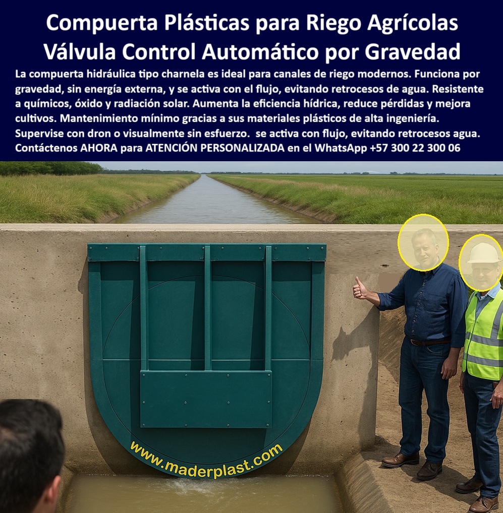 Válvulas Y Control Hidráulico Canales De Riego Compuertas Charnelas Maderplast 0 compuerta para riego agrícola Compuerta moderna de canal de riego automatizado compuerta de agua por gravedad Dron supervisa válvula Ptap 01 Compuerta Plástica Automática para Riego Agrícola por Gravedad, - Válvula tipo Charnela Maderplast: Control Eficiente de Agua sin Energía ni Mantenimiento, - En la imagen se observa una compuerta hidráulica plástica de gran diámetro instalada sobre un canal agrícola revestido en concreto, donde el control automático de agua en riego es esencial para garantizar el buen desempeño hídrico en el campo. Se trata de una válvula tipo charnela para uso agrícola, fabricada por Maderplast en polímero técnico anticorrosivo, diseñada para operar por gravedad sin necesidad de motores, bombas, sensores, ni electricidad. Esta tecnología ha revolucionado los sistemas de riego tecnificado al proporcionar un sistema de cierre por gravedad canal completamente autónomo, seguro y de alta eficiencia. - La compuerta plástica verde instalada en canal que se aprecia en la fotografía opera con una apertura automática sin motor, sincronizada con el flujo natural del agua. En su posición cerrada, evita el retroceso de agua hacia las fuentes de captación, mientras que al activarse por presión positiva, permite un flujo unidireccional continuo y sin turbulencias. Esta compuerta moderna de canal de riego automatizado cumple funciones de válvula antirretorno por gravedad, siendo fundamental para reducir pérdidas, controlar caudales y evitar anegamientos innecesarios en redes de cultivo. - Su estructura reforzada sin partes metálicas elimina completamente el riesgo de oxidación, lo que la convierte en una compuerta hidráulica anticorrosiva para riego, resistente a la radiación solar, químicos agrícolas, humedad y ciclos de sedimentación. El control de caudal agrícola con compuerta Maderplast se traduce en eficiencia hídrica, mejora de cultivos y menor gasto en mantenimiento. - Al costado derecho de la imagen, se observa a dos técnicos de obra y un ingeniero supervisor validando la instalación in situ, comprobando que el sistema de control hídrico agrícola funciona correctamente. Al fondo, el sistema hidráulico visible en canal de campo refleja el compromiso de Maderplast con la optimización del recurso hídrico en zonas rurales. Esta compuerta de agua por gravedad es ideal para zonas donde no se dispone de energía eléctrica confiable, permitiendo instalar válvulas inteligentes sin costos de operación a largo plazo. - Cada una de estas soluciones Maderplast ha sido pensada para proyectos agrícolas tecnificados, granjas y distritos de riego, donde la confiabilidad, la simplicidad operativa y la resistencia a las condiciones adversas del campo son fundamentales. La válvula actúa como charnela para proyectos de riego, compatible con inspección visual o por dron, facilitando el mantenimiento preventivo remoto sin intervenir físicamente la estructura. - Esta compuerta plástica de flujo controlado permite una instalación rápida para canales agrícolas gracias a su diseño liviano, modular y adaptable a distintas geometrías de canal, sin necesidad de maquinaria pesada. Con esto, Maderplast se consolida como el fabricante colombiano con visión global que ofrece válvulas plásticas resistentes a químicos de última generación para riego a gran escala. - La tapa de canal de riego automatizada observada en la imagen cumple con los más exigentes requisitos de las alcaldías rurales, secretarías de agricultura, ministerios de obras públicas, asociaciones de usuarios de riego, y operadores privados que buscan modernizar sus infraestructuras sin depender de recursos energéticos. - ¿Qué válvula evita reflujo en canales agrícolas sin presión ni mantenimiento?, - La respuesta está aquí, en cada charnela Maderplast por gravedad, desarrollada con ingeniería de punta y entregada llave en mano desde fábrica hasta su finca. - Contáctenos AHORA para ATENCIÓN PERSONALIZADA en el WhatsApp +57 300 22 300 06 y reciba asesoría técnica directa del equipo de ingeniería Maderplast para su proyecto agrícola. Con más de 25 años de experiencia, diseñamos e instalamos la solución exacta que su canal necesita Válvulas Y Control Hidráulico Canales De Riego Compuertas Charnelas Maderplast 0 compuerta para riego agrícola, - Compuerta moderna de canal de riego automatizado, - compuerta de agua por gravedad, Dron supervisa válvula Ptap