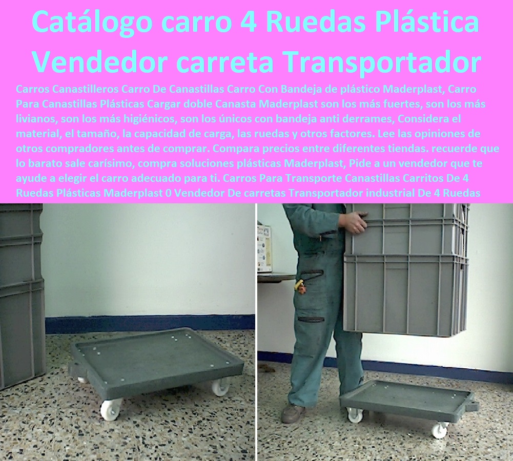 Carros Para Transporte Canastillas Carritos De 4 Ruedas Plásticas Maderplast 0 Vendedor De carretas Transportador industrial De 4 Ruedas Plásticas 0 Carro porta canastas supermercado De 4 Ruedas Plásticas 0 Catálogo De carro De 4 Ruedas Plásticas Carros Para Transporte Canastillas Carritos De 4 Ruedas Plásticas Maderplast 0 Vendedor De carretas Transportador industrial De 4 Ruedas Plásticas 0 Carro porta canastas supermercado De 4 Ruedas Plásticas 0 Catálogo De carro De 4 Ruedas Plásticas