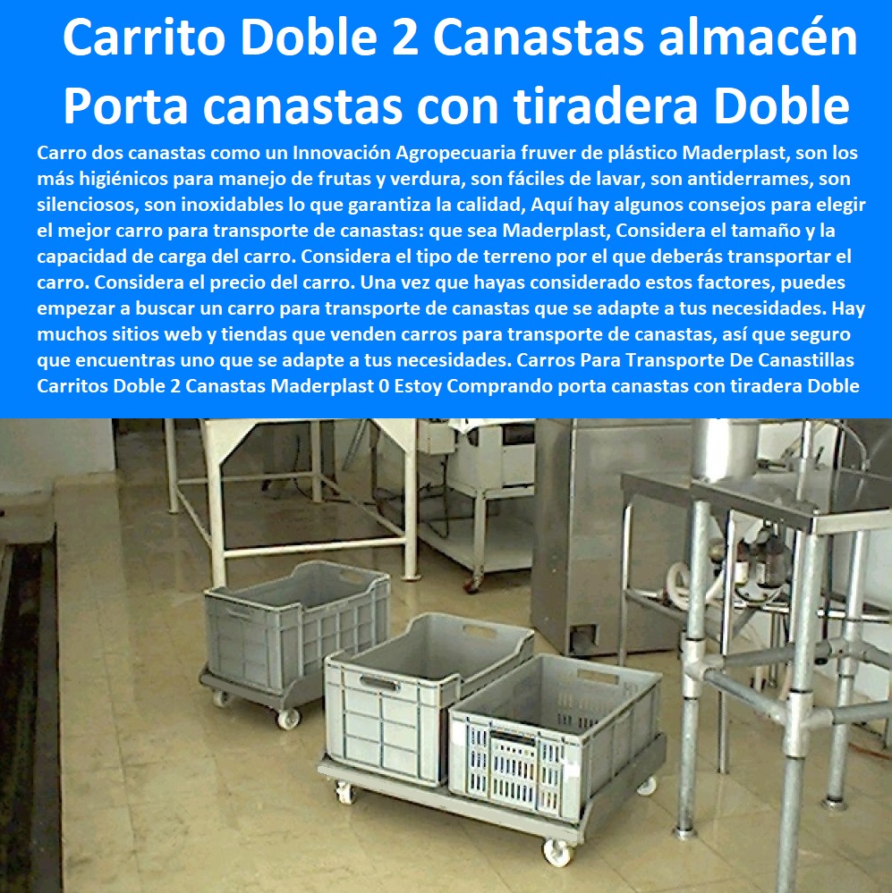 Carros Para Transporte De Canastillas Carritos Doble 2 Canastas Maderplast 0 FÁBRICA DE CARRITO DE TRANSPORTE MADERPLAST 0 Carretillas Industriales 0 Carro Plataforma 0 Carrito Manual De Carga 0  Carretilla De Carga 0 Carrito De Cocina De 3 Niveles 0 Carro Mini Surtidor De Plástico 0 Carritos Para Bidones. 0 Carretilla Plataforma Tambores 0 Carrito Auxiliar Restaurante 0 Diseño Y Fabricación Cajones 0 Carros Para Canastillas En Acero Inoxidable 0 Carreta Para Carga Canecas 0 Carros De Transporte 0 Zorra Para Transporte 0 Carretas De Carga Plegable 0 Carretilla De Carga Plegable 0 Estoy Comprando porta canastas con tiradera Doble 2 Canastas 0 carros porta canastas plásticas Doble 2 Canastas 0 carrito para canastillas de almacén Doble 2 Canastas 00 Carros Para Transporte De Canastillas Carritos Doble 2 Canastas Maderplast 0 Estoy Comprando porta canastas con tiradera Doble 2 Canastas 0 carros porta canastas plásticas Doble 2 Canastas 0 carrito para canastillas de almacén Doble 2 Canastas 00