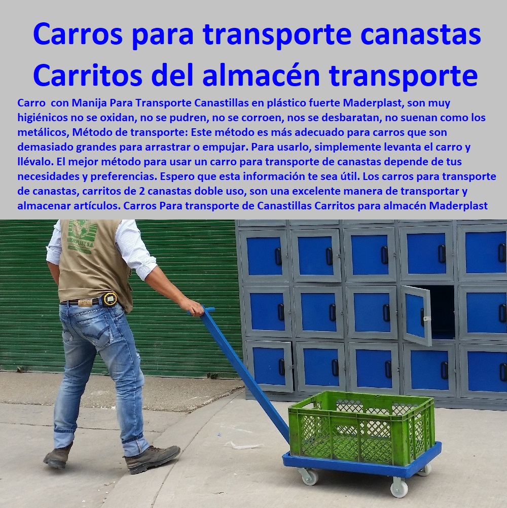 Carros Para transporte de Canastillas FÁBRICA DE CARRITO DE TRANSPORTE MADERPLAST 0 Carretillas Industriales 0 Carro Plataforma 0 Carrito Manual De Carga 0  Carretilla De Carga 0 Carrito De Cocina De 3 Niveles 0 Carro Mini Surtidor De Plástico 0 Carritos Para Bidones. 0 Carretilla Plataforma Tambores 0 Carrito Auxiliar Restaurante 0 Diseño Y Fabricación Cajones 0 Carros Para Canastillas En Acero Inoxidable 0 Carreta Para Carga Canecas 0 Carros De Transporte 0 Zorra Para Transporte 0 Carretas De Carga Plegable 0 Carretilla De Carga Plegable 0 Carritos para almacén Maderplast 0 0 Carrito para canastillas de hotel 0 carrito para canastillas plásticas 0 vender carretillas plásticas 0 Carros para el transporte de canastas 0 carrito para canastillas 00 Carros Para transporte de Canastillas Carritos para almacén Maderplast 0 0 Carrito para canastillas de hotel 0 carrito para canastillas plásticas 0 vender carretillas plásticas 0 Carros para el transporte de canastas 0 carrito para canastillas 00