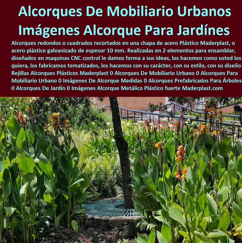 Rejillas Alcorques Plásticos Maderplast 0 Alcorques De Mobiliario Urbano 0 Alcorques Para Mobiliario Urbano 0 Imágenes De Alcorque Medidas 0 Alcorques Prefabricados Para Árboles 0 Alcorques De Jardín 0 Imágenes Alcorque Metálico Plástico 0 Rejillas Alcorques Plásticos Maderplast 0 Alcorques De Mobiliario Urbano 0 Alcorques Para Mobiliario Urbano 0 Imágenes De Alcorque Medidas 0 Alcorques Prefabricados Para Árboles 0 Alcorques De Jardín 0 Imágenes Alcorque Metálico Plástico
