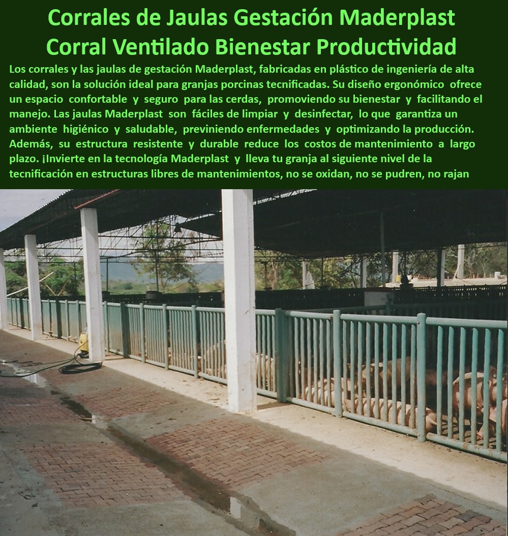 Corrales Para Granjas Porcinas Tipo Baranda Ventilada Maderplast Corrales Fáciles de Limpiar Barandas para Reducción de Estrés Animal en Cerdos Corrales Portátiles Sistemas de Confinamiento Control de Patógenos Sistemas Ajustables Barandas-Higiénicas-Porcicultura - Barandas ajustables para optimización de espacios porcinos - Bioseguridad-Eficiente-Para-Porcinas - ¿Cuáles son los beneficios de los corrales de polipropileno? - Corrales fáciles de limpiar y desinfectar - Materiales higiénicos para granjas porcinas modernas, - Paneles-Plásticos-Para-Granjas - Paneles plásticos resistentes a la intemperie - Confinamiento-Seguro-Y-Eficiente - Reducción-Estrés-Animal-En-Cerdos - Corrales portátiles para granjas tecnificadas - Sistemas sostenibles para instalaciones porcinas - ¿Qué corrales son mejores para el control de patógenos porcinos? - Corrales-Duraderos-Sin-Mantenimiento - Soluciones higiénicas para reducción de enfermedades porcinas - Materiales reciclables para granjas porcinas eficientes - ¿Cómo elegir sistemas de confinamiento ajustables para granjas? - Sistemas de confinamiento sin mantenimiento para cerdos - Barandas resistentes para confinamiento porcino - Diseño modular para corrales eficientes en granjas, - Paneles plásticos que facilitan la limpieza en granjas - Corrales ventilados para granjas porcinas tecnificadas - Soluciones modulares para bioseguridad en cerdos - ¿Qué barandas reducen el estrés animal en los cerdos? - Materiales avanzados para estructuras porcinas, - Soluciones-Modulares-En-Granjas - Corrales-Ventilados-Para-Cerdos - Corrales innovadores para maximizar el bienestar animal, - Barandas plásticas para reducción del estrés animal, - Diseño-Ajustable-En-Porcicultura - Corrales de alto rendimiento para granjas tecnificadas - Divisiones higiénicas para manejo de cerdos - Sistemas de confinamiento ajustables para cerdos - Barandas de polipropileno con normativas sanitarias - ¿Dónde encontrar corrales portátiles para cerdos? - Sistemas-De-Confinamiento-Avanzados - Paneles plásticos resistentes para manejo porcino - Estructuras resistentes a la humedad y corrosión, - Sistemas de control de patógenos en granjas porcinas - Jaulas de gestación duraderas y resistentes a la corrosión Corrales Para Granjas Porcinas Tipo Baranda Ventilada Maderplast - Corrales Fáciles de Limpiar - Barandas para Reducción de Estrés Animal en Cerdos - Corrales Portátiles - Sistemas de Confinamiento Control de Patógenos - Sistemas Ajustables