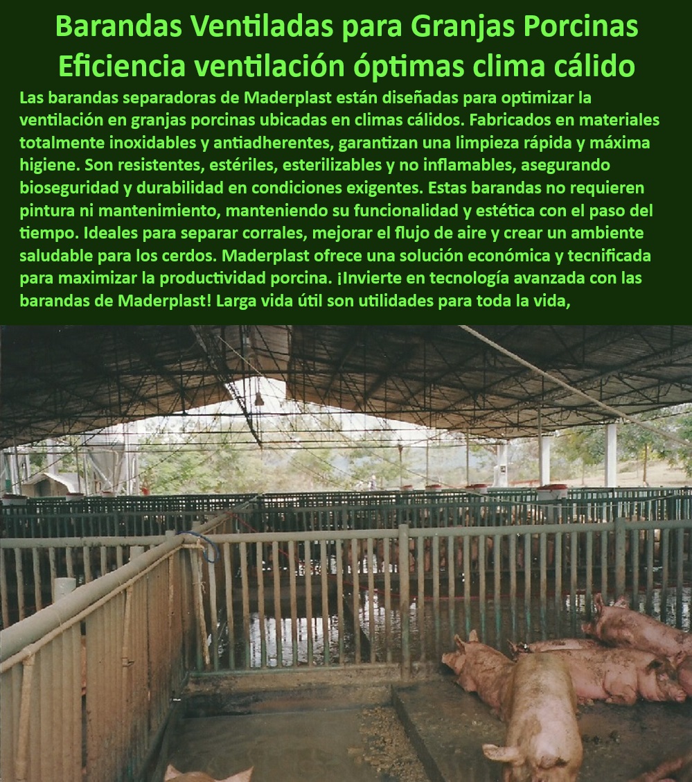 Corrales Para Granjas Porcinas Tipo Baranda Ventilada Maderplast Divisiones para Corrales Barandas para granjas Corrales Económicos Corrales Porcinos con Separadores Flexibles y Duraderos Barandas con Superficie Antibacteriana PP Barandas diseñadas para maximizar la ventilación en corrales, - ¿Qué opciones de corrales sin mantenimiento existen para granjas porcinas? - Materiales plásticos antibacterianos para manejo porcino, - Corrales plásticos con diseño de flujo de aire eficiente, - Divisiones plásticas duraderas para maternidades porcinas, - Separadores modulares higiénicos para corrales de engorde, - Soluciones-Sostenibles-En-Porcicultura , - Sistemas-Modulares-Bioseguridad - Barandas ventiladas para granjas porcinas en clima cálido, - Barandas modulares de instalación rápida y segura, - ¿Cuáles son los mejores corrales plásticos para cerdos en clima cálido? , - Materiales-Antibacterianos-Para-Corrales - Sistemas de ventilación eficientes para corrales porcinos, - Corrales económicos para granjas porcinas tecnificadas, - Separadores-Duraderos-Porcicultura - Separadores porcinos resistentes y fáciles de esterilizar, - Barandas-Para-Ambientes-Corrosivos - Barandas flexibles y duraderas para porcicultura avanzada, - ¿Cómo mejorar la ventilación en corrales de engorde porcino? - Divisiones de corrales con certificación en bioseguridad, - Sistemas económicos y duraderos para granjas tecnificadas, - Corrales-Plásticos-Económicos - Barandas para corrales libres de mantenimiento continuo, - Soluciones en corrales para optimizar la ventilación, - ¿Dónde encontrar barandas resistentes para corrales porcinos? - Separadores higiénicos para optimizar la productividad animal, - Divisiones económicas para sistemas de engorde porcino, - Estructuras-Resistentes-Para-Granjas - Barandas para cerdos con resistencia a rayos UV, - Corrales-Con-Ventilación-Eficiente - Soluciones plásticas para bioseguridad en granjas tecnificadas, - Barandas-Modulares-Porcinas - Sistemas modulares para bioseguridad en porcicultura, - Corrales para cerdos diseñados para climas extremos, - Corrales anticorrosivos para granjas sostenibles, - ¿Qué barandas modulares son ideales para bioseguridad porcina? - Divisiones de corrales plásticos con superficie antibacteriana, - Divisiones-Higiénicas-Para-Cerdos - Materiales innovadores para instalaciones porcinas seguras, - Barandas resistentes a ambientes ácidos y corrosivos Corrales Para Granjas Porcinas Tipo Baranda Ventilada Maderplast  - Divisiones para Corrales - Barandas para granjas - Corrales Económicos - Corrales Porcinos con Separadores Flexibles y Duraderos - Barandas con Superficie Antibacteriana PP