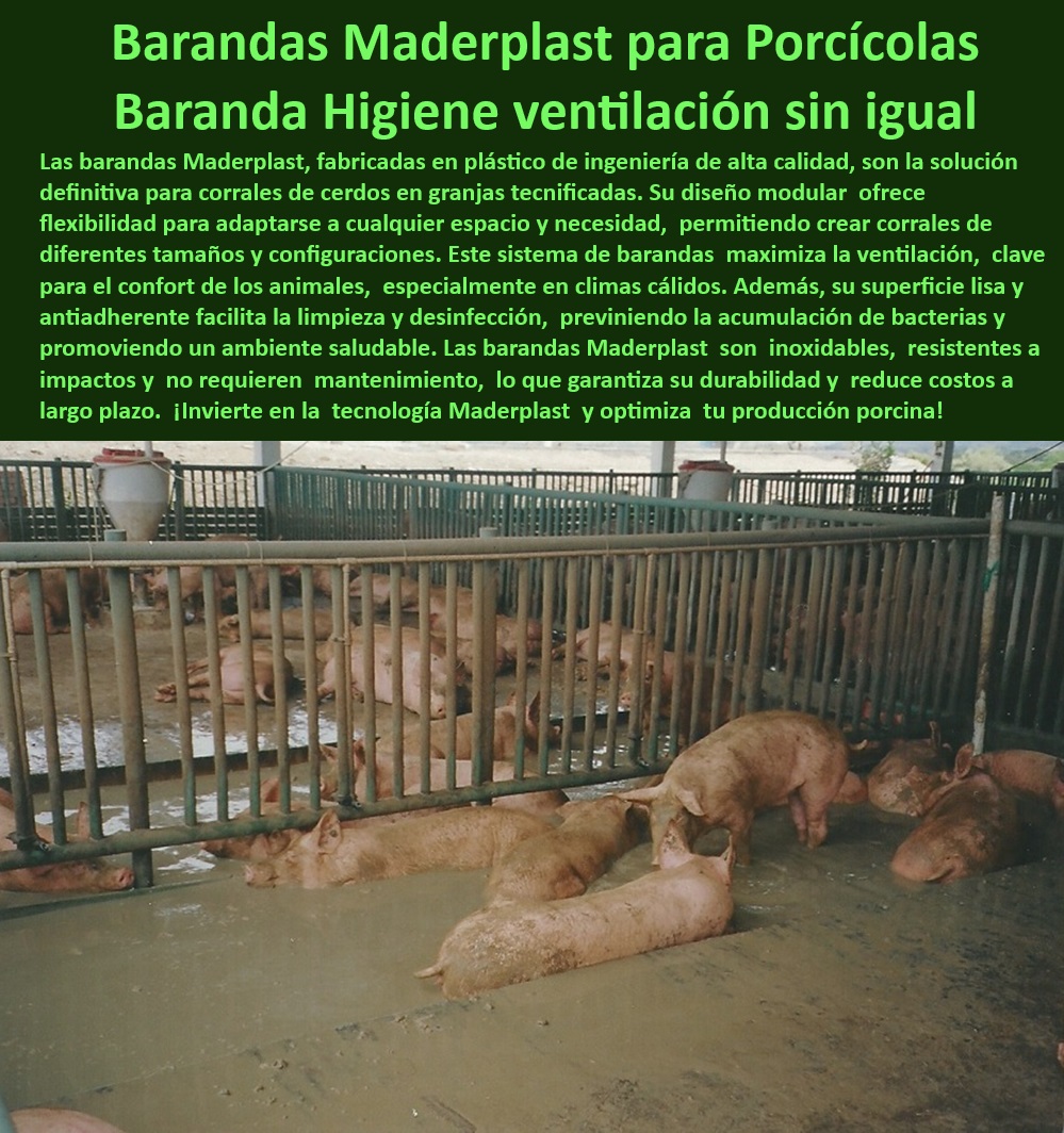 Corrales Para Granjas Porcinas Tipo Baranda Ventilada Maderplast Sistemas Modulares para Divisiones de Corrales de Cerdos Divisiones para Granjas Corrales de Engorde Sistemas de Barandas Adaptables para Crecimiento Porcino Baranda Divisiones higiénicas para maximizar la productividad porcina, - Sistemas Modulares-Porcinos - ¿Dónde comprar sistemas modulares para engorde porcino? - Corrales con superficies antiadherentes y fáciles de limpiar, - Sistemas modulares para corrales de cerdos en granjas tecnificadas, - Barandas modulares sin mantenimiento para granjas tecnificadas, - Sistemas de separación de corrales resistentes a impactos, - Barandas de alta resistencia para ambientes húmedos y ácidos, - Corrales plásticos eficientes para engorde y reproducción porcina, - Sistemas de bioseguridad para producción porcina tecnificada, - Corrales para cerdos con diseño de ventilación óptima, - Corrales económicos para engorde de cerdos en clima cálido, - Materiales ecológicos para instalaciones sostenibles en porcicultura, - ¿Qué barandas higiénicas y duraderas recomiendan para granjas porcinas? - Soluciones duraderas para reducir costos operativos en granjas, - Sistemas-Adaptables-Granjas - Barandas para optimizar el flujo de aire en corrales porcinos, - ¿Cuáles son las mejores divisiones modulares para corrales de cerdos? , - Soluciones-Plásticas-Granjas - Divisiones económicas para manejo de cerdos en granjas modernas, - Materiales anticorrosivos para instalaciones porcinas modernas, - Barandas-Resistentes-Porcicultura , - Divisiones-Económicas-Porcinas - Divisiones porcinas con protección contra bacterias y hongos, - Barandas-Ventiladas-Cerdos - Divisiones de corrales plásticos resistentes y adaptables, - Barandas para granjas que cumplen normas sanitarias internacionales, - Barandas ventiladas para granjas porcinas con bioseguridad, - Soluciones plásticas para manejo eficiente en granjas porcinas, - Corrales-Con-Bioseguridad - Sistemas modulares de barandas para climas extremos, - Divisiones desmontables para instalaciones porcinas personalizadas, - ¿Cómo mejorar la ventilación en corrales de cerdos? , - Divisiones-Higiénicas-Cerdos , - Corrales-Antibacterianos - Sistemas adaptables para corrales de engorde en porcicultura, - Sistemas de barandas con superficies lisas antibacterianas, - Divisiones ligeras y resistentes para estructuras de porcicultura, - Estructuras-Porcinas-Modulares - ¿Qué materiales son ideales para corrales en climas cálidos? Corrales Para Granjas Porcinas Tipo Baranda Ventilada Maderplast - Sistemas Modulares para Divisiones de Corrales de Cerdos - Divisiones para Granjas - Corrales de Engorde - Sistemas de Barandas Adaptables para Crecimiento Porcino - Baranda