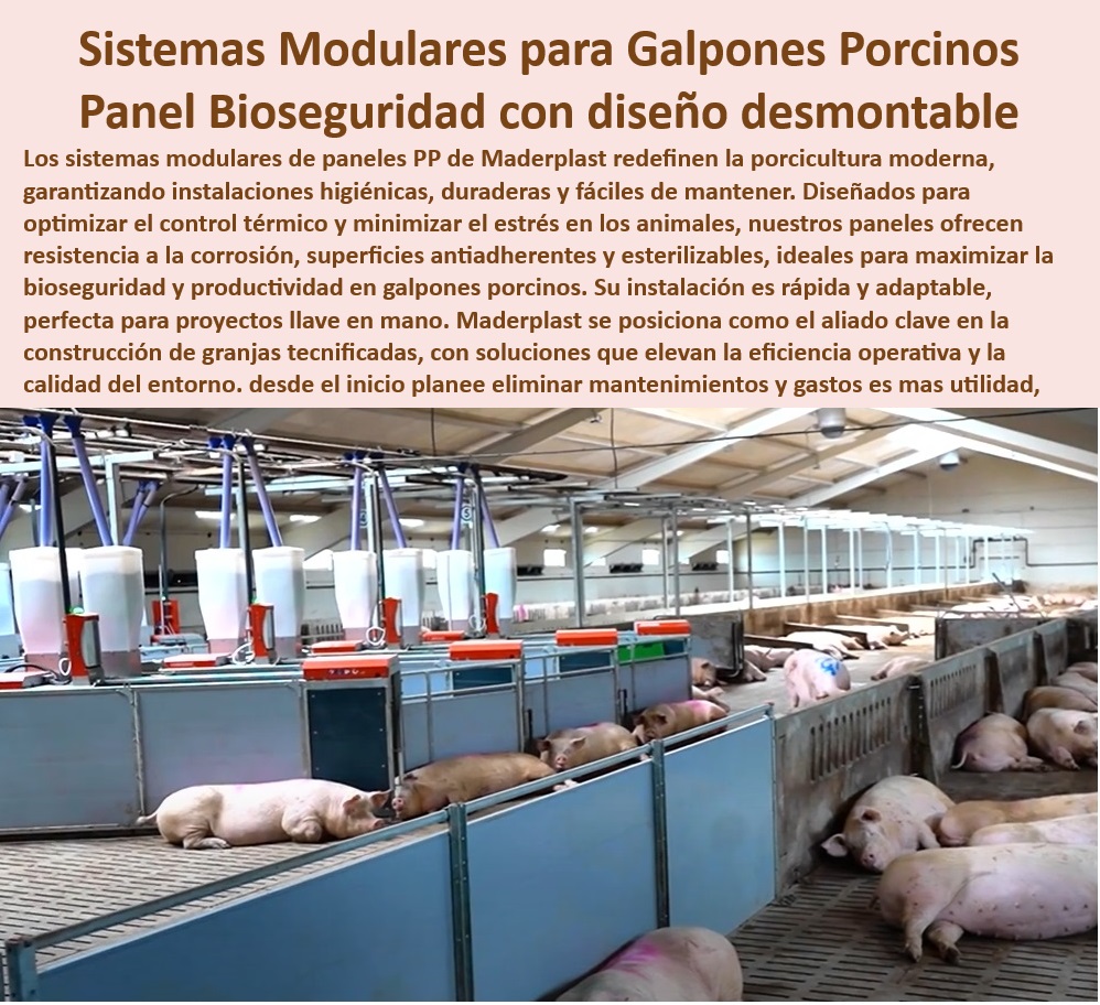 Diseño Infraestructuras Porcícolas División Corrales Placas Paneles Maderplast Diseño de galpones para climas extremos Construcción de sistemas modulares para climas extremos Innovación en paneles desmontables para manejo porcino PP Soluciones plasticas resistentes para granjas modernas - Diseño modular para optimización de granjas de cerdos, - Corrales-Plásticos-De-Fácil-Limpieza - Reducción de costos con infraestructuras plásticas duraderas - Innovación en materiales plásticos para galpones modernos, - Diseño-Modular-En-Manejo-Porcino , - Materiales-Resistentes-Para-Climas-Extremos - Innovación en infraestructuras porcinas con bioseguridad - Paneles para corrales higiénicos y de fácil limpieza, - Innovación-En-Bioseguridad-Agrícola , - Bioseguridad-Avanzada-Para-Granjas - Materiales anticorrosivos para sistemas de bioseguridad, - Infraestructura sostenible con sistemas plásticos avanzados - Diseño inteligente de sistemas para manejo porcino eficiente, - Infraestructura-Sostenible-Porcina - Soluciones modulares para climas extremos en porcicultura , - Infraestructura-Modular-Para-Granjas - Instalaciones desmontables con bioseguridad certificada, - Soluciones-Plásticas-Tecnificadas - Paneles plásticos antiadherentes para higiene agrícola - Paneles plásticos desmontables para corrales higiénicos, - Diseño eficiente de galpones para manejo porcino, - Paneles higiénicos y resistentes para galpones porcinos, - Sistemas modulares para granjas porcinas tecnificadas - ¿Qué materiales ofrecen resistencia a la corrosión en infraestructura agrícola? - Soluciones tecnificadas para climas extremos en granjas - ¿Dónde encontrar paneles plásticos desmontables para galpones de cerdos? - Materiales reciclables para infraestructura porcina sostenible - Corrales desmontables con control térmico eficiente , - Sistemas-Modulares-Para-Porcicultura - Placas plásticas reciclables para instalaciones agrícolas, - Construcción modular sostenible para granjas tecnificadas - ¿Cómo construir granjas porcinas sostenibles y tecnificadas? - Construcción rápida de granjas porcinas desmontables, - ¿Qué paneles plásticos son ideales para climas extremos? , - Paneles-Plásticos-Desmontables - Paneles resistentes a la corrosión y fácil instalación, - ¿Cuáles son los mejores sistemas modulares para granjas porcinas? - Sistemas de manejo porcino adaptables y desmontables - Bioseguridad avanzada para granjas porcinas tecnificadas Diseño Infraestructuras Porcícolas División Corrales Placas Paneles Maderplast - Diseño de galpones para climas extremos - Construcción de sistemas modulares para climas extremos - Innovación en paneles desmontables para manejo porcino - PP