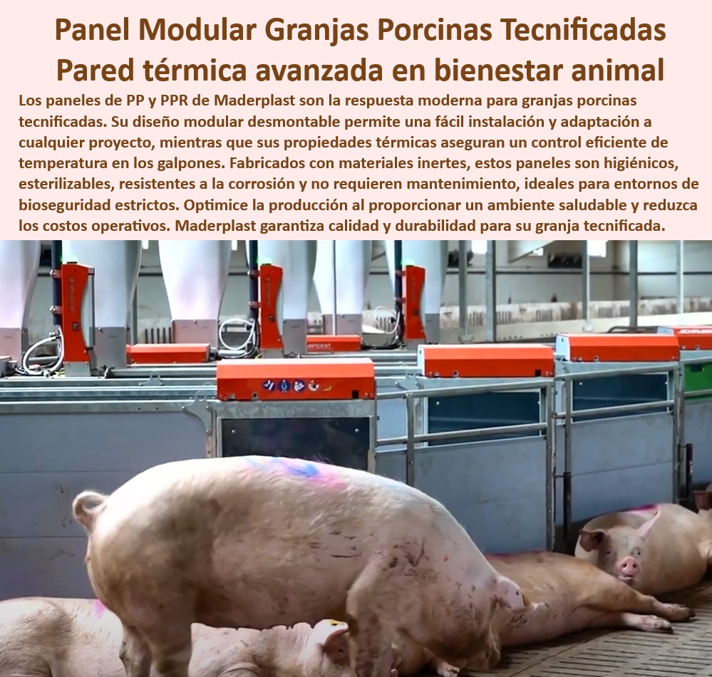 Diseño Infraestructuras Porcícolas División Corrales Placas Paneles Maderplast Diseños rápidos y eficientes en infraestructura porcina Paneles plásticos desmontables fáciles de limpiar Cómo mejorar el aislamiento en galpones porcinos Soluciones modulares para manejo eficiente en porcicultura , - Soluciones-Sostenibles-En-Porcicultura - Sistemas de alta durabilidad para galpones de cerdos - ¿Qué materiales son ideales para bioseguridad en granjas porcinas? - Sistemas desmontables con aislamiento térmico avanzado - Paneles térmicos para optimizar el bienestar animal en granjas - ¿Qué sistemas plásticos ofrecen mayor durabilidad para el manejo porcino? - ¿Cómo reducir costos operativos en galpones tecnificados para cerdos? - Innovación en diseño de galpones para climas extremos, - Bioseguridad-En-Manejo-Porcino , - Sistemas-Plásticos-Duraderos , - Innovación-En-Porcicultura-Sostenible - Paneles resistentes a la corrosión para instalaciones porcinas, - Materiales anticorrosión para galpones porcinos sostenibles - Paneles livianos y resistentes para infraestructura porcina , - Aislamiento-Térmico-Para-Granjas - Soluciones avanzadas para infraestructura de manejo porcino - Paneles plásticos especializados para climas extremos en granjas - Soluciones inteligentes para reducir costos en granjas porcinas - Paneles desmontables para galpones porcinos higiénicos - Infraestructura plástica para granjas porcinas tecnificadas - Construcción rápida con paneles desmontables para porcicultura - Diseño modular sostenible para bioseguridad porcina, - Paneles desmontables adaptables a cualquier proyecto porcícola , - Diseño-Moderno-Para-Granjas , - Paneles-Anticorrosión-Para-Galpones - Paneles plásticos fáciles de limpiar para granjas porcinas , - Paneles-Térmicos-Para-Porcicultura - Soluciones higiénicas para manejo de cerdos tecnificados , - Infraestructura-Modular-Higiénica - Sistemas modulares con control térmico para bienestar animal, - Tecnología en bioseguridad para manejo porcino moderno - Materiales plásticos resistentes a la humedad para galpones, - ¿Cuáles son los beneficios de paneles térmicos en infraestructura porcina? - ¿Dónde puedo encontrar paneles desmontables para galpones porcinos? - Materiales plásticos duraderos para granjas modernas, - Construcción-Eficiente-Para-Cerdos - Construcción sostenible con paneles plásticos en porcicultura - Materiales plásticos reciclables para instalaciones agrícolas, - Instalaciones porcinas eficientes con ahorro energético Diseño Infraestructuras Porcícolas División Corrales Placas Paneles Maderplast - Diseños rápidos y eficientes en infraestructura porcina - Paneles plásticos desmontables fáciles de limpiar - Cómo mejorar el aislamiento en galpones porcinos