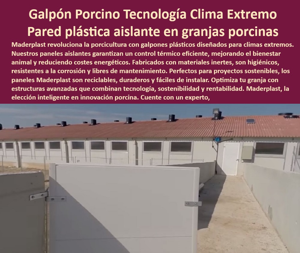 Edificaciones Porcinas Última Tecnología Galpones Porcinos Maderplast Construcción eficiente en climas extremos porcinos Paneles plásticos higiénicos para instalaciones porcinas Construcción instalaciones térmicas producción porcina Paneles desmontables para proyectos porcinos, - Bioseguridad-Porcina-Avanzada, - Paneles desmontables para bioseguridad en granjas, - Paneles higiénicos para producción sostenible, - Sistemas aislantes para producción porcina, - Paneles-Plásticos-Aislantes, - Galpones modernos con materiales avanzados, - Instalaciones porcinas higiénicas y duraderas, - Construcción eficiente de galpones modernos, - Construcción modular para climas adversos, - Soluciones innovadoras en producción porcina, - ¿Qué paneles higiénicos son ideales para porcicultura? - Construcción rentable para climas extremos, - Paneles térmicos para climas extremos, - Diseños-Modulares-Granjas, - ¿Cuáles son los mejores materiales para galpones porcinos? - Galpones porcinos resistentes a la corrosión, - 10 Hashtags Mejorados con Guión al Medio - Paneles plásticos amigables con el medio ambiente, - ¿Cómo construir galpones resistentes al clima extremo? - ¿Qué solución térmica es eficiente para instalaciones porcinas? - ¿Dónde comprar paneles desmontables para granjas porcinas? - Diseños personalizados para granjas porcinas modernas, - Paneles-Higiénicos-Porcinos, - Galpones porcinos sin necesidad de mantenimiento, - Galpones plásticos con control climático eficiente, - Construcción-Eficiente-Porcicultura, - Materiales reciclables para granjas tecnificadas, - Materiales-Reciclables-Porcinos, - Estructuras avanzadas para granjas porcinas, - Control-Térmico-Galpones, - Infraestructura adaptable para proyectos porcinos, - Galpones-Modulares-Porcinos, - Galpones de cerdos con mínimo mantenimiento, - Eficiencia térmica en instalaciones porcinas, - Infraestructura-Porcina-Moderna, - Producción-Porcina-Sostenible, - 5 Búsquedas por Voz Comunes - Paneles reciclables para infraestructuras porcinas, - Diseños modulares para granjas de cerdos, - Infraestructura sostenible en porcicultura avanzada, - Construcción higiénica para cerdos en galpones. Edificaciones Porcinas Última Tecnología Galpones Porcinos Maderplast - Construcción eficiente en climas extremos porcinos - Paneles plásticos higiénicos para instalaciones porcinas - Construcción instalaciones térmicas producción porcina
