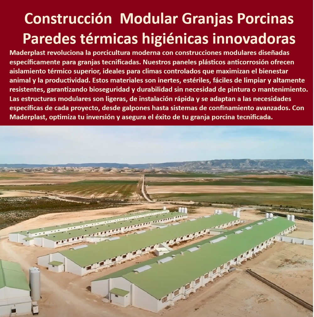 Edificaciones Porcinas Última Tecnología Galpones Porcinos Maderplast Cómo elegir paneles plásticos para granjas Qué materiales usar en granjas porcinas Paneles térmicos fácil de instalar para cerdos Construcción rápida de galpones Construcción eficiente y sostenible para granjas porcinas, - Paneles-Térmicos-Para-Porcicultura - Construcción sostenible para porcicultura moderna - Construcción-Sostenible-Para-Cerdos - Instalación rápida de galpones resistentes - Paneles ligeros de rápida instalación para cerdos - Bioseguridad avanzada con paneles de Maderplast - ¿Cómo instalar paredes plásticas para galpones de cerdos? - Construcción modular para galpones de cerdos, - Innovación-En-Granjas-Tecnificadas - Soluciones avanzadas para bioseguridad en cerdos - ¿Cuáles son los mejores paneles térmicos para galpones porcinos? - Aislamiento térmico superior en galpones porcinos - Estructuras plásticas resistentes a climas extremos, - Diseño higiénico en paneles para galpones porcinos, - Materiales anticorrosión para granjas tecnificadas - ¿Dónde comprar construcciones modulares para granjas tecnificadas? - Diseño-Higiénico-Para-Galpones - Aislamiento-Térmico-Porcicultura - Paneles plásticos esterilizables para granjas porcinas - Materiales-Anticorrosión-Granjas - Innovación en construcción de granjas tecnificadas - ¿Qué materiales usar para construir una granja porcina moderna? - Infraestructura-Porcina-Duradera - Paredes plásticas que optimizan la productividad animal, - Sistemas de confinamiento modular para cerdos - Edificaciones modernas para granjas de porcicultura - Paredes plásticas aislantes para climas controlados, - Estructuras-Plásticas-Para-Granjas - Infraestructura térmica para granjas porcinas avanzadas - Construcción modular de granjas con bioseguridad - Soluciones-Bioseguridad-Porcinas - Innovación en materiales plásticos para galpones de cerdos, - Construcción-Modular-Galpones-Porcinos - Infraestructura porcina con paneles higiénicos, - ¿Qué ventajas ofrecen los paneles plásticos para granjas porcinas? - Soluciones térmicas para manejo de cerdos tecnificados - Paredes higiénicas para galpones porcinos - Paneles térmicos para granjas porcinas eficientes - Galpones de alta durabilidad sin mantenimiento Edificaciones Porcinas Última Tecnología Galpones Porcinos Maderplast - Cómo elegir paneles plásticos para granjas - Qué materiales usar en granjas porcinas - Paneles térmicos fácil de instalar para cerdos - Construcción rápida de galpones