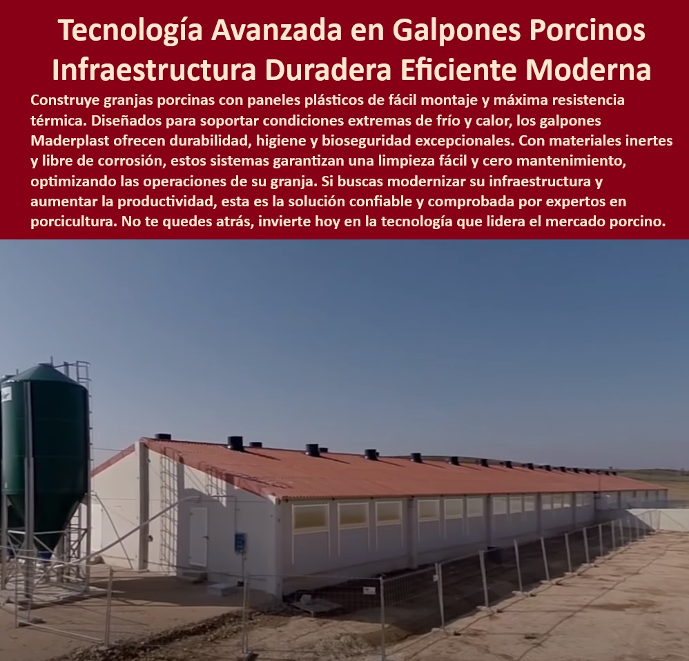 Edificaciones Porcinas Última Tecnología Galpones Porcinos Maderplast Estructuras térmicas para producción porcina eficiente Construcción de galpones térmicos para cerdos Sistemas plásticos resistentes para instalaciones porcinas PP Estructuras plásticas higiénicas para granjas de cerdos, - Producción-Porcina-Sostenible. - Sistemas plásticos duraderos para granjas de producción porcina. - ¿Cuáles son las mejores soluciones para bioseguridad porcina? - Soluciones térmicas innovadoras para porcicultura tecnificada. - Construcción sostenible de granjas porcinas tecnificadas. - Galpones térmicos para producción porcina moderna. - Estructuras modulares para climas extremos en porcicultura, - Tecnología-Térmica-Porcicultura. - Galpones de cerdos resistentes a condiciones climáticas, - Infraestructura-Porcina-Moderna, - Paneles-Higiénicos-Porcinos. - ¿Dónde encontrar estructuras modulares para porcicultura? - Sistemas plásticos higiénicos para granjas de cerdos. - Infraestructura avanzada en producción porcina sostenible. - Paneles reciclables con bioseguridad para granjas porcinas. - ¿Qué sistemas térmicos se recomiendan para granjas porcinas? - Soluciones de bioseguridad para granjas porcinas tecnificadas. - Galpones modulares adaptados a necesidades porcinas. - Materiales reciclables y sostenibles para infraestructura porcina. - Paneles plásticos resistentes para instalaciones porcinas. - Diseños de galpones plásticos para climas adversos, - Galpones-Térmicos-Porcinos. - Materiales anticorrosivos para galpones porcinos eficientes, - Bioseguridad-En-Granjas-Porcinas. - Construcción modular de bajo mantenimiento para porcicultura. - ¿Qué paneles son ideales para galpones de cerdos? - Galpones desmontables para optimización en granjas porcinas. - Tecnología avanzada en estructuras porcinas higiénicas. - Diseños personalizados para optimización en granjas porcinas. - Galpones tecnificados con control térmico eficiente. - ¿Cómo construir galpones resistentes a climas extremos? - Sistemas eficientes para producción porcina de alta calidad, - Diseños-Modulares-Galpones, - Estructuras-Modulares-Porcinas, - Construcción-Eficiente-Porcina. - Paneles resistentes al desgaste para galpones modernos, - Sistemas-Plásticos-Resistentes. - Instalaciones higiénicas y eficientes para granjas modernas. - Construcción innovadora de granjas porcinas tecnificadas. Edificaciones Porcinas Última Tecnología Galpones Porcinos Maderplast - Estructuras térmicas para producción porcina eficiente - Construcción de galpones térmicos para cerdos - Sistemas plásticos resistentes para instalaciones porcinas - PP