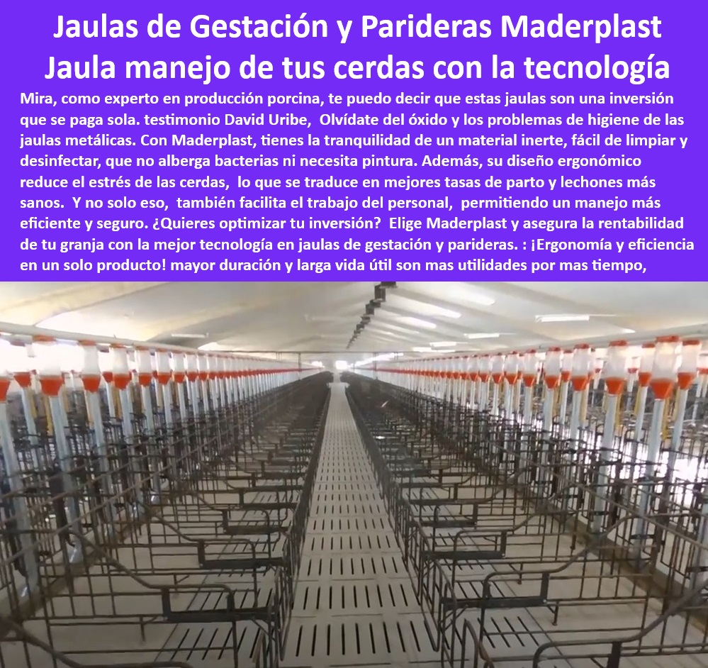 Jaulas De Inseminación Y Gestación Porcina Corral Maternidad Cerdas Maderplast Corrales de maternidad para granjas modernas sistemas de maternidad cerdos Jaulas practicas para maternidad de cerdas Sistemas de confinamiento eficiente ¿Dónde puedo encontrar sistemas de maternidad modernos para cerdos? - Corrales de larga duración para maternidad porcina. - Jaulas tecnológicas para cerdas en gestación. - Sistemas innovadores de bioseguridad en granjas porcinas. - -Jaulas-Eficientes-Y-Anticorrosivas. - Jaulas para optimizar las tasas de parto en porcicultura. - Diseño higiénico para instalaciones porcinas tecnificadas. - Infraestructura avanzada para manejo porcino eficiente. - Jaulas plásticas higiénicas y ergonómicas para cerdas. - Diseño modular en jaulas para granjas sostenibles. - Corrales de fácil instalación para granjas modernas. - Jaulas económicas y duraderas para cerdas gestantes. - -Soluciones-De-Confinamiento-Porcino. - Jaulas tecnificadas que reducen costos en porcicultura. - Corrales de parto seguros y eficientes para cerdas. - -Jaulas-De-Maternidad-Moderna. - -Corrales-Higiénicos-Para-Cerdas. - Soluciones de confinamiento higiénico para cerdas preñadas. - Corrales de maternidad resistentes y fáciles de limpiar. - Infraestructura sostenible para manejo de maternidad porcina. - Sistemas modulares eficientes para maternidad de cerdos. - ¿Qué jaulas ayudan a reducir el estrés en cerdas gestantes? - -Manejo-Eficiente-En-Porcicultura. - -Jaulas-Duraderas-Y-Sostenibles. - Sistemas de maternidad para porcicultura moderna. - Jaulas personalizadas para aumentar la productividad porcina. - Soluciones plásticas para manejo de cerdas preñadas. - -Sistemas-De-Gestación-Porcina. - Sistemas de confinamiento para cerdas preñadas sin estrés. - ¿Cuáles son las mejores jaulas para maternidad de cerdos? - -Infraestructura-Para-Maternidad-Porcina. - Infraestructura plástica avanzada para producción porcina. - ¿Cómo elegir jaulas higiénicas para maternidad porcina? - Sistemas de gestación porcina de bajo mantenimiento. - -Diseño-Higiénico-En-Porcicultura. - ¿Qué beneficios ofrecen las jaulas plásticas para cerdas preñadas? - Jaulas anticorrosivas para granjas tecnificadas. - Equipos innovadores para reproducción en porcicultura. - -Tecnología-Para-Granjas-Porcinas. - Jaulas ergonómicas para maternidad y parideras porcinas. Jaulas De Inseminación Y Gestación Porcina Corral Maternidad Cerdas Maderplast - Corrales de maternidad para granjas modernas - sistemas de maternidad cerdos - Jaulas practicas para maternidad de cerdas - Sistemas de confinamiento eficiente
