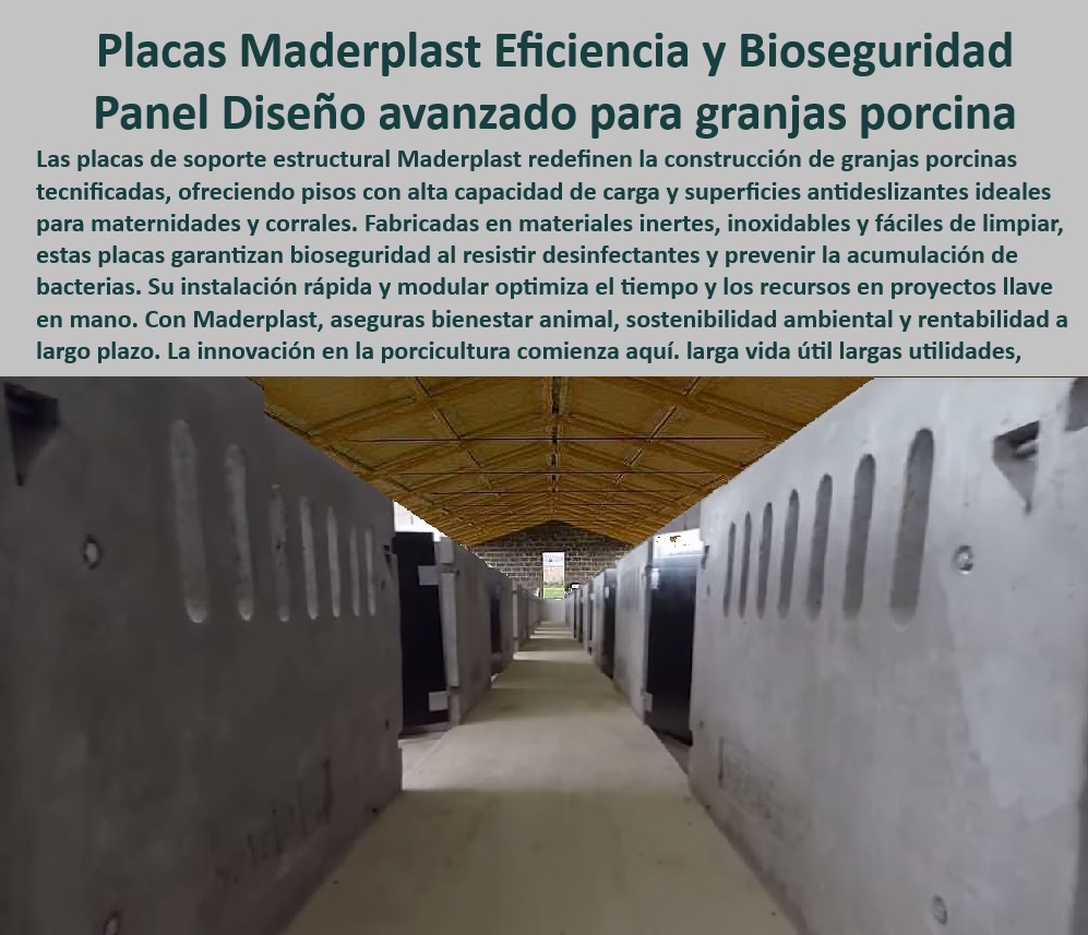 Paneles Plásticos Porcícolas Placas Higiénicas Granjas De Cerdos Maderplast Paneles térmicos que maximizan la eficiencia operativa Placas evitar lesiones por deslizamiento en cerdos Cómo mejorar la bioseguridad en granjas porcinas PP ¿Qué paneles térmicos son ideales para granjas de cerdos? , - Materiales-Sostenibles-En-Porcicultura - Pisos plásticos para minimizar enfermedades porcinas, - Infraestructura-Moderna-Para-Cerdos - Placas de soporte estructural para granjas sostenibles, - Placas-Modulares-De-Bioseguridad , - Materiales-Innovadores-Para-Granjas , - Paneles-Térmicos-Para-Granjas - Placas modulares para proyectos llave en mano, - Paneles térmicos que reducen los costos de mantenimiento, - ¿Cómo mejorar la bioseguridad en corrales porcinos modernos? - ¿Cómo optimizar la limpieza en corrales de cerdos tecnificados? - Pisos resistentes para prevenir la acumulación de residuos, - Soluciones-Higiénicas-Para-Corrales - Pisos de polipropileno para maternidades porcinas seguras, - Materiales reciclables para infraestructuras tecnificadas, - Placas de bioseguridad para instalaciones porcinas eficientes, - ¿Qué pisos antideslizantes recomiendan para maternidades porcinas? - Materiales resistentes al desgaste para corrales de cerdos, - Materiales sostenibles para infraestructura de granjas, - Pisos-Plásticos-Resistentes - Pisos de fácil limpieza para corrales tecnificados, - Materiales ligeros y duraderos para instalaciones porcícolas, - Paneles-Eficiencia-Bioseguridad - Paneles perforados para mejorar la ventilación en corrales, - Placas sostenibles que cumplen con las normativas internacionales, - Placas higiénicas resistentes a desinfectantes químicos, - Paneles plásticos que maximizan la eficiencia operativa, - Soluciones antideslizantes para granjas porcinas avanzadas, - Soluciones innovadoras para mejorar el bienestar animal, - Pisos-Fácil-Limpieza-Porcinos - Materiales anticorrosivos para instalaciones porcinas modernas, - Soluciones higiénicas para prevenir la acumulación de bacterias, - Pisos térmicos para maximizar la productividad en porcicultura, - Pisos modulares diseñados para la bioseguridad porcina, - Paneles térmicos para granjas porcinas tecnificadas, - Pisos antideslizantes para prevenir lesiones en cerdos, - Pisos-Antideslizantes-Porcinos - ¿Dónde encontrar placas plásticas para granjas tecnificadas? - Soluciones modulares para optimizar el espacio en granjas. Paneles Plásticos Porcícolas Placas Higiénicas Granjas De Cerdos Maderplast - Paneles térmicos que maximizan la eficiencia operativa - Placas evitar lesiones por deslizamiento en cerdos - Cómo mejorar la bioseguridad en granjas porcinas PP
