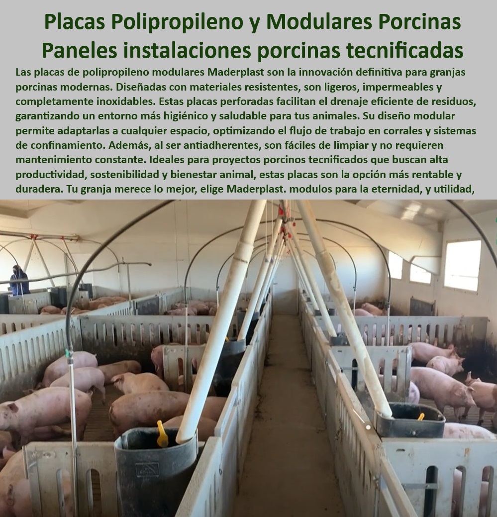 Paneles Plásticos Porcícolas Placas Higiénicas Granjas De Cerdos Maderplast Placas para reducir el impacto ambiental en granjas tecnificadas Placas impermeables que facilitan la limpieza en granjas Paneles plásticos manejo higiénicos Paneles modulares que cumplen con las normativas internacionales, - Placas plásticas adaptables a espacios personalizados, - Placas plásticas que maximizan la productividad en granjas, - Divisiones-Plásticas-Higiénicas , - Soluciones-De-Confinamiento-Porcino - Paneles para instalaciones porcinas libres de mantenimiento, - Divisiones plásticas que reducen costos operativos en granjas, - Materiales duraderos para granjas porcinas sostenibles, - Soluciones de confinamiento modular para porcicultura moderna, - Placas perforadas que facilitan el drenaje en corrales, - Divisiones plásticas resistentes a la corrosión, - Soluciones higiénicas y sostenibles para sistemas de confinamiento, - Bioseguridad-En-Granjas , - Materiales-Higiénicos-Porcinos , - Placas-Impermeables-Duraderas , - Placas-Plásticas-Anticorrosivas - ¿Qué paneles son ideales para reducir el mantenimiento en granjas? - ¿Cuáles son las mejores placas higiénicas para granjas de cerdos? , - Paneles-Modulares-Sostenibles - ¿Dónde comprar divisiones plásticas resistentes para porcicultura? - Materiales anticorrosivos para ambientes húmedos y extremos, - Placas de polipropileno para corrales de cerdos modernos, - Paneles-Resistentes-Corrales - Divisiones de polipropileno con alta resistencia mecánica, - Paneles ligeros y de fácil limpieza para corrales, - Soluciones modulares para granjas tecnificadas eficientes, - Divisiones modulares para corrales higiénicos, - Divisiones-Para-Porcicultura-Tecnificada - Divisiones plásticas diseñadas para el bienestar animal, - Placas impermeables para zonas húmedas en granjas, - Placas Modulares Porcinas - Paneles plásticos con propiedades antibacterianas avanzadas, - Soluciones plásticas que optimizan el flujo de trabajo, - Divisiones resistentes a agentes químicos en porcicultura, - ¿Cómo mejorar la bioseguridad en corrales porcinos? - Placas antibacterianas que previenen el estrés térmico, - Paneles modulares higiénicos para granjas tecnificadas, - Soluciones de bioseguridad para instalaciones porcinas, - Paneles sostenibles para reducir el impacto ambiental en granjas, - ¿Qué materiales son más duraderos para instalaciones porcinas modernas? Paneles Plásticos Porcícolas Placas Higiénicas Granjas De Cerdos Maderplast - Placas para reducir el impacto ambiental en granjas tecnificadas - Placas impermeables que facilitan la limpieza en granjas - Paneles plásticos manejo higiénicos