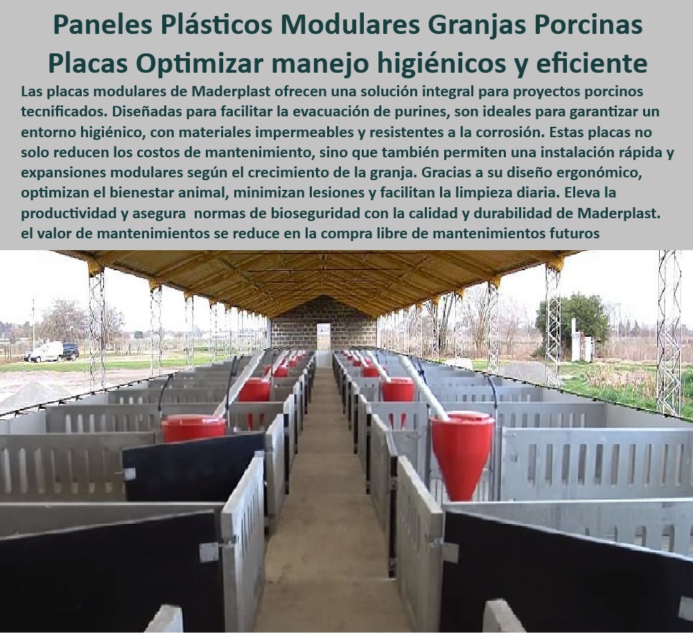 Paneles Plásticos Porcícolas Placas Higiénicas Granjas De Cerdos Maderplast Suelos modulares de larga vida útil para porcicultura Placas modulares de polipropileno corrales Sistemas fáciles manejo de purines porcinos Paneles Plásticos Placas higiénicas de polipropileno para corrales de cerdos, - Soluciones de manejo higiénico para corrales porcinos, - Sistemas-De-Purines-Eficientes - Paneles plásticos modulares para granjas tecnificadas, - ¿Qué materiales plásticos son mejores para bioseguridad en granjas? - Soluciones higiénicas para optimizar el bienestar en porcicultura, - Paneles-De-Polipropileno-Modulares - Divisiones impermeables que facilitan el flujo de trabajo, - Placas plásticas para mejorar la productividad en corrales porcinos, - Placas impermeables para ambientes húmedos en porcicultura, - Paneles plásticos que minimizan costos operativos en granjas, - Divisiones-Para-Instalaciones-Porcinas - Paneles modulares de alta resistencia para porcicultura, - Paneles que optimizan la limpieza en instalaciones porcinas, - Materiales higiénicos que cumplen con las normas sanitarias, - Sistemas de purines eficientes en instalaciones porcinas, - Divisiones plásticas económicas y de fácil instalación, - Materiales sostenibles y reciclables para instalaciones agrícolas, - Placas-Resistentes-A-Corrosión - Divisiones plásticas sostenibles para porcicultura moderna, - Divisiones resistentes para granjas certificadas internacionalmente, - ¿Qué soluciones hay para manejar purines en granjas tecnificadas? - Suelos modulares de larga vida útil para granjas, - Sistemas modulares adaptables al crecimiento de granjas, - Suelos resistentes al desgaste para granjas tecnificadas, - Materiales duraderos para sistemas de confinamiento porcino, - Materiales-Plásticos-Sostenibles , - Bioseguridad-En-Corrales-Porcinos , - Optimización-Higiénica-En-Porcicultura - Paneles resistentes a químicos y corrosión, - Soluciones plásticas con diseño ergonómico para el bienestar animal, - ¿Dónde puedo encontrar placas higiénicas para porcicultura? - Paneles plásticos ideales para bioseguridad en granjas de cerdos, - Suelos-Modulares-Para-Porcicultura - ¿Cuáles son los paneles más duraderos para granjas de cerdos? - Sistemas modulares que reducen el impacto ambiental en granjas, - Placas de polipropileno diseñadas para reducir mantenimiento, - Paneles-Plásticos-Para-Granjas - ¿Cómo elegir paneles modulares resistentes para corrales porcinos? , - Divisiones-Modulares-Higiénicas Paneles Plásticos Porcícolas Placas Higiénicas Granjas De Cerdos Maderplast - Suelos modulares de larga vida útil para porcicultura - Placas modulares de polipropileno corrales - Sistemas fáciles manejo de purines porcinos Paneles Plásticos