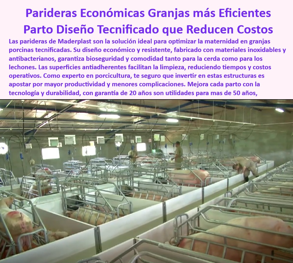 Parideras Porcícolas Higiénicas Jaula Parto Cerdas Fácil Limpieza Maderplast Parideras higiénicas y resistentes al desgaste Diseños accesibles para manejo parto de cerdas Parideras con pisos antideslizantes básicos Paneles plásticos Infraestructura económica para productividad porcina elevada, - Infraestructura-Porcina-Sostenible - Sistemas-Higiénicos-Para-Partos - Infraestructura higiénica para reducir complicaciones en partos, - Parideras desmontables para facilitar la limpieza profunda, - Pisos antideslizantes para maternidad porcina higiénica, - Soluciones eficientes para minimizar enfermedades porcinas, - Parideras-Modulares-Resistentes - Soluciones modulares para crianza porcina eficiente, - ¿Cuáles son las opciones económicas para la maternidad porcina? - Soluciones para manejo eficiente de residuos en maternidad, - Jaulas modulares diseñadas para optimizar el espacio porcino, - Sistemas higiénicos para maternidad porcina tecnificada, - Pisos-Plásticos-Drenantes-Porcinos - Parideras-Tecnificadas-Antibacterianas - Parideras que cumplen con normativas de bioseguridad, - Jaulas-De-Parto-Antideslizantes - ¿Cuáles son las mejores jaulas de parto higiénicas y resistentes? - Soluciones-Maternidad-Porcina-Tecnificadas - Parideras tecnológicas que reducen tiempos de mantenimiento, - Jaulas diseñadas para mayor comodidad de cerdas y lechones, - ¿Qué parideras garantizan bioseguridad y fácil limpieza? - Pisos plásticos drenantes para jaulas porcinas higiénicas, - Jaulas tecnificadas para granjas que reducen costos operativos, - Infraestructura sostenible para maternidad en granjas modernas, - Parideras resistentes al desgaste con garantía extendida, - Sistemas ajustables para granjas tecnificadas con alta demanda, - Parideras de cerdas con diseño resistente y antibacteriano, - Jaulas-De-Cerdas-Fácil-Limpieza - ¿Qué sistemas reducen costos en maternidad porcina? - Sistemas innovadores para maximizar la producción porcina, - Infraestructura-Porcina-Durable - Infraestructura porcina con materiales plásticos anticorrosión, - Sistemas para optimizar el manejo de cerdas y lechones, - Sistemas avanzados que maximizan la bioseguridad porcina, - Jaulas accesibles con diseño ergonómico para cerdas, - Sistemas-De-Bioseguridad-Porcina - Parideras económicas para granjas porcinas eficientes, - ¿Dónde encontrar parideras económicas para granjas tecnificadas? - Jaulas de parto duraderas con pisos antideslizantes. Parideras Porcícolas Higiénicas Jaula Parto Cerdas Fácil Limpieza Maderplast - Parideras higiénicas y resistentes al desgaste - Diseños accesibles para manejo parto de cerdas - Parideras con pisos antideslizantes básicos - Paneles plásticos