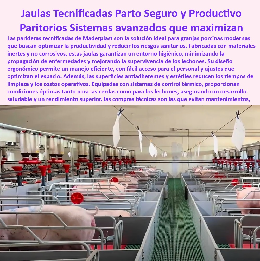 Parideras Porcícolas Higiénicas Jaula Parto Cerdas Fácil Limpieza Maderplast Placas plásticas económicas para parideras Jaulas partos para lechones con bioseguridad Jaulas de cerdas con pisos drenantes Parideras con sistemas básicos Jaulas-Diseño-Ergonómico-Porcino - Sistemas-De-Bienestar-Porcino - Parideras-Higiénicas-Tecnificadas - Parideras económicas para granjas porcinas modernas, - Sistemas avanzados para parideras higiénicas, - ¿Qué jaulas de parto minimizan el mantenimiento en granjas tecnificadas? - Jaulas tecnificadas para maternidad porcina eficiente, - Jaulas de maternidad seguras con mínimo mantenimiento, - Pisos drenantes para jaulas de maternidad porcina, - Sistemas ajustables para maximizar el espacio en maternidad, - Jaulas desmontables para maternidad con condiciones óptimas, - ¿Qué infraestructura porcina garantiza higiene y bienestar animal? - ¿Qué sistemas avanzados optimizan la maternidad porcina? - Jaulas con superficies antiadherentes para higiene superior, - Pisos drenantes para manejo eficiente de residuos, - Infraestructura de maternidad porcina con fácil limpieza, - Jaulas-Tecnificadas-Sin-Corrosión - Parideras-Con-Pisos-Drenantes - Soluciones modulares para maternidad porcina higiénica, - Bioseguridad-En-Granjas-Porcinas - Soluciones para minimizar costos operativos en granjas, - Infraestructura para reducir enfermedades en lechones, - Parideras desmontables para cerdas con sistemas térmicos, - Infraestructura para bienestar de cerdas y lechones, - Jaulas de parto eficientes - Sistemas-Para-Maternidad-Porcina - Jaulas de parto seguras y productivas para cerdas, - Sistemas avanzados que maximizan la productividad porcina, - Jaulas diseñadas para condiciones térmicas óptimas, - Sistemas eficientes para optimizar la productividad porcina, - ¿Dónde comprar jaulas de maternidad para cerdas con pisos drenantes? - Jaulas de cerdas con diseño ergonómico y resistente, - Sistemas modulares de bioseguridad para granjas tecnificadas, - Parideras resistentes a la corrosión y fáciles de limpiar, - ¿Cuáles son las mejores parideras desmontables para granjas porcinas? - Parideras con enfoque en bioseguridad y bienestar animal, - Infraestructura-Porcina-Modular - Soluciones innovadoras para jaulas de cerdas tecnificadas, - Sistemas de crianza porcina con materiales anticorrosivos, - Soluciones-De-Maternidad-Porcina Parideras Porcícolas Higiénicas Jaula Parto Cerdas Fácil Limpieza Maderplast - Placas plásticas económicas para parideras - Jaulas partos para lechones con bioseguridad - Jaulas de cerdas con pisos drenantes - Parideras con sistemas básicos