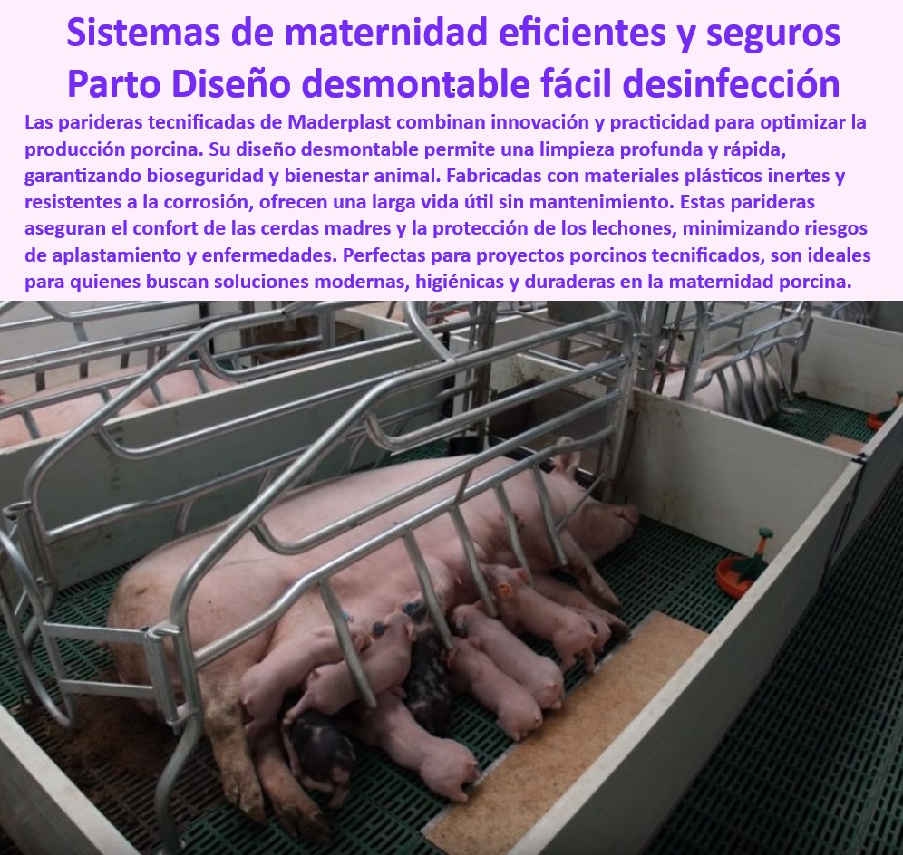 Parideras porcinas higiénicas resistentes Parto cerdas fácil limpieza Maderplast Jaulas desmontables de fácil limpieza para maternidad de cerdas Parideras económicas y fáciles de montar. Paneles plásticos jaulas de parición higiénicas Pisos plásticos drenantes en  parideras desmontables, - Parideras higiénicas para maternidad tecnificada de cerdas, - Infraestructura avanzada para granjas porcinas modernas, - Pisos-Plásticos-Drenantes-Granjas - Infraestructura-Moderna-Maternidad-Porcina - Infraestructura adaptable para proyectos de granjas tecnificadas, - Sistemas ergonómicos para reducir el estrés en cerdas, - Infraestructura duradera y sostenible para granjas porcinas, - Parideras desmontables para evitar riesgos sanitarios, - Infraestructura-Sostenible-Para-Granjas - Parideras plásticas que minimizan costos operativos, - ¿Cuáles son las mejores opciones para la bioseguridad en maternidad porcina? - Infraestructura modular para maternidad porcina eficiente, - Pisos resistentes en sistemas avanzados de maternidad, - Pisos antideslizantes en  parideras desmontables modernas, - ¿Qué sistemas modernos optimizan la maternidad porcina? - Jaulas económicas diseñadas para bioseguridad porcina, - Jaulas-Diseñadas-Para-Limpieza-Fácil - ¿Dónde comprar jaulas desmontables para maternidad de cerdas? - Parideras económicas que optimizan la maternidad porcina, - Soluciones-Desmontables-Bioseguras - Parideras tecnificadas con diseño para fácil limpieza, - Jaulas de parto resistentes y de fácil montaje, - Parideras-Desmontables-Higiénicas - Infraestructura higiénica para mejorar la productividad porcina, - Sistemas-De-Bioseguridad-Porcina - Soluciones desmontables para manejo de maternidad porcina, - ¿Qué parideras son más fáciles de limpiar y montar? - Jaulas-De-Parto-Fáciles-De-Montar - Pisos-Antideslizantes-Maternidad-Cerdas - Pisos higiénicos para parideras resistentes a la corrosión, - Parideras-Eficientes-Para-Granjas - ¿Cómo elegir parideras higiénicas y económicas para granjas? - Sistemas modernos para cerdas y lechones bioseguros, - Sistemas antibacterianos en jaulas de parto para cerdas, - Sistemas de maternidad con diseño desmontable innovador, - Parideras prácticas para optimización de espacio en granjas, - Jaulas desmontables para maternidad porcina eficientes, - Parideras funcionales con soluciones personalizadas, - Jaulas para cerdas con garantía extendida de durabilidad. Parideras porcinas higiénicas resistentes Parto cerdas fácil limpieza Maderplast - Jaulas desmontables de fácil limpieza para maternidad de cerdas - Parideras económicas y fáciles de montar. - Paneles plásticos jaulas de parición higiénicas