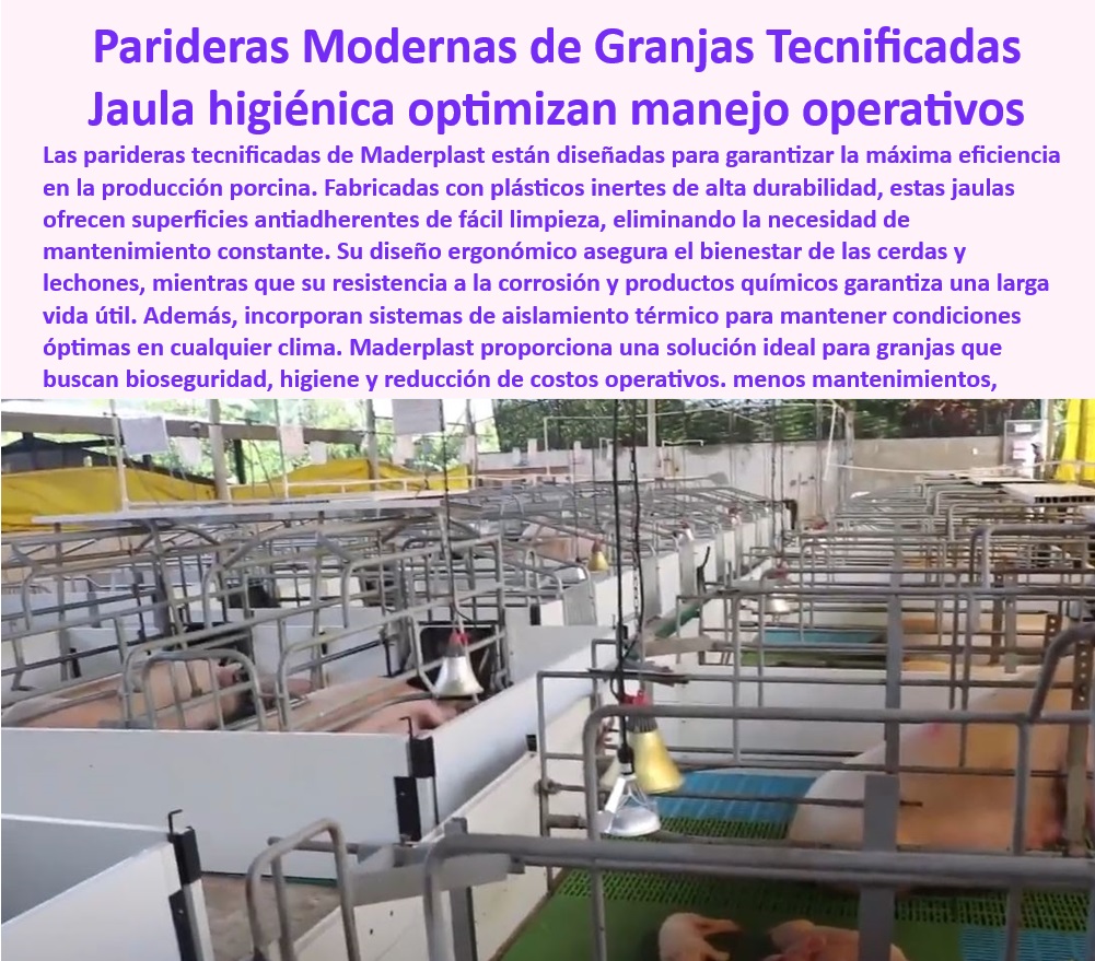 Parideras porcinas higiénicas resistentes Parto cerdas fácil limpieza Maderplast Sistemas modulares para optimizar la bioseguridad en maternidad porcina Jaulas modulares básicas cerdas madre Diseños innovadores en sistemas de partos 0 Parideras-Fáciles-De-Limpiar - Jaulas higiénicas y resistentes para partos de cerdas, - Sistemas-Modulares-Maternidad-Porcina - Jaulas-Duraderas-Y-Eficientes - Infraestructura-Porcina-Moderna - Sistemas de partos eficientes y fáciles de limpiar, - Parideras modulares para optimizar el manejo en granjas, - Sistemas de maternidad que minimizan el estrés en cerdas, - ¿Qué jaulas de parto son resistentes y fáciles de limpiar? - Jaulas de parto económico y de larga vida útil, - Jaulas modernas para producción porcina sostenible, - Bioseguridad-En-Granjas-Porcinas - Jaulas resistentes a químicos y productos corrosivos, - ¿Qué jaulas modulares son ideales para maternidad porcina? - Jaulas desmontables para maternidad porcina eficiente, - Sistemas de parición adaptados a granjas tecnificadas, - Diseño-Modular-En-Porcicultura - Jaulas higiénicas diseñadas para reducir enfermedades porcinas, - Parideras con superficies antiadherentes para fácil limpieza, - Sistemas modulares para bioseguridad en maternidad porcina, - ¿Cuáles son las mejores parideras con control térmico para granjas? - Parideras para minimizar el aplastamiento de lechones, - Parideras sostenibles para mejorar el bienestar animal, - Sistemas de Parto Innovadores - Sistemas modulares para maximizar la productividad porcina, - Soluciones económicas para maternidad tecnificada en porcicultura, - Jaulas innovadoras con aislamiento térmico y durabilidad, - ¿Dónde comprar sistemas de parto higiénicos para cerdas? - Jaulas de maternidad que reducen costos operativos, - Infraestructura modular para granjas porcinas eficientes, - Maternidad porcina con sistemas de drenaje higiénico, - Parideras-Modulares-Para-Cerdas - Sistemas resistentes para manejo seguro de cerdas y lechones, - Diseños innovadores en jaulas de parto para cerdas, - Jaulas-Higiénicas-Resistentes - ¿Qué sistemas modulares optimizan la bioseguridad en granjas porcinas? - Parideras para cerdas con control térmico integrado, - Estructuras para maternidad porcina sin mantenimiento, - Soluciones-Para-Maternidad-Tecnificada - Soluciones modulares para bioseguridad porcina. Parideras porcinas higiénicas resistentes Parto cerdas fácil limpieza Maderplast - Sistemas modulares para optimizar la bioseguridad en maternidad porcina - Jaulas modulares básicas cerdas madre - Diseños innovadores en sistemas de partos 0