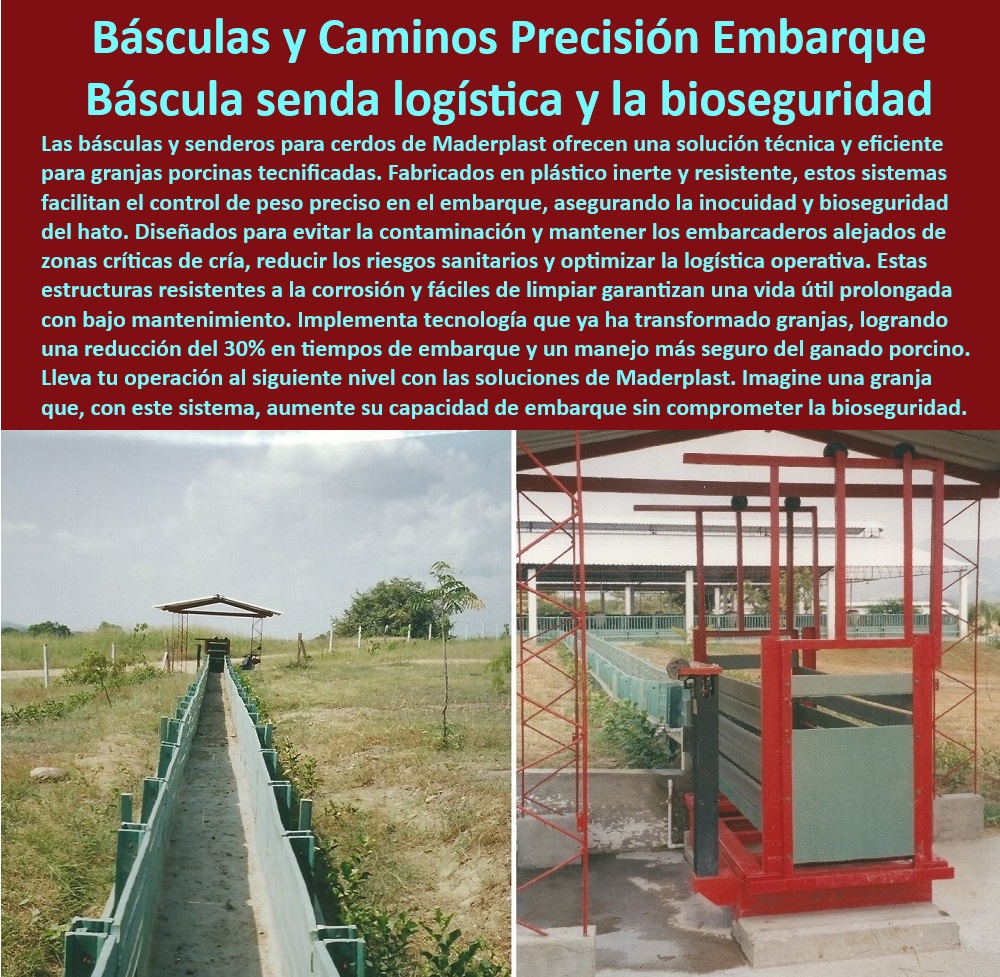 Pesaje preciso para cerdos Sistema para embarcar y pesar cerdos Maderplast Diseño de caminos para cerdos hacia plantas de sacrificio Senderos plásticos para conducción de cerdos al embarcadero Pesaje automatizado para cerdos en granja Caminos modulares para transporte seguro de cerdos. - Infraestructura-higiénica-en-granjas - Optimización del embarque porcino con infraestructura moderna. - ¿Cuáles son las mejores básculas para manejo higiénico de cerdos? - Caminos especializados para transporte porcino eficiente. - Senderos-plásticos-para-ganado - Pesaje-automatizado-para-cerdos - Soluciones integrales para embarques de ganado porcino. - Diseños de embarcaderos seguros para granjas modernas. - ¿Qué sistemas avanzados mejoran la bioseguridad en porcicultura? - Pesaje-preciso-en-granjas-porcinas - Sistemas de manejo porcino - Soluciones innovadoras para pesaje y manejo porcino. - Infraestructura higiénica para embarques porcinos seguros. - Sistemas-duraderos-para-embarcaderos - Sistemas anticorrosivos para logística en porcicultura. - Infraestructura-moderna-para-porcicultura - Soluciones tecnológicas para transporte de cerdos. - Infraestructura para manejo higiénico de ganado porcino. - Pesaje eficiente de cerdos para granjas tecnificadas. - Logística segura para cerdos - Sistemas de logística avanzada en granjas porcinas. - Sistemas duraderos para transporte de ganado porcino. - Tecnología en básculas para ganadería de cerdos. - Caminos-resistentes-para-bioseguridad - Soluciones-tecnificadas-en-porcicultura - ¿Qué soluciones existen para el transporte seguro de ganado porcino? - ¿Cómo optimizar la logística de embarque en granjas porcinas? - Senderos higiénicos para conducción de ganado porcino. - Pesaje automatizado de cerdos en embarcaderos modernos. - Infraestructuras resistentes para transporte porcino. - Infraestructura plástica higiénica para manejo porcino. - ¿Dónde encontrar sistemas de pesaje automatizado para cerdos? - Senderos plásticos para conducción eficiente de cerdos. - Básculas tecnificadas para manejo porcino eficiente. - Sistemas de pesaje automatizado para cerdos. - Pesaje preciso y confiable para porcicultura tecnificada. - Sistemas avanzados de pesaje para granjas industriales. - Caminos plásticos resistentes para bioseguridad animal. - Manejo eficiente del embarque porcino en granjas Pesaje preciso para cerdos Sistema para embarcar y pesar cerdos Maderplast - Diseño de caminos para cerdos hacia plantas de sacrificio - Senderos plásticos para conducción de cerdos al embarcadero - Pesaje automatizado para cerdos en granja