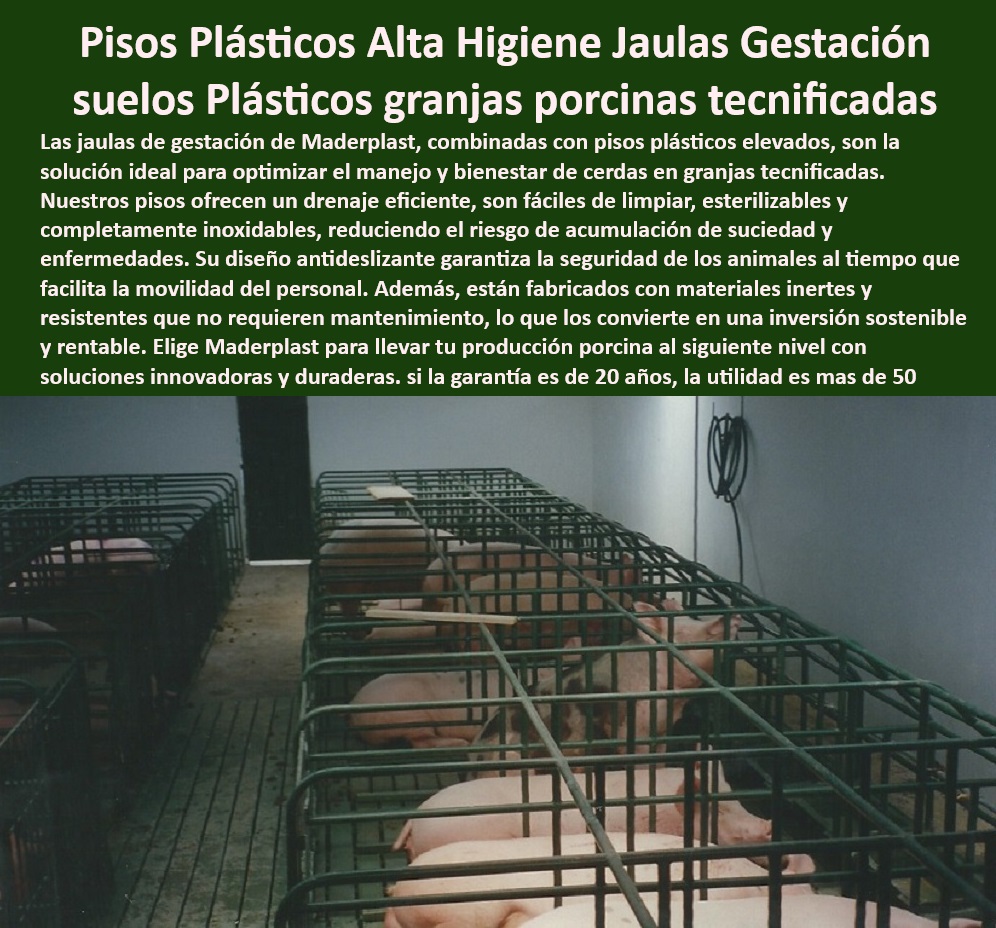 Pisos plástico Placa drenaje eficiente en corrales Porcícolas Maderplast Pisos plásticos ecológicos que cumplen con normativas sanitarias Superficies plásticas inoxidables para uso intensivo porcino Sistemas de pisos elevados manejo 0 Pisos de plástico reciclables para manejo eficiente en granjas, - Soluciones-Plásticas-Ecológicas - Drenaje eficiente con pisos plásticos de alta calidad, - Materiales plásticos resistentes a la corrosión para corrales, - Bioseguridad-En-Corrales-Porcinos - Pisos antideslizantes para mayor seguridad en granjas, - ¿Cómo elegir pisos antideslizantes para seguridad en la porcicultura? - Superficies antideslizantes para seguridad en granjas porcinas, - Soluciones avanzadas de pisos para bioseguridad porcina, - Infraestructura-Sostenible-Porcicultura - Pisos higiénicos y resistentes para el bienestar de los cerdos, - ¿Dónde comprar pisos plásticos elevados para corrales porcinos? - Pisos plásticos elevados para corrales porcinos modernos, - Sistemas plásticos avanzados para corrales porcinos, - Sistemas de pisos higiénicos para producción porcina intensiva, - Pisos especializados para reducir enfermedades en granjas, - ¿Qué pisos higiénicos son ideales para granjas tecnificadas? - Pisos diseñados para optimizar la bioseguridad en granjas, - Placas plásticas resistentes para un drenaje eficiente en granjas, - Superficies inoxidables para corrales de cerdas reproductoras, - Superficies duraderas para uso intensivo en porcicultura, - Superficies-Inoxidables-Porcinas - Pisos modulares para instalaciones tecnificadas de cerdos, - Pisos plásticos que cumplen con las normativas sanitarias internacionales, - Soluciones de pisos ecológicos para granjas tecnificadas, - Placas plásticas ecológicas para producción porcina tecnificada, - Sistemas Elevados En Granjas - Infraestructura de pisos modulares para la porcicultura sostenible, - ¿Qué materiales son mejores para el drenaje en granjas porcinas? - Pisos plásticos con diseño ergonómico y duradero, - Pisos elevados para manejo eficiente de residuos porcinos, - ¿Cuáles son las mejores superficies plásticas para el manejo de residuos? - Pisos-Plásticos-Para-Corrales - Pisos Antideslizantes Granjas - Sistemas de drenaje avanzados para corrales higiénicos, - Soluciones sostenibles en pisos para la industria porcina, - Pisos de fácil limpieza para instalaciones porcinas avanzadas, - Drenaje eficiente en granjas - Pisos modulares para granjas - Pisos Higiénicos Con Drenaje Pisos plástico Placa drenaje eficiente en corrales Porcícolas Maderplast - Pisos plásticos ecológicos que cumplen con normativas sanitarias - Superficies plásticas inoxidables para uso intensivo porcino - Sistemas de pisos elevados manejo 0