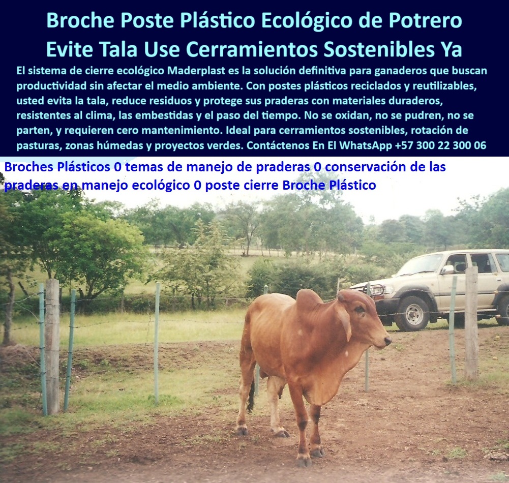 Broches Portón Plástico Para Ganado Puerta De Hato Ganadero Puerta Maderplast 0 Broche Ganadero Puerta ganadera liviana y resistente Compuerta Rural Liviana Puerta Temporal de Corral Cómo cerrar potreros en invierno portón puertas temporales para ganado sin mantenimiento, - Postes verticales sin pintura, firmes ante clima, humedad y ganado., - Vehículo 4x4 al fondo demuestra uso rural y acceso permanente., - cerco reciclado con broches ganaderos reutilizables, - poste ecológico con sistema de cierre seguro, - Escenario típico de finca sostenible en Llanos Orientales colombianos., - cerramiento ecológico para finca sostenible, - La imagen muestra un cierre ecológico con broche plástico Maderplast, ideal para portones de potreros en zonas húmedas. Este sistema, instalado en una finca de sabana ganadera, combina postes reciclados y puertas livianas sin óxido ni pintura. Gracias a su resistencia a golpes, humedad y presión animal, Maderplast ofrece una solución definitiva para ganaderos que buscan productividad con sostenibilidad. Los broches plásticos Maderplast no se deforman, no se parten y garantizan seguridad sin dañar al ganado ni al entorno., - acceso-seguro-en-pradera-húmeda, - poste con broche para terrenos con lodo, - sistema de broche plástico para puertas de hato, - ¿Qué puerta de ganado no necesita pintura?, - compuerta con poste plástico sin astillas ni pintura, - sistema ecológico para puertas rurales, - puerta-de-potreros-reciclada, - compuertas sostenibles sin oxidación ni astillas, - poste de potrero con broche ecológico sin óxido, - puerta ganadera plástica en sabana con broche resistente, - poste-sin-óxido-ni-madera, - poste-con-broche-plástico, - cierre de potrero sin madera ni soldaduras, - ¿Dónde comprar poste con broche ecológico?, - Ganado seguro en corral gracias al broche sin puntas ni filos., - compuerta resistente sin puntas peligrosas, - cerco plástico sostenible para portón ganadero, - Puerta rural temporal sin marco metálico, ligera y resistente al impacto., - postes reciclables para cierre de ganado, - postes reciclados para portones ganaderos livianos, - ¿Cuál es el cierre más seguro para corral?, - cierre-sostenible-de-potreros, - sistema rural de broche plástico para ganado, - Broche_Poste_Plástico_Puerta_Potreros_Ecológica_Sin_Oxido_Colombia.jpg, - puerta ganadera fácil de instalar y mover, - sistema de puerta para praderas húmedas, - Visualmente destaca la armonía entre sostenibilidad, funcionalidad y ganadería., - portón plástico para hato sobre tierra húmeda, - corral portátil para ganado sin concreto, - Poste plástico con broche ecológico en potrero de ganado brahman rojo., - poste con broche que evita accidentes en ganado, - ¿Cómo cierro el potrero sin usar metal?, - poste vertical verde con compuerta sin metal visible, - poste plástico seguro para cierre de animales, - Terreno llano y vegetación intermedia indican zona de sabana húmeda., - El broche es dieléctrico, ideal para paso de cercas eléctricas sin aisladores., - broche plástico para cerrar corral de ganado, - postes con broche usados en sabana colombiana, - cerca-plástica-para-ganado, - compuerta-temporal-para-corral, - poste con cierre ganadero que no se oxida, - compuerta temporal de corral sin mantenimiento, - poste plástico con broche para corral de ganado, - ¿Qué broche es mejor para potrero con humedad?, - compuerta rural sin metal ni madera, - vehículo en finca detrás de corral seguro, - poste-plástico-sin-pintura, - broche dieléctrico que no transmite corriente, - poste de puerta para ganado resistente a humedad, - puerta de potrero sin riesgo de oxidación, - corral rural con vacuno en frente de poste plástico, - postes plásticos con cierre para potreros, - estructura plástica de poste ganadero sin mantenimiento, - puerta plástica para cierre de corral ganadero, - cerco ecológico con ganado en zona ganadera, - puerta-ganadera-ecológica, - Sistema de cierre sostenible sin óxido, astillas ni pudrición visible., - Tecnología colombiana sin tala, sin concreto, sin mantenimiento., - Cerca reciclada con broches plásticos, útil en rotación de praderas., - broche ecológico para puerta de potrero rural, - sistema-de-broche-ganadero 0 Broches Portón Plástico Para Ganado Puerta De Hato Ganadero Puerta Maderplast 0 Broche Ganadero, - Puerta ganadera liviana y resistente, - Compuerta Rural Liviana, - Puerta Temporal de Corral, - Cómo cerrar potreros en invierno porton