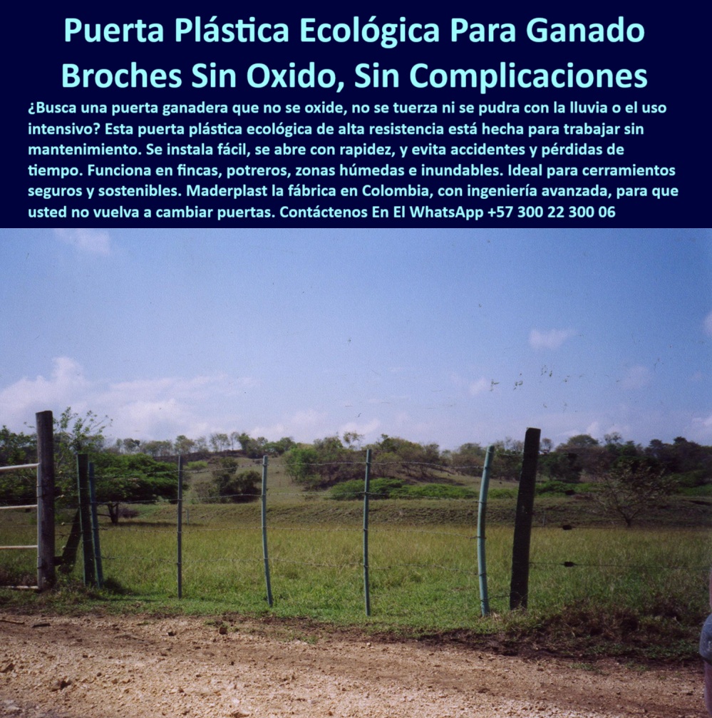 Broches Portón Plástico Para Ganado Puerta De Hato Ganadero Puerta Maderplast 0 Puerta para ganado sin metal Tranca Plástica Rural Puerta de paso rápido para ganado Broche Ecológico para Finca Puerta potrero fácil abrirlas Tranca plástica sin riesgo de lesiones ni contaminación para animales., - portón reciclado con broche flexible, - ¿Dónde comprar cierre ecológico para hato?, - sistema de entrada ganadera sin metal, - broche de entrada sin oxidación ni riesgo de lesiones, - tranca plástica sin mantenimiento para potrero, - broche ecológico para finca rural ganadera, - puerta para potrero de paso continuo, - paso ganadero con cierre ecológico de plástico, - puerta sin torceduras para ganado bravo, - tranca sin hierro para portones ganaderos, - puerta de paso rápido sin riesgo animal, - poste verde flexible en potrero húmedo sin mantenimiento, - cierre plástico visible con soporte de postes livianos, - puerta rural con broche que no se oxida, - Solución rentable, segura y duradera para puertas ganaderas rurales., - #cerco-sin-mantenimiento, - #paso-de-vacas-sin-riesgos, - cierre para potrero que no se oxida, - sistema plástico para ganado intensivo, - #puerta-ganadera-sin-óxido, - puerta plástica rural con broche visible sin partes metálicas, - cerco plástico con broche en zonas inundables, - poste para portón con broche sin astillas, - tranca de plástico sin herrajes en zona ganadera tropical, - portón ganadero reciclado visible en vía rural colombiana, - No requiere mantenimiento ni ajustes, útil para potrero rotacional., - cierre ganadero sin soldaduras ni bisagras, - paso para ganado con cierre ecológico a presión, - Paisaje ganadero de sabana en Colombia con portón sin herrajes metálicos., - cierre rural sin oxidación para vacas, - broche ecológico ideal para vacas y terneros, - #puerta-plástica-con-broche, - #postes-plásticos-de-cierre, - Fácil de identificar por su color verde y forma curvada de presión., - broche sin metal para potrero ganadero, - postes verdes con sistema de cierre a presión, - #portón-ganadero-sin-metal, - estructura plástica para cierre sin herramientas, - ¿Qué puerta resiste lluvia y ganado?, - #broche-plástico-para-potrero, - ¿Cómo hacer portón plástico para finca?, - portón reciclado con tranca ecológica, - broche de presión para apertura rápida, - Broche ecológico que funciona en ambientes de alta humedad o lluvia., - sistema de potrero con apertura segura y rápida, - cierre ganadero de bajo mantenimiento y larga vida, - #cerramiento-para-ganado-rural, - Cierre plástico ecológico visible entre los postes, flexible y seguro., - puerta para hato sin óxido ni pintura, - sistema plástico de paso ganadero, - Postes verdes alineados, ligeros, resistentes al impacto y al barro., - #puerta-de-finca-resistente, - puerta para ganado sin partes metálicas, - estructura sin pintura ni soldadura para ganado, - Tecnología colombiana probada más de 15 años en potreros ganaderos., - postes ligeros para puerta de finca rural, - ¿Qué puerta usar para ganado sin óxido?, - poste plástico con puerta de cierre ecológico, - Cerco sin pintura, sin soldaduras, instalado en zona rural del Caribe colombiano., - ¿Cuál es el mejor broche para potrero?, - Puerta de hato sin óxido ni astillas, de fácil apertura manual., - postes ganaderos para clima húmedo y lluvia, - puerta_plástica_broche_sin_óxido_para_ganado_caribe_colombia.jpg, - La imagen muestra una puerta plástica ecológica instalada en una finca del Caribe colombiano, diseñada con postes y broches de alta ingeniería de Maderplast. Este sistema se adapta a potreros de alta humedad sin oxidarse, romperse ni deformarse, garantizando un acceso seguro y sin mantenimiento. La tranca se abre con facilidad y evita accidentes gracias a su diseño sin partes metálicas. Maderplast ofrece soluciones ecológicas que reemplazan puertas tradicionales, ideales para ganaderos que buscan durabilidad, economía y sostenibilidad. Perfecto para entradas rápidas en hatos ganaderos y rotación de potreros., - puerta plástica sin mantenimiento para ganado, - Instalación sin electricidad, ideal para fincas sin acceso a red., - puerta ecológica para finca sin electricidad, - #tranca-ecológica-para-finca 0 Broches Portón Plástico Para Ganado Puerta De Hato Ganadero Puerta Maderplast 0 Puerta para ganado sin metal, - Tranca Plástica Rural, - Puerta de paso rápido para ganado, - Broche Ecológico para Finca, - Puerta potrero fácil abrirlas