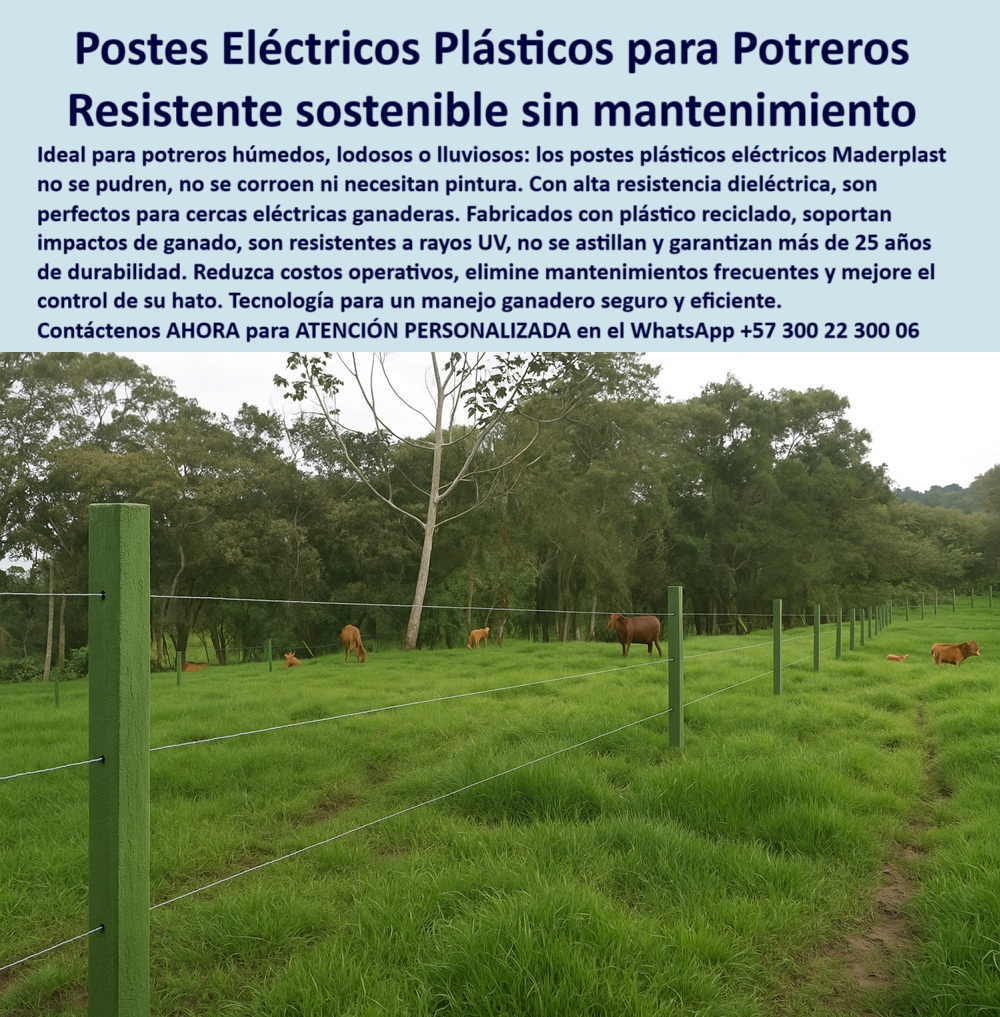 Cerca Económica Para Potreros Postes Para Linderos Lineamientos Poste Maderplast 0 poste plástico eléctrico cerca sin mantenimiento para potreros mojados Poste con varilla eléctrica para manejo ganadero sostenible postes fuertes Sistema de cercado eléctrico ecológico en finca ganadera, - poste-reciclado-para-ganadería-intensiva, - En la imagen se observan postes plásticos eléctricos Maderplast instalados en un potrero húmedo y fangoso, ideales para cercas ganaderas sin mantenimiento. Estos postes Maderplast, fabricados con polímero reciclado de alta ingeniería, son dieléctricos, no requieren aisladores, no se pudren ni se oxidan, y soportan rayos UV, impactos de ganado y condiciones extremas de humedad. Son perfectos para controlar el hato con eficiencia y sostenibilidad, incluso en climas lluviosos o zonas lodosas., - ¿Dónde compro postes eléctricos sin aisladores?, - Línea de postes dieléctricos alineados en pasto húmedo, - Terreno con humedad delimitado por postes reciclados, - poste para fincas con lluvias prolongadas, - poste-plástico-eléctrico-para-potreros, - ¿Qué postes duran más en zonas fangosas?, - poste fácil de instalar en potreros húmedos, - poste estructural para manejo sostenible de ganado, - Ganado pastando entre postes eléctricos de polietileno, - poste para ganadería intensiva con humedad, - poste duradero con alta resistencia dieléctrica, - División de potreros húmedos con postes reciclables, - poste reciclable para cercas ganaderas técnicas, - poste plástico eléctrico para potrero fangoso, - poste firme para control de ganado con alambre, - poste-para-linderos-rurales-húmedos, - Postes sin aisladores en pradera verde mojada, - poste fuerte para climas difíciles y tropicales, - poste plástico dieléctrico para cercas eléctricas rurales, - poste dieléctrico para terrenos lluviosos rurales, - poste-resistente-a-impacto-y-clima, - poste moderno para evitar reemplazos por humedad, - poste-para-cercas-en-terrenos-lodosos, - poste plástico sin astillas ni corrosión ganadera, - poste para electrificación ganadera sin oxidación, - poste técnico para cercas rurales en zonas húmedas, - Postes plásticos verdes instalados en potrero mojado rural, - poste-sin-astillas-ni-óxido, - poste eléctrico sin necesidad de pintura rural, - ¿Qué poste sirve para cercas eléctricas en potreros húmedos?, - poste para electrificación ganadera sin aisladores, - poste-electrico-plastico-para-potreros-humedos-sin-mantenimiento.jpg, - poste resistente a rayos UV y orina animal, - ¿Poste plástico que no se pudre en pastos mojados?, - poste-ecológico-para-zonas-húmedas, - Postes fuertes y rectos sobre pasto espeso en lluvia, - poste reciclado resistente al impacto del ganado, - Cerca ganadera plástica en potrero húmedo sin barro, - poste que no se parte ni se oxida con lluvia, - poste aislante para cercas eléctricas sin aisladores, - Vista de campo con postes firmes y sin mantenimiento, - poste sostenible para praderas ganaderas mojadas, - poste ecológico para establos y pasturas lodosas, - poste para dividir terrenos sin mantenimiento, - poste ecológico para división de pasturas mojadas, - ¿Cuál es el mejor poste para ganado en clima lluvioso?, - poste sin mantenimiento para terrenos ganaderos húmedos, - poste-sin-mantenimiento-para-humedad, - poste fuerte para división de potreros mojados, - poste resistente a lluvia y estiércol para potreros, - poste con varilla eléctrica para control de ganado, - poste para linderos rurales húmedos sin óxido, - poste-con-alta-durabilidad-en-lluvia, - poste-dieléctrico-para-cercas-ganaderas 0 Cerca Económica Para Potreros Postes Para Linderos Lineamientos Poste Maderplast 0 poste plástico eléctrico, - cerca sin mantenimiento para potreros mojados, - Poste con varilla eléctrica para manejo ganadero sostenible postes fuertes