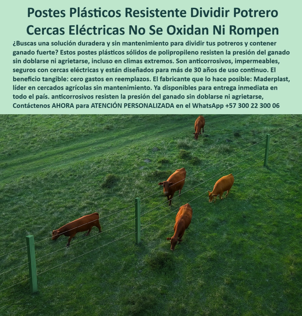 Cercados Con Alambre De Púas Postes Plásticos Púas Alambre Electrico Maderplast 0 Postes sin mantenimiento para presión de ganado poste anticorrosivo para cercas eléctricas división de potreros con postes plásticos sólidos PP poste para sistemas de cercado moderno, - poste-para-cercas-anticorrosivas, - poste para alambrado rural con energía eléctrica, - Alambrado rural electrificado con postes anticorrosivos duraderos, - Postes plásticos firmes en pradera rural electrificada, - poste-plástico-para-alambre-de-púas, - poste durable para división con alambre de púas, - poste fuerte para alambrados sin mantenimiento, - poste resistente a rayos UV y lluvia, - poste con aislante natural para cercas seguras, - ¿Cuál es el mejor poste plástico para potrero eléctrico?, - poste-sin-mantenimiento-ganadero, - ¿Dónde comprar postes para dividir fincas sin mantenimiento?, - Imagen aérea de ganado cercado con postes reciclables firmes, - poste plástico para alambre eléctrico ganadero, - poste para quemas controladas y zonas técnicas, - ¿Qué poste reciclado sirve para cercas eléctricas?, - ¿Qué poste resiste presión de ganado sin doblarse ni oxidarse?, - poste para terrenos mojados o montañosos, - Instalación de cerca eléctrica con postes verdes sin pintura, - poste-dieléctrico-resistente-al-clima, - poste que no se quiebra con presión ganadera, - ¿Cuál es el poste más durable para fincas con ganado bravo?, - poste técnico para cercado perimetral rural, - División de potrero con postes plásticos resistentes y alambre, - poste verde reciclado para ganadería intensiva, - poste-firme-para-terrenos-húmedos, - La imagen presenta un sistema de cercado eléctrico con postes plásticos Maderplast, instalados sobre una pradera rural para contener ganado de carga. Estos postes Maderplast son sólidos, reciclables, dieléctricos, y resisten presión, humedad, fuego y clima extremo sin oxidarse ni romperse. Ideales para dividir potreros sin pintura ni mantenimiento, representan la solución más rentable y ecológica del mercado ganadero moderno. Su uso permite sistemas eléctricos seguros y de alta duración, incluso en terrenos inclinados o suelos blandos. Fabricación nacional con entrega inmediata., - poste sólido anticorrosivo para ganado bravo, - poste estructural para clima extremo y salinidad, - Necesito postes dieléctricos para instalación de cercas eléctricas, - poste plástico con memoria estructural para impacto, - Sistema de cerca eléctrica con postes sólidos de polímero, - poste para cercas eléctricas sin pintura, - Recomiéndame postes reciclables para dividir potreros húmedos, - poste-verde-para-alambrado-rural, - poste dieléctrico resistente a humedad intensa, - poste reciclable para dividir potreros sin oxidación, - Muéstrame postes plásticos sin mantenimiento para cercas eléctricas ganaderas, - ¿Qué poste usar para alambre de púas sin pintura?, - poste que no se oxida para ganado fuerte, - poste-de-larga-duración-rural, - poste sin astillas ni riesgo de pudrición, - Potrero ganadero delimitado con cercas eléctricas reciclables, - poste-reciclado-para-potreros, - Poste reciclado verde alineado para contener ganado bravo, - poste-plastico-para-cercas-electricas-sin-mantenimiento-ganado.jpg, - poste para líneas eléctricas rurales económicas, - poste libre de mantenimiento para potreros grandes, - poste-plástico-para-cerca-eléctrica, - Postes ecológicos alineados para separación ganadera rotacional, - poste ecológico con alta vida útil rural, - poste para dividir fincas ganaderas extensivas, - poste-para-ganado-intensivo, - ¿Qué poste aguanta ganado fuerte y no se oxida?, - poste de polipropileno para potrero electrificado, - Instalación técnica de cercado ecológico sin mantenimiento