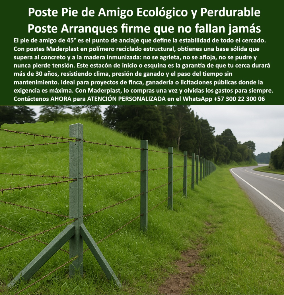 Cercados Con Postes Pie De Amigo Poste de Inicio Y Final Esquineros Porton Maderplast 0 Postes eléctricos durables para potrero intensivo poste plástico Neiva postes dieléctricos para reducir pérdidas eléctricas licitaciones Cercado profesional con poste de inicio bien anclado, - Postes plásticos en pasto alto sin señales de daño, - poste-verde-para-cercados, - ¿Qué poste aguanta tracción sin romperse?, - poste para laderas con barro y humedad constante, - Poste plástico reforzado con pie de amigo a 45 grados, - poste para seguridad rural sin refuerzos metálicos, - poste que reemplaza concreto sin mantenimiento, - poste plástico que no se afloja con los años, - poste plástico que evita gastos de reparación, - poste-pie-de-amigo-firme, - La foto muestra una imagen real de una cerca reforzada con postes plásticos Maderplast instalados sobre terreno inclinado, junto a una vía rural en Colombia. El primer poste, equipado con pie de amigo a 45 grados, funciona como anclaje estructural, evitando que la cerca se tuerza o se hunda. Esta solución es ideal para fincas con ganado de alto impacto, humedad constante y tránsito frecuente. Los postes no se oxidan, no se agrietan, no requieren aisladores ni pintura, y soportan tracción extrema sin aflojar. Fabricados por Maderplast con polímero reciclado estructural, estos estacones son más duraderos que la madera, más estéticos que el concreto y más eficientes que el acero. La instalación se hace sin concreto, ahorrando tiempo, dinero y mantenimiento. Su color integral verde natural conserva la armonía visual con el entorno. La solución perfecta para subdivisiones de potreros, licitaciones ganaderas o instalaciones de cercas técnicas permanentes., - poste ecológico que no se pudre ni se agrieta, - poste de alta tensión para dividir ganado intensivo, - poste con pie de amigo 45 grados sin rajaduras, - poste dieléctrico que evita fugas eléctricas en potreros, - ¿Cuál es el mejor poste para cercas duraderas?, - poste-para-división-de-potreros, - Arranque de cerca con poste fuerte sin óxido, - poste de esquina para ganado en terrenos difíciles, - poste con pie de amigo 45 grados antitorsión, - ¿Cómo reforzar esquinas de cerca sin soldadura?, - poste para cerramiento perimetral con estética duradera, - poste verde resistente que no oxida ni despinta, - poste para fincas con lluvias y barro constantes, - poste para control de animales sin deformación, - poste-reciclado-resistente, - poste-dieléctrico-para-electricas, - poste de arranque que soporta tracción sin rajarse, - poste para subdivisiones de fincas en pastoreo rotacional, - poste de larga duración para instalaciones rurales, - poste plástico sin necesidad de concreto o soldadura, - poste ganadero que elimina el reemplazo constante, - ¿Poste sin concreto para instalar en laderas?, - poste plástico para proyectos de licitación ganadera, - poste-contra-humedad, - poste técnico que elimina pintura y mantenimiento, - Postes sin concreto que soportan tensión en ladera, - poste-para-cercas-en-laderas, - poste-plástico-para-ganadería, - Pie de amigo diagonal en terreno con pendiente verde, - Cerca firme con postes sin grietas ni deformaciones, - poste-para-licencias-publicas, - poste ecológico de larga duración sin pintura, - poste para zonas agrícolas húmedas y salinas, - poste estructural para cercas en laderas inclinadas, - poste de inicio firme que no se deforma nunca, - ¿Qué poste dura más de 30 años sin mantenimiento?, - poste plástico estructural para ganadería intensiva, - Línea de postes verdes alineados junto a carretera rural, - poste-sin-concreto-durable, - poste-para-arranque-en-ladera-pie-amigo-verde-ecologico.jpg, - poste para cercas eléctricas sin aisladores, - poste seguro para alambre de púas sin aisladores, - poste resistente a presión de ganado y clima, - Estacones con diseño estructural para ganado intensivo, - Postes alineados resistiendo presión de alambres tensados 0 Cercados Con Postes Pie De Amigo Poste de Inicio Y Final Esquineros Porton Maderplast 0 Postes eléctricos durables para potrero intensivo, - poste plástico neiva, - postes dieléctricos para reducir pérdidas eléctricas, - licitaciones