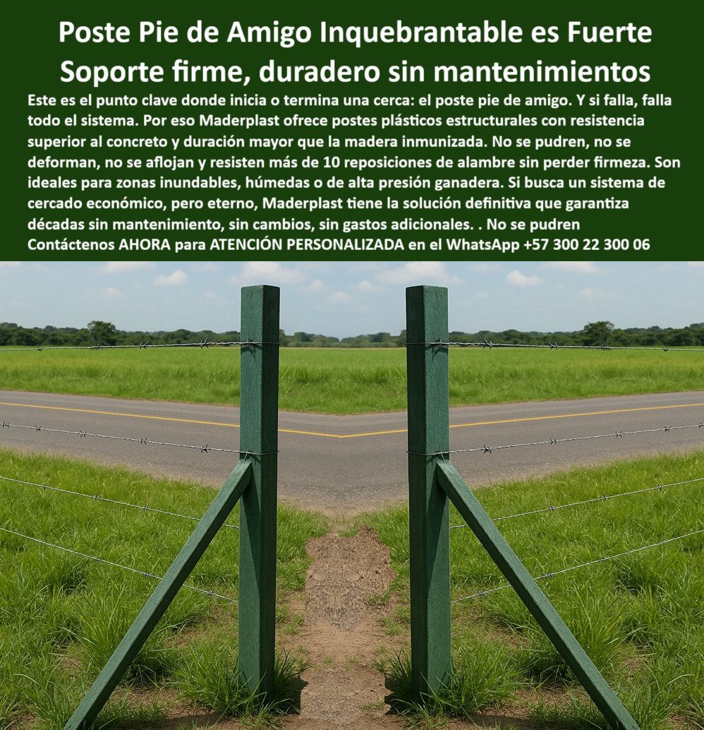 Cercados Con Postes Pie De Amigo Poste de Inicio Y Final Esquineros Porton Maderplast 0 cerca económica para potreros inundables postes económicos para cercas duraderas postes plásticos para sistemas de cortinas forestales poste poste para potrero con presión bovina intensa, - poste-plástico-pie-de-amigo, - poste estructural sin mantenimiento para pie de amigo, - Pie de amigo plástico que no falla con tensión múltiple, - poste reciclable para líneas de tensión alta, - ¿Qué poste sirve para pie de amigo en potrero?, - poste para inicio de cerca rural sin fallas, - Poste de soporte firme al borde de carretera ganadera, - La imagen muestra un sistema de cercado con poste pie de amigo Maderplast instalado desde hace más de 30 años en el Centro Agropecuario Estevia, antes Corpoica, en el kilómetro 30 vía Villavicencio–Puerto López, antes del peaje. A pesar del paso del tiempo, la humedad de la región y la tensión constante de los alambres, el poste permanece intacto, sin pudrirse, sin aflojarse, ni deformarse. Fabricado en polímero estructural de alta ingeniería, el poste pie de amigo Maderplast es ideal para zonas ganaderas de alta exigencia, suelos blandos o inclinados, portones, esquinas y arranques de cerca. Resiste el paso de animales, la humedad, las lluvias y las presiones de tensión sin rajarse ni fallar. Su durabilidad supera los estándares del concreto y la madera inmunizada, sin oxidarse, sin liberar contaminantes y sin necesidad de pintura o repuestos. Es una solución definitiva que permite más de 10 reposiciones de alambre sin alterar su estructura. Maderplast ofrece productos que no requieren mantenimiento y garantizan cercados técnicos para toda la vida, transformando potreros comunes en cercas profesionales, eficientes y ecológicas., - Postes para cercas rurales rectas sobre suelo húmedo, - Poste estructurado sin rajar ni soltar por los años, - poste que no se agrieta ni deforma con calor, - Postes plásticos instalados frente al peaje vía Llanos, - poste-resistente-a-humedad, - poste duradero sin madera para esquina y portón, - poste para cortinas forestales duraderas y económicas, - Sistema de cerca firme sin oxido ni mantenimiento, - poste sin fractura para zonas con ganadería intensiva, - poste plástico resistente a tensión y humedad, - poste de inicio para cercado sin mantenimiento, - poste para portones rurales con soporte firme, - poste-para-alambre-de-alta-tensión, - poste plástico que no se afloja con tensión, - poste estructurado para alambrados de seguridad, - poste de inicio de cerca para potrero económico, - poste para cercas con paso de alambre múltiple, - poste-reemplazo-de-concreto, - poste-para-zonas-rurales-extremas, - poste que reemplaza concreto en potrero húmedo, - poste-pie-de-amigo-plastico-para-cercas-en-villavicencio.jpg, - ¿Qué poste puede reemplazar concreto sin fallas?, - Postes alineados con base firme para arranque de cerca, - poste para sostener cerca a lado de carretera, - poste con memoria plástica para tensión rural, - poste para zonas ganaderas con presión mecánica, - poste económico y estructural sin madera ni concreto, - poste estructural plástico para pie de amigo, - ¿Cuál es el mejor poste para tensión en cerca?, - poste duradero para empates de alambre fuerte, - poste plástico para zonas propensas a inundación, - poste-de-soporte-estructural, - Postes plásticos pie de amigo firmes y sin deformación, - ¿Dónde instalan postes duraderos para portones rurales?, - poste con estabilidad comprobada en fincas agrícolas, - ¿Qué poste no se pudre ni se parte al jalar?, - poste-para-potreros-inundables, - poste para zonas de inundación ganadera intensiva, - poste-para-inicio-de-cerca, - poste-sin-mantenimiento-duradero, - poste técnico plástico sin oxidación en zonas lluviosas, - poste de esquina sin rajaduras ni pudrición, - poste resistente a presión ganadera y humedad, - poste-para-esquinas-portones, - poste para cercas rurales con arranque preciso, - poste que mantiene rectitud con 10 reemplazos, - Cerca de alambre fuerte sobre potrero húmedo sin fallo, - Soporte plástico firme a prueba de agua y presión 0 Cercados Con Postes Pie De Amigo Poste de Inicio Y Final Esquineros Porton Maderplast 0 cerca económica para potreros inundables, - postes económicos para cercas duraderas, - postes plásticos para sistemas de cortinas forestales poste