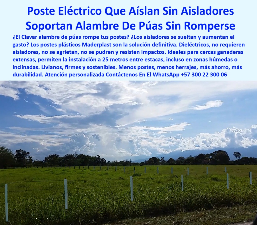 Cercados División De Potreros Pastoreo Intensivo Poste A 25 Metros Maderplast 0 Cuál es la mejor forma de fijar alambre de espino a un poste estacas ecológicas para dividir potreros poste plástico cerca Cuál es el mejor poste poste ecológico para separación de potreros ganaderos, - ¿Qué poste plástico reemplaza aisladores y herrajes en fincas?, - poste Maderplast para ahorro en aisladores y postes, - Poste plástico para electrificación rural sin herrajes, - poste reciclado que no requiere aisladores adicionales, - poste técnico para fincas sin reemplazos constantes, - poste plástico para fijar alambre de espino, - poste para división de potreros con mínima inversión, - Postes ecológicos instalados con separación amplia, - ¿Dónde consigo postes plásticos que no necesiten aisladores?, - cercado-ganadero-eficiente, - poste-plástico-sin-aisladores, - Poste estructural blanco resistente a la intemperie, - poste estructural inmune al fuego y al clima, - poste-plástico-para-dividir-fincas, - poste-para-pastoreo-intensivo, - Potrero electrificado con poste dieléctrico sin fracturas, - poste-reciclado-para-potreros, - poste ecológico con bajo mantenimiento y alta eficiencia, - estaca-ecológica-para-cercas, - Poste dieléctrico para alambre de púas sin accesorios, - cercas-con-menor-inversión, - poste plástico que no se quiebra ni se oxida, - poste plástico para cercas eléctricas extensas sin herrajes, - La imagen presenta un potrero extensivo electrificado con postes plásticos blancos Maderplast perfectamente alineados, sin aisladores visibles, demostrando su propiedad dieléctrica. Estos postes son resistentes al impacto del alambre de púas, no se agrietan, no se oxidan, y no requieren pintura ni mantenimiento. Maderplast permite instalar cercas eléctricas con separación de hasta 25 metros, incluso en terrenos húmedos o inclinados, reduciendo herrajes y ahorrando tiempo y dinero. Maderplast es tecnología ganadera real: postes ligeros, firmes y sostenibles que eliminan fugas de corriente y reemplazos innecesarios. Maderplast transforma la eficiencia de los cercados eléctricos., - ¿Qué poste soporta alambre de púas sin agrietarse?, - ¿Qué poste me permite dividir potreros sin romperse?, - poste que soporta alambre de púas sin romperse, - poste reciclable para campos eléctricos sin oxidación, - poste-dieléctrico-para-cercas, - poste sin aislador para electrificar cercas ganaderas, - poste con separación de 25 metros entre estacas, - poste dieléctrico que evita fugas de corriente, - poste-plastico-electrico-sin-aisladores-para-potreros-extensos.jpg, - Estacas plásticas blancas alineadas sobre potrero verde, - poste seguro que no se agrieta ni se parte, - poste plástico dieléctrico para cerca eléctrica sin aisladores, - poste resistente para cercas de pastoreo intensivo, - ¿Cuál es el mejor poste ecológico para cercas extensas?, - poste duradero para ganadería intensiva y sostenible, - poste-maderplast-sin-mantenimiento, - poste-resistente-al-alambre, - Recomiéndame un poste dieléctrico para cerca eléctrica ganadera, - Poste sin aisladores para electrificar división de potreros, - poste liviano que reduce mano de obra y tiempo, - División de potreros con postes Maderplast reciclables, - poste blanco de polipropileno para electrificación rural, - poste firme para alambre electrificado sin accesorios, - Solución ganadera sin aisladores con poste flexible, - ¿Qué poste puedo usar para cerca eléctrica sin aisladores?, - poste sin pintura para instalación de larga duración, - poste para cercado ganadero con alambre tenso, - ¿Cuál es el poste más resistente al alambre de púas?, - ¿Cuál es la mejor forma de cercar sin tanta herraje?, - Cercado ganadero con postes plásticos blancos sin aisladores, - poste ligero para instalación rápida en zonas húmedas, - Línea de postes Maderplast en campo eléctrico intensivo 0 Cercados División De Potreros Pastoreo Intensivo Poste A 25 Metros Maderplast 0 Cuál es la mejor forma de fijar alambre de espino a un poste, - estacas ecológicas para dividir potreros, - poste plástico cerca, - Cuál es el mejor poste