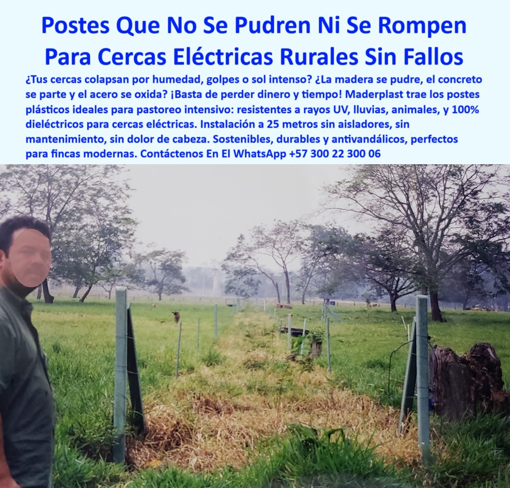 Cercados División De Potreros Pastoreo Intensivo Poste A 25 Metros Maderplast 0 cierre para potreros ecológico postes plásticos para cerramiento rural postes para terrenos húmedos Sistema soluciones para rotación potreros cerca firme para ganado intensivo, - postes técnicos para agricultura moderna, - cerca eléctrica sin pintura ni óxido, - poste sin mantenimiento para fincas, - postes para pasto regenerativo intensivo, - solución ecológica para dividir potreros sin concreto, - poste-ecológico-resistente, - ¿Qué poste aguanta más de 20 años sin pudrirse?, - poste sin soldadura ni concreto, - sistema rotacional con poste plástico, - La foto muestra una imagen real de una finca ganadera con terreno húmedo, donde se observa una cerca eléctrica rural hecha con postes plásticos Maderplast. Los postes están instalados a 25 metros de distancia, sin aisladores, perfectamente alineados y firmes a pesar del paso de los años y el ambiente húmedo. Estos postes reciclados no se oxidan, no se rompen, no requieren pintura y se mantienen sin fallas en zonas críticas. Con su propiedad dieléctrica natural, eliminan la necesidad de aisladores eléctricos, permitiendo cercas funcionales, limpias y económicas. Esta instalación representa una solución práctica para ganaderos que buscan dividir potreros, rotar pasturas y aumentar la eficiencia del pastoreo intensivo. La resistencia comprobada al sol, a la lluvia y a la presión del ganado los hace ideales para cualquier condición climática rural. Maderplast ofrece con estos postes una solución definitiva para los dolores de cabeza del campo: sin madera, sin concreto y sin mantenimiento. La imagen es testimonio de que con Maderplast se invierte una vez, y se disfruta para siempre. Tecnología sostenible que se ve, se vive y se monetiza., - Línea de postes rectos ideal para ganado en finca, - estructura de pastoreo intensivo con poste reciclado, - postes-zonas-húmedas, - cerramiento rural con poste reciclado, - cercas-para-ganado, - Estructura ganadera eficiente con postes reciclados, - ¿Cómo dividir potreros con postes sin aisladores?, - división de praderas con postes técnicos, - postes duraderos para finca moderna, - cercas para ganado sin aisladores, - postes reciclados resistentes a impacto, - tecnología de poste anticorrosión, - Poste_Plástico_División_Potreros_Pastoreo_Sin_Aisladores_Maderplast_0.jpg, - mejor opción de cerca rural sin aisladores dieléctrica, - cerca ecológica ganadera sin fallos, - sistema-rotacional-eficiente, - postes resistentes a humedad para ganadería extensiva, - postes plásticos con prueba de resistencia real, - cerramiento-sin-aisladores, - solución-sin-mantenimiento, - Cerca robusta entre potreros de pasto intensivo, - cerca-eléctrica-rural, - Postes que no se parten ni se oxidan por clima extremo, - poste plástico dieléctrico para pastoreo, - cercado ecológico sin mantenimiento, - ¿Qué poste es mejor para terrenos húmedos?, - poste plástico para potreros con humedad, - Postes sin concreto visibles entre árboles rurales, - División técnica con postes espaciados 25 metros, - Cerramiento largo con alambre y sin aisladores visibles, - ¿Cuál es la mejor cerca para ganado sin mantenimiento?, - postes para zonas lluviosas y salinas, - Postes verdes firmes alineados sin señal de deterioro, - poste-reciclado-durable, - postes para clima tropical y lluvia, - poste para división de potreros, - división-potreros-intensivo, - Instalación de postes sobre terreno plano con humedad, - Sistema de pastoreo con cerca ecológica y funcional, - ¿Dónde comprar postes plásticos resistentes para finca?, - cercas ganaderas fáciles de instalar, - postes resistentes a rayos UV y lluvia, - instalación económica de cercas rurales, - instalación de postes a 25 metros, - cerca eléctrica rural sin aisladores, - poste-plástico-potreros 0 Cercados División De Potreros Pastoreo Intensivo Poste A 25 Metros Maderplast 0 cierre para potreros ecológico, - postes-plásticos-para-cerramiento-rural, - postes-para-terrenos-húmedos  - Sistema soluciones-para-rotación-potreros,