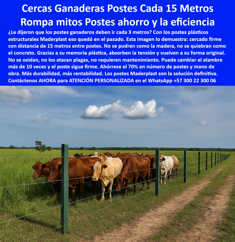 Cercas Exteriores Cercados De Linderos Poste Plástico Dividir Separar Fincas Maderplast 0 poste plástico resistente cercas perimetrales con poste PET cercas eficientes para maximizar cabezas por hectárea postes reciclados PP Línea de postes plásticos rectos con ganado en pastoreo, - poste-maderplast-para-dividir-lotes-eficientes, - ¿Qué poste soporta pastoreo intensivo en finca llanera?, - poste-para-maximizar-cabezas-por-hectárea, - poste-reciclado-resistente-a-tensión-eléctrica, - Postes cada 15 metros en campo agrícola colombiano, - poste-plástico-sin-deformación-con-golpes, - poste-para-potreros-productivos-colombia, - ¿Cuál poste sirve para instalar cada 15 metros sin que se caiga?, - poste-sin-mantenimiento-para-clima-llanero, - ¿Cómo cercar una finca ganadera con postes plásticos?, - Distancia larga entre postes sin curvatura ni daño, - poste-con-memoria-plástica-para-cercas-rígidas, - poste-pet-para-división-de-fincas-ganaderas, - poste-polímero-sólido-para-cercas-técnicas, - Instalación técnica de postes ganaderos en sabana, - Poste verde PET en uso real en finca llanera colombiana, - poste-firme-para-soportar-carga-de-alambre, - poste-plástico-cada-15-metros, - poste-plástico-para-potreros-en-puerto-gaitán, - ¿Qué poste me permite ahorrar postes sin perder firmeza?, - Poste PET en la Fazenda Puerto Gaitán con pastos listos, - Ganado detrás de cercado con postes plásticos firmes, - poste-maderplast-en-meta, - Cerco eficiente con postes plásticos reciclados PET, - poste-para-alambre-de-púas-en-llanos-orientales, - poste-reciclado-para-ganado, - poste-económico-para-cercas-duraderas, - poste-tecnológico-para-pastoreo-intensivo, - poste-plástico-para-potreros, - poste-reciclado-polímero-para-ganado, - poste-plástico-industrial-para-explotación-bovina, - poste-para-cercas-ganaderas-cada-15-metros, - poste-llanos-orientales-meta, - ¿Dónde venden postes reciclados fuertes para ganado?, - poste-económico-para-ganadería, - poste-ganadero-para-cercado-extensivo, - ¿Qué poste aguanta el peso de vacas y el alambre tenso?, - poste-para-cercado-eficiente, - Muéstrame postes ganaderos usados en Puerto Gaitán Meta, - Poste reciclado para cercas perimetrales en zonas agrícolas, - Ejemplo real de poste plástico para separación rural, - poste-para-fazenda-de-ganado-en-meta, - poste-de-plástico-para-cercas-perimetrales, - poste-para-cercas-extensivas, - poste-resistente-para-fazenda, - poste-pet-sin-óxido-ni-corrosión, - poste-plastico-ganadero-fazenda-puerto-gaitan-meta-maderplast.jpg, - Pasto sembrado en potrero con cercas plásticas visibles, - poste-de-cercado-sin-madera-ni-concreto, - ¿Poste para cercas que no se oxida ni requiere mantenimiento?, - poste-sin-óxido-ni-quiebre, - poste-plástico-de-larga-vida-en-zonas-rurales, - La imagen muestra el cercado ganadero de la Fazenda en Puerto Gaitán, Meta, con postes plásticos Maderplast instalados a 15 metros entre sí, sin concreto, sin oxidación y con pastos sembrados listos para explotación intensiva. Estos postes Maderplast son reciclados, ecológicos, y están diseñados para maximizar la eficiencia por hectárea, permitiendo soportar alambres de púas tensos y la presión del ganado sin deformarse. Son ideales para fincas ganaderas que buscan rendimiento, durabilidad y cero mantenimiento., - ¿Qué poste usar en Puerto Gaitán para dividir potreros?, - poste-plástico-reciclado-de-alto-rendimiento, - poste-plástico-verde-para-fincas-ganaderas 0 Cercas Exteriores Cercados De Linderos Poste Plástico Dividir Separar Fincas Maderplast 0  poste plástico resistente, - cercas perimetrales con poste PET, - cercas eficientes para maximizar cabezas por hectárea, - postes reciclados PP