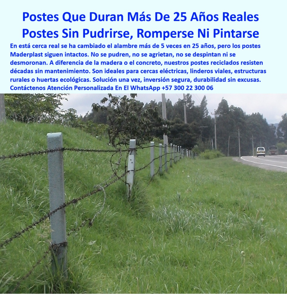 Cercas Perimetrales Postes De Linderos Medianeros Poste Límites Viales Maderplast 0 Cerca eléctrica con postes sólidos y durables estructura para huerta ecológica instalación paso a paso de postes sostenibles poste reciclado Poste Maderplast para linderos perimetrales, - #poste-sin-mantenimiento, - Poste plástico sin concreto ni madera, - #poste-plástico-resistente, - Poste estructural sin pintura, - Línea de cercado en terreno húmedo con postes plásticos, - Poste ecológico duradero sin pintura para cerca eléctrica, - Postes reciclados para linderos viales, - Poste reciclado alta durabilidad, - Postes firmes alineados sobre loma verde sin concreto, - Poste duradero para huertas ecológicas, - Postes económicos de larga duración, - Poste de plástico para división de terrenos, - ¿Qué postes duran más de 25 años sin mantenimiento?, - #poste-de-polietileno-reforzado, - Poste reciclado resistente a plagas y rayos UV para finca, - #poste-reciclado-Maderplast, - #poste-para-huerta-ecológica, - Poste recto en terreno inclinado sin soporte adicional, - Poste plástico que aguanta más de 20 años sin mantenimiento, - Postes que no se oxidan ni se parten, - Linderos viales con postes reciclados color gris claro, - ¿Cuál es el poste más resistente para cercas eléctricas?, - #poste-para-cerca-eléctrica, - La imagen muestra una cerca real instalada hace más de 25 años en la vía Cajicá–Zipaquirá, Cundinamarca, con postes plásticos Maderplast que aún siguen firmes y sin mantenimiento. Estos postes reciclados Maderplast no se oxidan, no requieren pintura y resisten el paso del tiempo, siendo la solución definitiva para cercas eléctricas, linderos rurales o estructuras viales. Ideales para quienes buscan una inversión a largo plazo con sostenibilidad, eficiencia y seguridad comprobada., - División de terrenos con postes sin pintura ni daño, - Alambre de púas con postes rectos sin óxido visibles, - #poste-vial-durable, - Cerca antigua con postes como nuevos tras 25 años, - ¿Dónde consigo postes reciclados para linderos rurales?, - Postes plásticos para zonas de lluvia, - ¿Qué poste sirve para terrenos húmedos o inclinados?, - Postes de polietileno reforzado para cercas, - Postes para división predios rurales, - Postes resistentes para vía rural, - Poste plástico instalado sobre pasto junto a carretera rural, - Cercado eléctrico con postes firmes, - Cercado firme con postes plásticos en vía principal, - Postes que no requieren aisladores, - Postes firmes sin necesidad de reemplazo, - #poste-largo-plazo-inversión, - #poste-sin-astillas-ni-corrosión, - Poste sólido para suelos inclinados, - Poste alternativo a madera o concreto para linderos, - Poste reforzado para uso agrícola, - Postes de seguridad vial reciclados, - ¿Qué poste no se pudre ni se rompe?, - Poste ideal para huertas ecológicas, - Poste_Plástico_Linderos_Viales_25_Años_Sin_Mantenimiento_Maderplast_Cajicá.jpg, - #poste-sin-pintura, - Postes para finca sin mantenimiento, - Poste con tensión de alambre sin deformación estructural, - Postes para ganadería y cultivos, - Poste resistente para zonas húmedas, - Postes sin astillas ni corrosión, - Poste plástico sin mantenimiento para cerca eléctrica, - ¿Qué tipo de poste usar en terrenos con humedad permanente? 0 Cercas Perimetrales Postes De Linderos Medianeros Poste Límites Viales Maderplast 0 Cerca  eléctrica con postes sólidos y durables, - estructura para huerta ecológica, - instalación paso a paso de postes sostenibles, poste reciclado